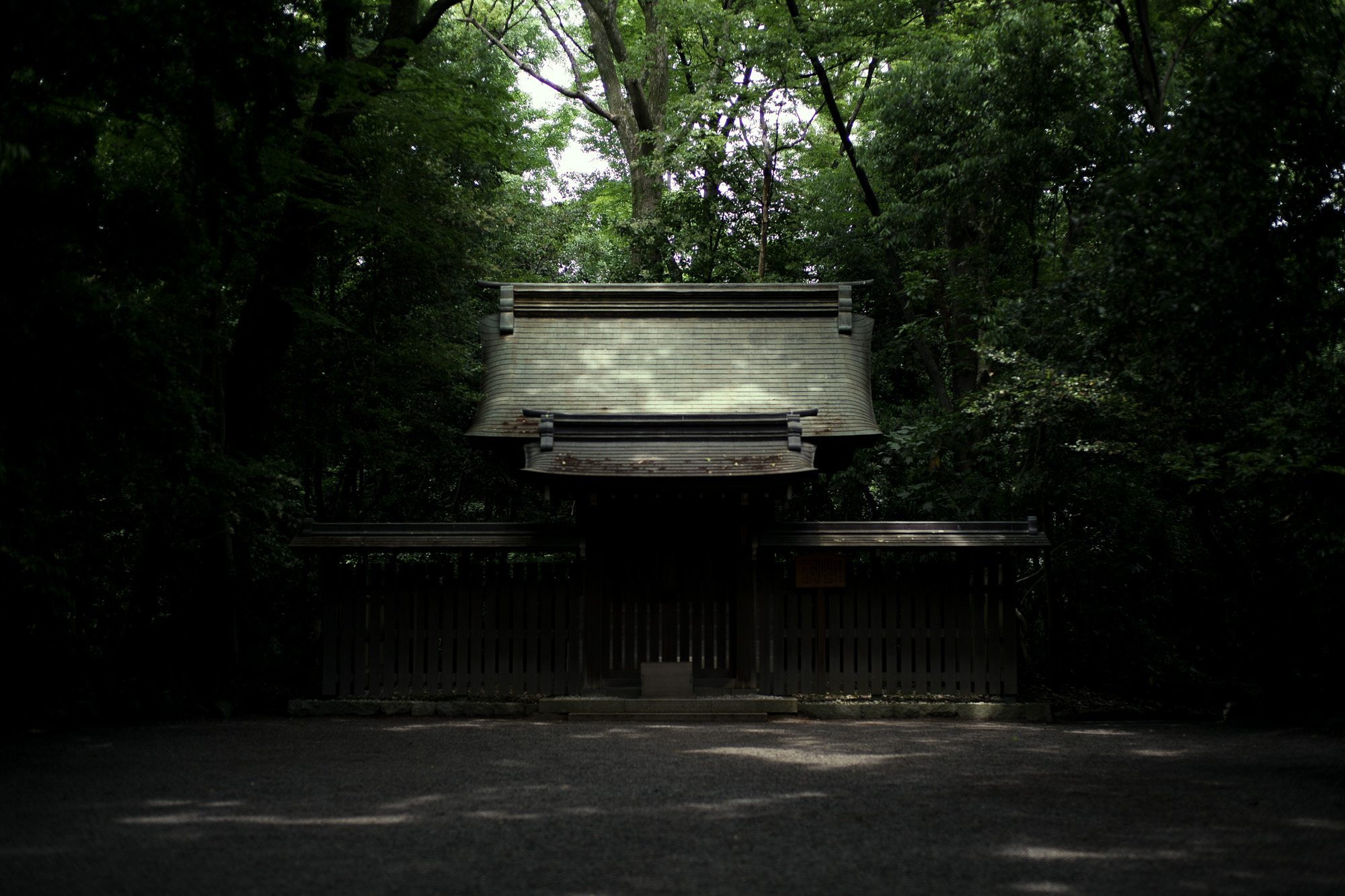 ATSUTA JINGU ///【LEICA M10-P ASC 100 Edition + SUMMILUX-M F1.4/50mm ASPH】 2020年6月03日 水曜日 LEICA M10-P ASC 100 Edition ライカ M10 P ライカ 限定モデル ズミルックス 標準レンズ ELMAR35 1938年製 エルマー ビンテージレンズ 愛知　名古屋 altoediritto アルトエデリット LEICA M10-P “ASC 100 Edition” 映画製作者のためのM型カメラライカは、全米撮影監督協会（American Society of Cinematographers、ASC）の設立100周年を記念し、映画の世界にふさわしい特別モデル「ライカM10-P “ASC 100 Edition”」を発表いたしました。     映画芸術を推進するために1919年に設立された全米撮影監督協会は、この分野では世界で最も長い歴史を持ち、時代を代表する撮影監督たちが会員となってきました。ハリウッドに本部を置く同協会は、ライカと同じく100年以上にわたり、あらゆる世界の文化人に影響を与え、それを形作ってきました。同協会が2019年2月に33回目を数える名誉あるASCアワードを表彰したことに合わせ、映画製作者のための特別モデル「ライカM10-P “ASC 100 Edition」がお披露目されました。無類の写真好きだったオスカー・バルナックは、重量のあるスチルカメラの扱いにくさを軽減する必要性を感じていました。そこで、当時の映画製作者が主に使用していた35mm映画用フィルムを使用し、映画の2コマ分を1画面として使う24×36mmのフィルムサイズを採用したスチルカメラを製作しました。これについて、彼は自身のメモに「Mikrokinoeinrichtung fertig für Aufnahmen」（映画の撮影に対応したマイクロシネ装置）と書き記しています。この発想から1914年に「ウル・ライカ」が生まれることになり、現代に続く35mm判の基礎となりました。これが「ウル・ライカ」の誕生にまつわる1つのストーリーですが、実はその裏にもう1つのストーリーがあります。オスカー・バルナックは当時、映画用フィルムの露出をテストできる装置を求めていました。20世紀初頭ごろは、撮影する前にシーンの視覚的および技術的特性をチェックするのは、現代以上に大変な作業でした。当時の映画製作者は、大型で重いシネカメラで貴重な35mmフィルムを回し続けて撮影しながら、適正露出を調べなくてはならなかったのです。オスカー・バルナックはこれに対し、自身が開発した画期的な「ウル・ライカ」のおかげで、フィルムのわずか1コマを露出させるだけでこれを確認できるようにしました。さらに、彼はこの技術に磨きをかけ、露出過度および露出不足のフィルムを使用して、理想的な露出値の近似値を得ることに成功しました。バルナックが生み出した35mm判スチルカメラ第1号機によってフォトグラフィーの世界に新時代が到来したことで、ライカの名は映画製作と強く結びつくことになりました。そしてこの度、1世紀以上前に始まったストーリーに新たなエピソードが加わりました。それが、バルナックの独創的な発想を現代に色濃く伝える特別モデル「ライカM10-P “ASC 100 Edition"」です。この特別モデルは、市販されているカメラの中で、写真に映画の質感を再現することができる唯一のカメラです。このモデルで初めて、シーンの特性、主観的な「感じ方」やフレーミングなどを確実かつ容易に解釈できるようになりました。シネルックの特別な仕様の「ライカM10-P」とレンズ「ライカ ズミクロンM f2.0/35mm ASPH.」を組み合わせたこの特別モデルは、卓越した視覚体験を提供したいと考える映画監督や映画製作者の大きな力となる、まさにプロ向けのアイテムと言えます。2つのシネルックモデルは、ライカの画質を担当するスペシャリストと世界的な影響力を持つ映画製作者やASCのメンバーが協力して開発しました。「ASC Cine Classic」モードでは35mm映画用フィルムの質感を、「ASC Contemporary」モードでは現代映画の最先端のデジタル的な質感を表現することができます。また、「ライカM10-P “ASC 100 Edition”」がプロフェッショナルな映画製作者にとって完璧なアイテムとなるよう、映画撮影に用いられるさまざまなアスペクト比をユーザーが自由に選択できるようになっており、その選択を有効にすると、選択したアスペクト比がブライトフレームとして表示されます。この特別限定モデルには、電子ビューファインダー「ビゾフレックス」と「ライカM-PLマウント」も含まれています。シネルックと選択可能なアスペクト比だけでなく、さらにビューファーンダーを組み合わせると、デジタルシーンファインダーとして活用できます。また、「ライカM-PLマウント」を装着すると、市販されているPLマウント系のほぼすべてのシネレンズに対応できるようになります。さらに「ライカM10-P “ASC 100 Edition”」では、撮影を開始する前に、映画監督や映画製作者が希望のレンズでシーンをチェックすることができます。そこにカメラとアプリ「Leica FOTOS」を組み合わせれば、ロケーション探しもより簡単に行えるようになり、その内容を撮影プロジェクトの関係者全員とすぐに共有して話し合うことも可能です。オスカー・バルナックのビジョンの近代的な解釈は、「ライカM10-P “ASC 100 Edition”」ならではのユニークな機能に加えて、カメラのデザインにも反映されています。本質を徹底的に追求して、無駄をそぎ落としたデザインを採用し、ブラッククローム仕上げの表面に刻み込まれている文字もすべてブラックとなっています。また、「ライカSL」を思い起こさせるレザー外装により、外観の機能的な印象がさらに強められています。セットの特別レンズ「ライカ ズミクロンM f2.0/35mm ASPH.」の設計はカメラとは対照的に、「ウル・ライカ」の特徴が反映されています。ゴールドアルマイト仕上げが画期的な「ウル・ライカ」の真鍮部を想起させるとともに、スタイリッシュなゴールドがモダンな印象を与えています。さらに、一定の照明条件下では消えたように見える、トップカバーに配されたクラシックなASCのロゴが「ライカM10-P “ASC 100 Edition”」の外観を引き締めています。