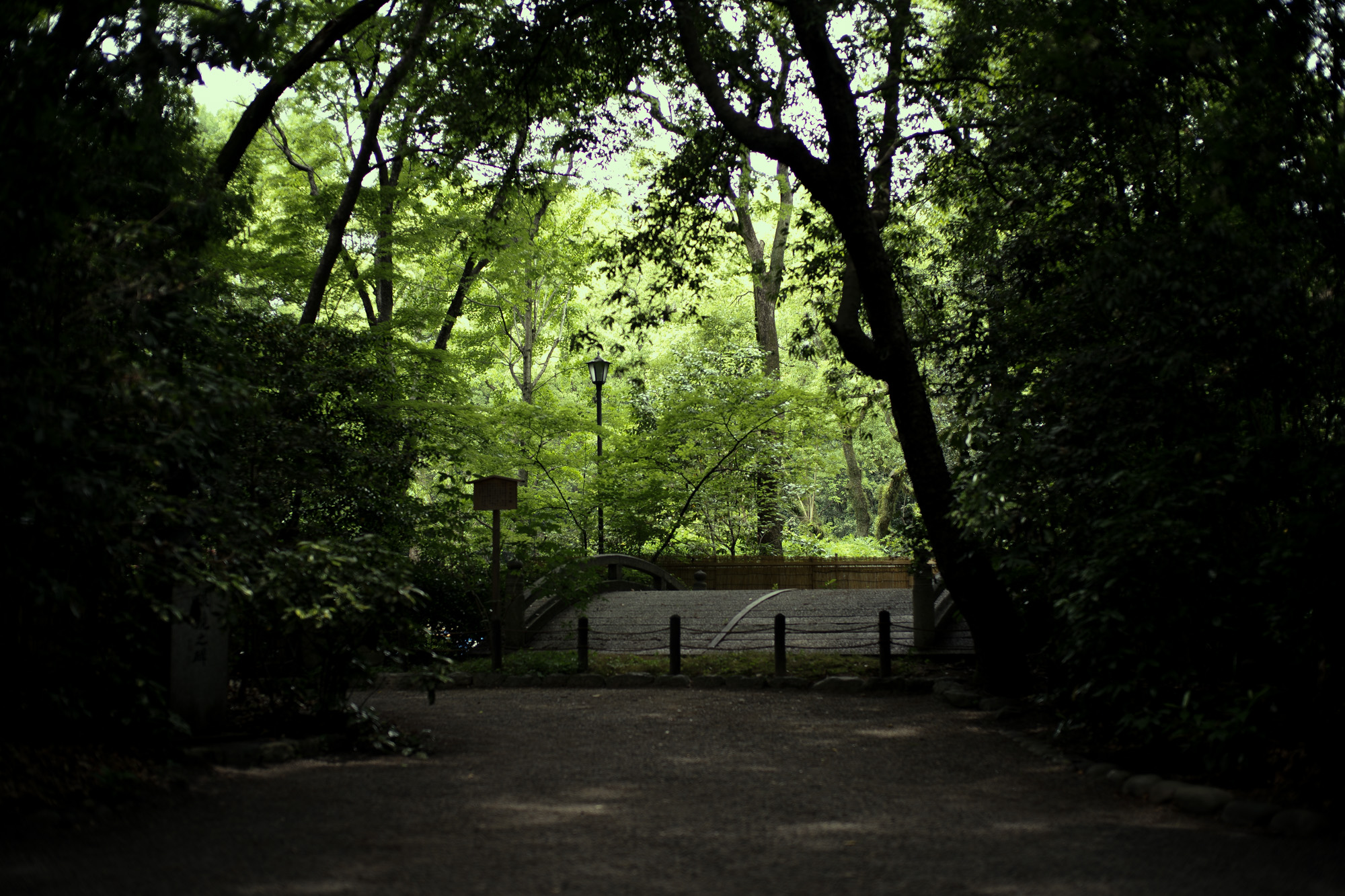 ATSUTA JINGU ///【LEICA M10-P ASC 100 Edition + SUMMILUX-M F1.4/50mm ASPH】 2020年6月03日 水曜日 LEICA M10-P ASC 100 Edition ライカ M10 P ライカ 限定モデル ズミルックス 標準レンズ ELMAR35 1938年製 エルマー ビンテージレンズ 愛知　名古屋 altoediritto アルトエデリット LEICA M10-P “ASC 100 Edition” 映画製作者のためのM型カメラライカは、全米撮影監督協会（American Society of Cinematographers、ASC）の設立100周年を記念し、映画の世界にふさわしい特別モデル「ライカM10-P “ASC 100 Edition”」を発表いたしました。     映画芸術を推進するために1919年に設立された全米撮影監督協会は、この分野では世界で最も長い歴史を持ち、時代を代表する撮影監督たちが会員となってきました。ハリウッドに本部を置く同協会は、ライカと同じく100年以上にわたり、あらゆる世界の文化人に影響を与え、それを形作ってきました。同協会が2019年2月に33回目を数える名誉あるASCアワードを表彰したことに合わせ、映画製作者のための特別モデル「ライカM10-P “ASC 100 Edition」がお披露目されました。無類の写真好きだったオスカー・バルナックは、重量のあるスチルカメラの扱いにくさを軽減する必要性を感じていました。そこで、当時の映画製作者が主に使用していた35mm映画用フィルムを使用し、映画の2コマ分を1画面として使う24×36mmのフィルムサイズを採用したスチルカメラを製作しました。これについて、彼は自身のメモに「Mikrokinoeinrichtung fertig für Aufnahmen」（映画の撮影に対応したマイクロシネ装置）と書き記しています。この発想から1914年に「ウル・ライカ」が生まれることになり、現代に続く35mm判の基礎となりました。これが「ウル・ライカ」の誕生にまつわる1つのストーリーですが、実はその裏にもう1つのストーリーがあります。オスカー・バルナックは当時、映画用フィルムの露出をテストできる装置を求めていました。20世紀初頭ごろは、撮影する前にシーンの視覚的および技術的特性をチェックするのは、現代以上に大変な作業でした。当時の映画製作者は、大型で重いシネカメラで貴重な35mmフィルムを回し続けて撮影しながら、適正露出を調べなくてはならなかったのです。オスカー・バルナックはこれに対し、自身が開発した画期的な「ウル・ライカ」のおかげで、フィルムのわずか1コマを露出させるだけでこれを確認できるようにしました。さらに、彼はこの技術に磨きをかけ、露出過度および露出不足のフィルムを使用して、理想的な露出値の近似値を得ることに成功しました。バルナックが生み出した35mm判スチルカメラ第1号機によってフォトグラフィーの世界に新時代が到来したことで、ライカの名は映画製作と強く結びつくことになりました。そしてこの度、1世紀以上前に始まったストーリーに新たなエピソードが加わりました。それが、バルナックの独創的な発想を現代に色濃く伝える特別モデル「ライカM10-P “ASC 100 Edition"」です。この特別モデルは、市販されているカメラの中で、写真に映画の質感を再現することができる唯一のカメラです。このモデルで初めて、シーンの特性、主観的な「感じ方」やフレーミングなどを確実かつ容易に解釈できるようになりました。シネルックの特別な仕様の「ライカM10-P」とレンズ「ライカ ズミクロンM f2.0/35mm ASPH.」を組み合わせたこの特別モデルは、卓越した視覚体験を提供したいと考える映画監督や映画製作者の大きな力となる、まさにプロ向けのアイテムと言えます。2つのシネルックモデルは、ライカの画質を担当するスペシャリストと世界的な影響力を持つ映画製作者やASCのメンバーが協力して開発しました。「ASC Cine Classic」モードでは35mm映画用フィルムの質感を、「ASC Contemporary」モードでは現代映画の最先端のデジタル的な質感を表現することができます。また、「ライカM10-P “ASC 100 Edition”」がプロフェッショナルな映画製作者にとって完璧なアイテムとなるよう、映画撮影に用いられるさまざまなアスペクト比をユーザーが自由に選択できるようになっており、その選択を有効にすると、選択したアスペクト比がブライトフレームとして表示されます。この特別限定モデルには、電子ビューファインダー「ビゾフレックス」と「ライカM-PLマウント」も含まれています。シネルックと選択可能なアスペクト比だけでなく、さらにビューファーンダーを組み合わせると、デジタルシーンファインダーとして活用できます。また、「ライカM-PLマウント」を装着すると、市販されているPLマウント系のほぼすべてのシネレンズに対応できるようになります。さらに「ライカM10-P “ASC 100 Edition”」では、撮影を開始する前に、映画監督や映画製作者が希望のレンズでシーンをチェックすることができます。そこにカメラとアプリ「Leica FOTOS」を組み合わせれば、ロケーション探しもより簡単に行えるようになり、その内容を撮影プロジェクトの関係者全員とすぐに共有して話し合うことも可能です。オスカー・バルナックのビジョンの近代的な解釈は、「ライカM10-P “ASC 100 Edition”」ならではのユニークな機能に加えて、カメラのデザインにも反映されています。本質を徹底的に追求して、無駄をそぎ落としたデザインを採用し、ブラッククローム仕上げの表面に刻み込まれている文字もすべてブラックとなっています。また、「ライカSL」を思い起こさせるレザー外装により、外観の機能的な印象がさらに強められています。セットの特別レンズ「ライカ ズミクロンM f2.0/35mm ASPH.」の設計はカメラとは対照的に、「ウル・ライカ」の特徴が反映されています。ゴールドアルマイト仕上げが画期的な「ウル・ライカ」の真鍮部を想起させるとともに、スタイリッシュなゴールドがモダンな印象を与えています。さらに、一定の照明条件下では消えたように見える、トップカバーに配されたクラシックなASCのロゴが「ライカM10-P “ASC 100 Edition”」の外観を引き締めています。