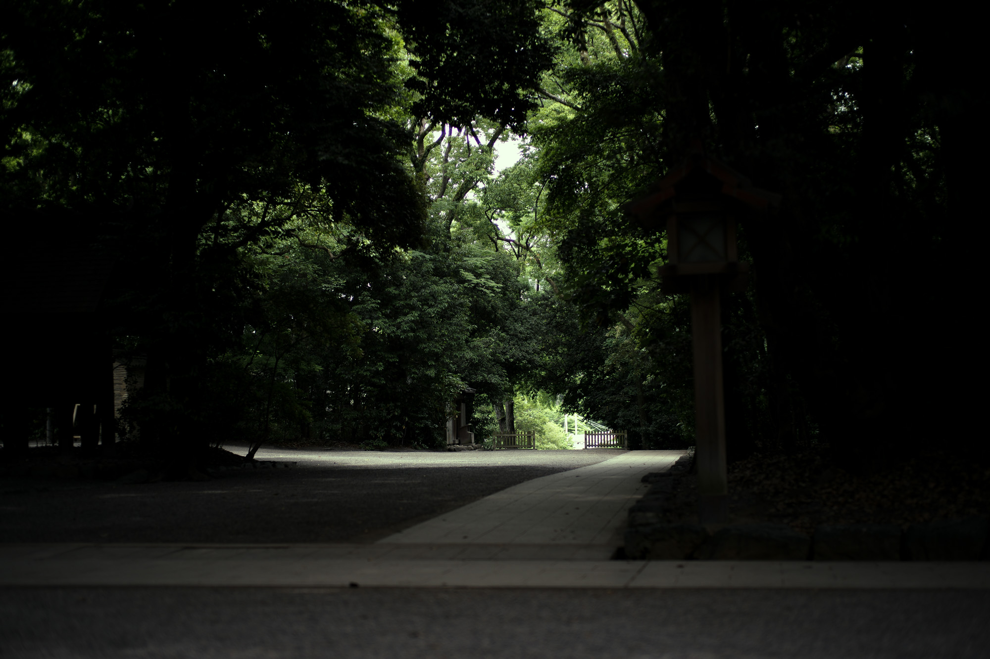 ATSUTA JINGU ///【LEICA M10-P ASC 100 Edition + SUMMILUX-M F1.4/50mm ASPH】 2020年6月03日 水曜日 LEICA M10-P ASC 100 Edition ライカ M10 P ライカ 限定モデル ズミルックス 標準レンズ ELMAR35 1938年製 エルマー ビンテージレンズ 愛知　名古屋 altoediritto アルトエデリット LEICA M10-P “ASC 100 Edition” 映画製作者のためのM型カメラライカは、全米撮影監督協会（American Society of Cinematographers、ASC）の設立100周年を記念し、映画の世界にふさわしい特別モデル「ライカM10-P “ASC 100 Edition”」を発表いたしました。     映画芸術を推進するために1919年に設立された全米撮影監督協会は、この分野では世界で最も長い歴史を持ち、時代を代表する撮影監督たちが会員となってきました。ハリウッドに本部を置く同協会は、ライカと同じく100年以上にわたり、あらゆる世界の文化人に影響を与え、それを形作ってきました。同協会が2019年2月に33回目を数える名誉あるASCアワードを表彰したことに合わせ、映画製作者のための特別モデル「ライカM10-P “ASC 100 Edition」がお披露目されました。無類の写真好きだったオスカー・バルナックは、重量のあるスチルカメラの扱いにくさを軽減する必要性を感じていました。そこで、当時の映画製作者が主に使用していた35mm映画用フィルムを使用し、映画の2コマ分を1画面として使う24×36mmのフィルムサイズを採用したスチルカメラを製作しました。これについて、彼は自身のメモに「Mikrokinoeinrichtung fertig für Aufnahmen」（映画の撮影に対応したマイクロシネ装置）と書き記しています。この発想から1914年に「ウル・ライカ」が生まれることになり、現代に続く35mm判の基礎となりました。これが「ウル・ライカ」の誕生にまつわる1つのストーリーですが、実はその裏にもう1つのストーリーがあります。オスカー・バルナックは当時、映画用フィルムの露出をテストできる装置を求めていました。20世紀初頭ごろは、撮影する前にシーンの視覚的および技術的特性をチェックするのは、現代以上に大変な作業でした。当時の映画製作者は、大型で重いシネカメラで貴重な35mmフィルムを回し続けて撮影しながら、適正露出を調べなくてはならなかったのです。オスカー・バルナックはこれに対し、自身が開発した画期的な「ウル・ライカ」のおかげで、フィルムのわずか1コマを露出させるだけでこれを確認できるようにしました。さらに、彼はこの技術に磨きをかけ、露出過度および露出不足のフィルムを使用して、理想的な露出値の近似値を得ることに成功しました。バルナックが生み出した35mm判スチルカメラ第1号機によってフォトグラフィーの世界に新時代が到来したことで、ライカの名は映画製作と強く結びつくことになりました。そしてこの度、1世紀以上前に始まったストーリーに新たなエピソードが加わりました。それが、バルナックの独創的な発想を現代に色濃く伝える特別モデル「ライカM10-P “ASC 100 Edition"」です。この特別モデルは、市販されているカメラの中で、写真に映画の質感を再現することができる唯一のカメラです。このモデルで初めて、シーンの特性、主観的な「感じ方」やフレーミングなどを確実かつ容易に解釈できるようになりました。シネルックの特別な仕様の「ライカM10-P」とレンズ「ライカ ズミクロンM f2.0/35mm ASPH.」を組み合わせたこの特別モデルは、卓越した視覚体験を提供したいと考える映画監督や映画製作者の大きな力となる、まさにプロ向けのアイテムと言えます。2つのシネルックモデルは、ライカの画質を担当するスペシャリストと世界的な影響力を持つ映画製作者やASCのメンバーが協力して開発しました。「ASC Cine Classic」モードでは35mm映画用フィルムの質感を、「ASC Contemporary」モードでは現代映画の最先端のデジタル的な質感を表現することができます。また、「ライカM10-P “ASC 100 Edition”」がプロフェッショナルな映画製作者にとって完璧なアイテムとなるよう、映画撮影に用いられるさまざまなアスペクト比をユーザーが自由に選択できるようになっており、その選択を有効にすると、選択したアスペクト比がブライトフレームとして表示されます。この特別限定モデルには、電子ビューファインダー「ビゾフレックス」と「ライカM-PLマウント」も含まれています。シネルックと選択可能なアスペクト比だけでなく、さらにビューファーンダーを組み合わせると、デジタルシーンファインダーとして活用できます。また、「ライカM-PLマウント」を装着すると、市販されているPLマウント系のほぼすべてのシネレンズに対応できるようになります。さらに「ライカM10-P “ASC 100 Edition”」では、撮影を開始する前に、映画監督や映画製作者が希望のレンズでシーンをチェックすることができます。そこにカメラとアプリ「Leica FOTOS」を組み合わせれば、ロケーション探しもより簡単に行えるようになり、その内容を撮影プロジェクトの関係者全員とすぐに共有して話し合うことも可能です。オスカー・バルナックのビジョンの近代的な解釈は、「ライカM10-P “ASC 100 Edition”」ならではのユニークな機能に加えて、カメラのデザインにも反映されています。本質を徹底的に追求して、無駄をそぎ落としたデザインを採用し、ブラッククローム仕上げの表面に刻み込まれている文字もすべてブラックとなっています。また、「ライカSL」を思い起こさせるレザー外装により、外観の機能的な印象がさらに強められています。セットの特別レンズ「ライカ ズミクロンM f2.0/35mm ASPH.」の設計はカメラとは対照的に、「ウル・ライカ」の特徴が反映されています。ゴールドアルマイト仕上げが画期的な「ウル・ライカ」の真鍮部を想起させるとともに、スタイリッシュなゴールドがモダンな印象を与えています。さらに、一定の照明条件下では消えたように見える、トップカバーに配されたクラシックなASCのロゴが「ライカM10-P “ASC 100 Edition”」の外観を引き締めています。