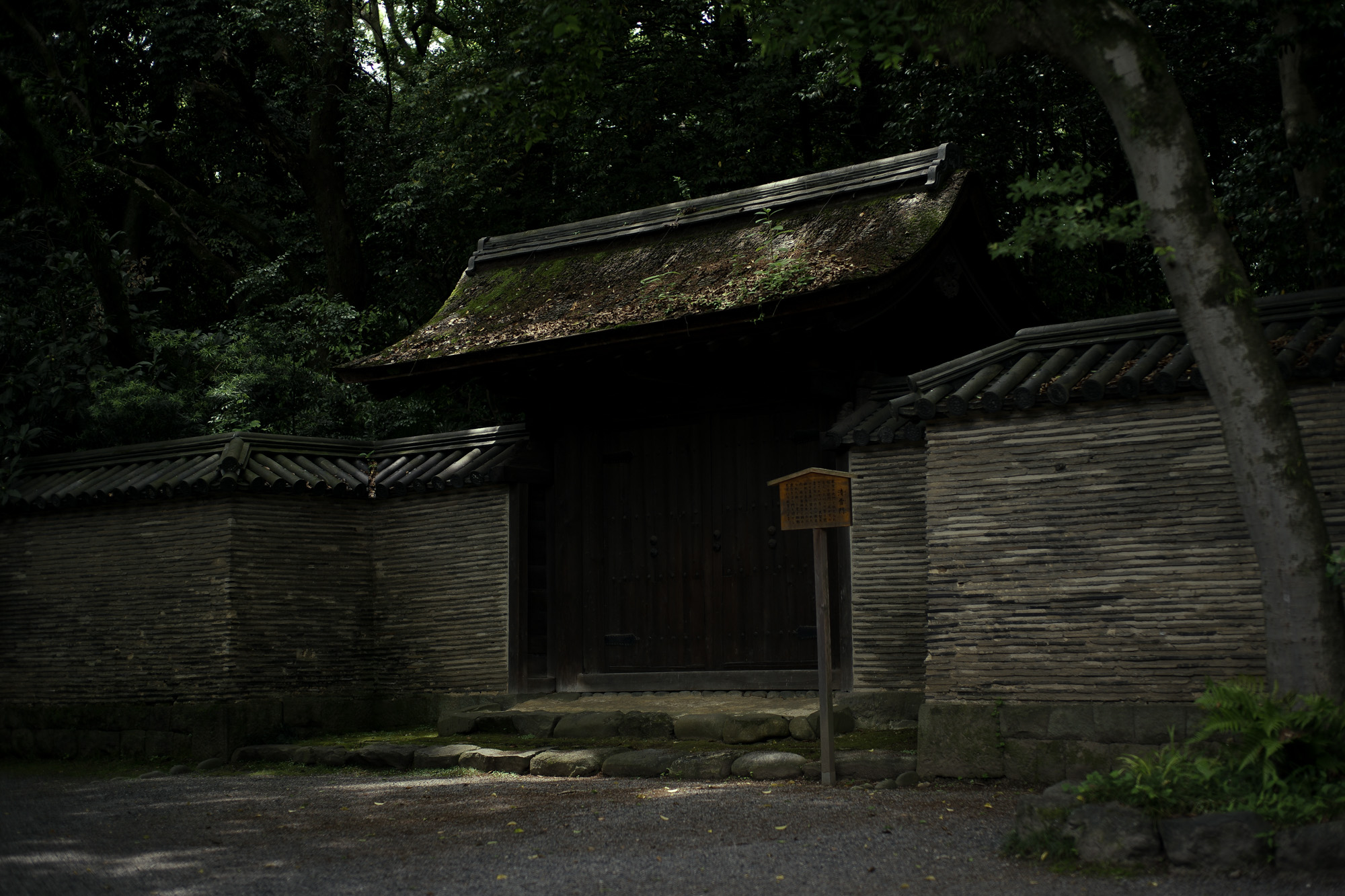 ATSUTA JINGU ///【LEICA M10-P ASC 100 Edition + SUMMILUX-M F1.4/50mm ASPH】 2020年6月03日 水曜日 LEICA M10-P ASC 100 Edition ライカ M10 P ライカ 限定モデル ズミルックス 標準レンズ ELMAR35 1938年製 エルマー ビンテージレンズ 愛知　名古屋 altoediritto アルトエデリット LEICA M10-P “ASC 100 Edition” 映画製作者のためのM型カメラライカは、全米撮影監督協会（American Society of Cinematographers、ASC）の設立100周年を記念し、映画の世界にふさわしい特別モデル「ライカM10-P “ASC 100 Edition”」を発表いたしました。     映画芸術を推進するために1919年に設立された全米撮影監督協会は、この分野では世界で最も長い歴史を持ち、時代を代表する撮影監督たちが会員となってきました。ハリウッドに本部を置く同協会は、ライカと同じく100年以上にわたり、あらゆる世界の文化人に影響を与え、それを形作ってきました。同協会が2019年2月に33回目を数える名誉あるASCアワードを表彰したことに合わせ、映画製作者のための特別モデル「ライカM10-P “ASC 100 Edition」がお披露目されました。無類の写真好きだったオスカー・バルナックは、重量のあるスチルカメラの扱いにくさを軽減する必要性を感じていました。そこで、当時の映画製作者が主に使用していた35mm映画用フィルムを使用し、映画の2コマ分を1画面として使う24×36mmのフィルムサイズを採用したスチルカメラを製作しました。これについて、彼は自身のメモに「Mikrokinoeinrichtung fertig für Aufnahmen」（映画の撮影に対応したマイクロシネ装置）と書き記しています。この発想から1914年に「ウル・ライカ」が生まれることになり、現代に続く35mm判の基礎となりました。これが「ウル・ライカ」の誕生にまつわる1つのストーリーですが、実はその裏にもう1つのストーリーがあります。オスカー・バルナックは当時、映画用フィルムの露出をテストできる装置を求めていました。20世紀初頭ごろは、撮影する前にシーンの視覚的および技術的特性をチェックするのは、現代以上に大変な作業でした。当時の映画製作者は、大型で重いシネカメラで貴重な35mmフィルムを回し続けて撮影しながら、適正露出を調べなくてはならなかったのです。オスカー・バルナックはこれに対し、自身が開発した画期的な「ウル・ライカ」のおかげで、フィルムのわずか1コマを露出させるだけでこれを確認できるようにしました。さらに、彼はこの技術に磨きをかけ、露出過度および露出不足のフィルムを使用して、理想的な露出値の近似値を得ることに成功しました。バルナックが生み出した35mm判スチルカメラ第1号機によってフォトグラフィーの世界に新時代が到来したことで、ライカの名は映画製作と強く結びつくことになりました。そしてこの度、1世紀以上前に始まったストーリーに新たなエピソードが加わりました。それが、バルナックの独創的な発想を現代に色濃く伝える特別モデル「ライカM10-P “ASC 100 Edition"」です。この特別モデルは、市販されているカメラの中で、写真に映画の質感を再現することができる唯一のカメラです。このモデルで初めて、シーンの特性、主観的な「感じ方」やフレーミングなどを確実かつ容易に解釈できるようになりました。シネルックの特別な仕様の「ライカM10-P」とレンズ「ライカ ズミクロンM f2.0/35mm ASPH.」を組み合わせたこの特別モデルは、卓越した視覚体験を提供したいと考える映画監督や映画製作者の大きな力となる、まさにプロ向けのアイテムと言えます。2つのシネルックモデルは、ライカの画質を担当するスペシャリストと世界的な影響力を持つ映画製作者やASCのメンバーが協力して開発しました。「ASC Cine Classic」モードでは35mm映画用フィルムの質感を、「ASC Contemporary」モードでは現代映画の最先端のデジタル的な質感を表現することができます。また、「ライカM10-P “ASC 100 Edition”」がプロフェッショナルな映画製作者にとって完璧なアイテムとなるよう、映画撮影に用いられるさまざまなアスペクト比をユーザーが自由に選択できるようになっており、その選択を有効にすると、選択したアスペクト比がブライトフレームとして表示されます。この特別限定モデルには、電子ビューファインダー「ビゾフレックス」と「ライカM-PLマウント」も含まれています。シネルックと選択可能なアスペクト比だけでなく、さらにビューファーンダーを組み合わせると、デジタルシーンファインダーとして活用できます。また、「ライカM-PLマウント」を装着すると、市販されているPLマウント系のほぼすべてのシネレンズに対応できるようになります。さらに「ライカM10-P “ASC 100 Edition”」では、撮影を開始する前に、映画監督や映画製作者が希望のレンズでシーンをチェックすることができます。そこにカメラとアプリ「Leica FOTOS」を組み合わせれば、ロケーション探しもより簡単に行えるようになり、その内容を撮影プロジェクトの関係者全員とすぐに共有して話し合うことも可能です。オスカー・バルナックのビジョンの近代的な解釈は、「ライカM10-P “ASC 100 Edition”」ならではのユニークな機能に加えて、カメラのデザインにも反映されています。本質を徹底的に追求して、無駄をそぎ落としたデザインを採用し、ブラッククローム仕上げの表面に刻み込まれている文字もすべてブラックとなっています。また、「ライカSL」を思い起こさせるレザー外装により、外観の機能的な印象がさらに強められています。セットの特別レンズ「ライカ ズミクロンM f2.0/35mm ASPH.」の設計はカメラとは対照的に、「ウル・ライカ」の特徴が反映されています。ゴールドアルマイト仕上げが画期的な「ウル・ライカ」の真鍮部を想起させるとともに、スタイリッシュなゴールドがモダンな印象を与えています。さらに、一定の照明条件下では消えたように見える、トップカバーに配されたクラシックなASCのロゴが「ライカM10-P “ASC 100 Edition”」の外観を引き締めています。