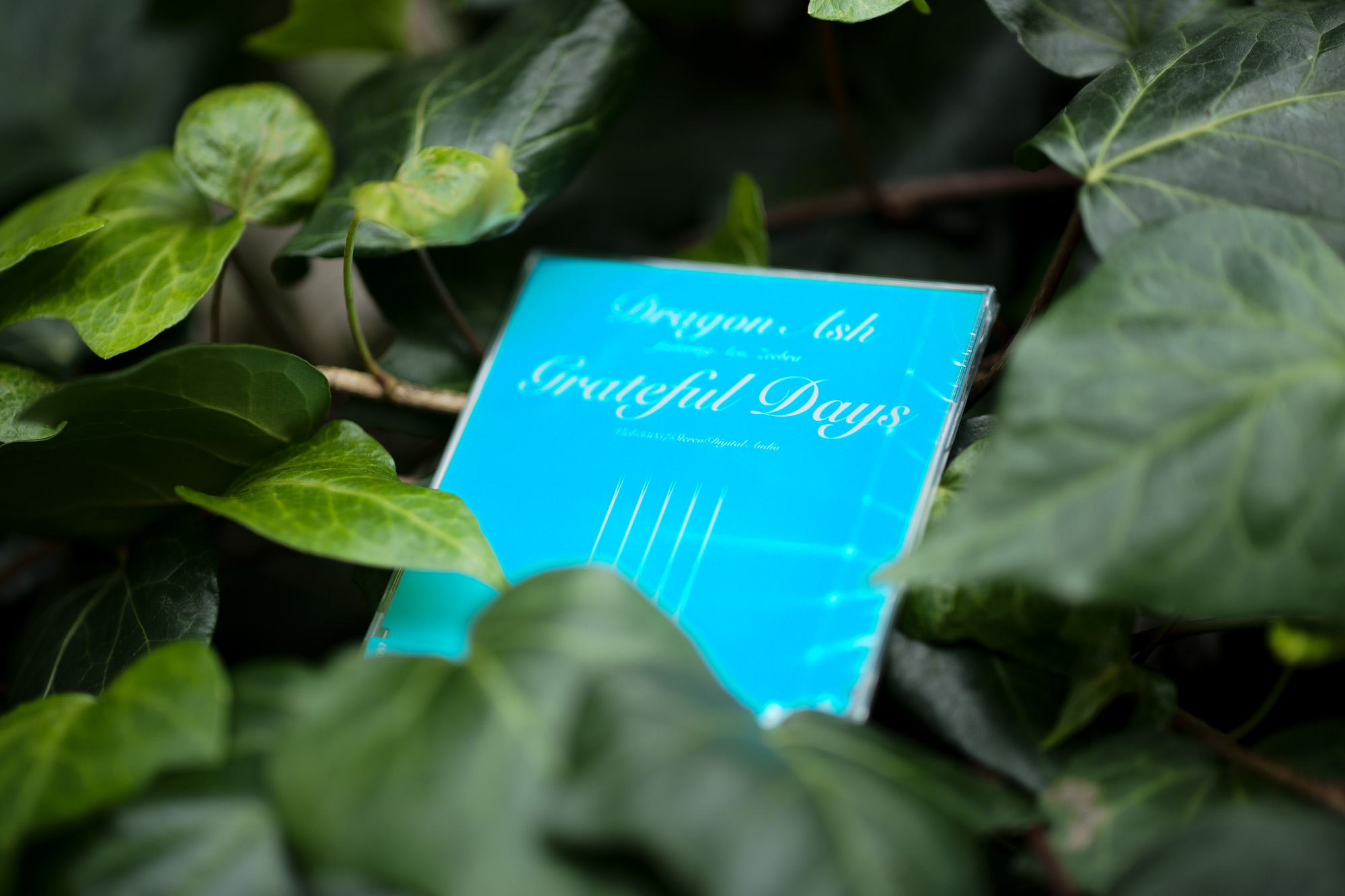 Grateful Days Alto e Diritto アルトエデリット 愛知 名古屋 Italy MOORER ムーレー / BELVEST ベルベスト / ISAIA イザイア / LUCA GRASSIA ルカグラシア / Alfredo Rifugio アルフレードリフージオ / LARDINI ラルディーニ / De Petrillo デ・ペトリロ / TAGLIATORE タリアトーレ / Sealup シーラップ / EMMETI エンメティ / CINQUANTA チンクアンタ / SILENCE サイレンス / MOLEC モレック / Finamore フィナモレ / ORIAN オリアン / AVINO Laboratorio Napoletano アヴィーノ / INCOTEX インコテックス / INCOTEX SLACKS インコテックススラックス / PT TORINO ピーティートリノ / BERWICH ベルウィッチ / VIGANO ヴィガーノ / RICHARD J.BROWN リチャードJブラウン / FEDELI フェデーリ / MANRICO CASHMERE マンリコカシミヤ / ZANONE ザノーネ / Cruciani クルチアーニ / GRAN SASSO グランサッソ / Settefili Cashmere セッテフィーリカシミア / Girelli Bruni ジレリブルーニ / ENZO BONAFE エンツォボナフェ / FERRANTE フェランテ / GHOUD ゴード / ACATE アカーテ / Cisei シセイ / STEFANO RICCI ステファノリッチ / ALPO アル France Georges de Patricia ジョルジュドパトリシア / SAINT LAURENTサンローラン / CELINE セリーヌ / AUBERCY オーベルシー / lucien pellat-finet ルシアンペラフィネ / NATIONAL STANDARD ナショナルスタンダー U.S.A. South Paradiso Leather サウスパラディソ / JACQUESMARIEMAGE ジャックマリーマージュ / MARC MARMEL マークマーメル / WHITE'S BOOTS ホワイツブーツ / JUTTA NEUMANN ユッタニューマン England GRENFELL グレンフェル / J&M DAVIDSON ジェイアンドエムディヴィッドソン / JAMES GROSE ジェームスグロース / JOHN SMEDLEY ジョンスメドレー / Johnstons ジョンストンズ Other FIXER フィクサー / cuervo bopoha クエルボ ヴァローナ / BACKLASH The Line バックラッシュ ザライン / RIVORA リヴォラ / C.QP / Order Suit オーダースーツ