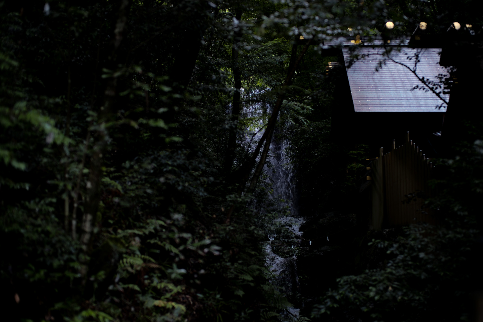 多度大社 三重県桑名市多度町多度 上げ馬 LEICA ライカ LEICA M10 ライカM10 SUMMILUX ズミルックス 50mm