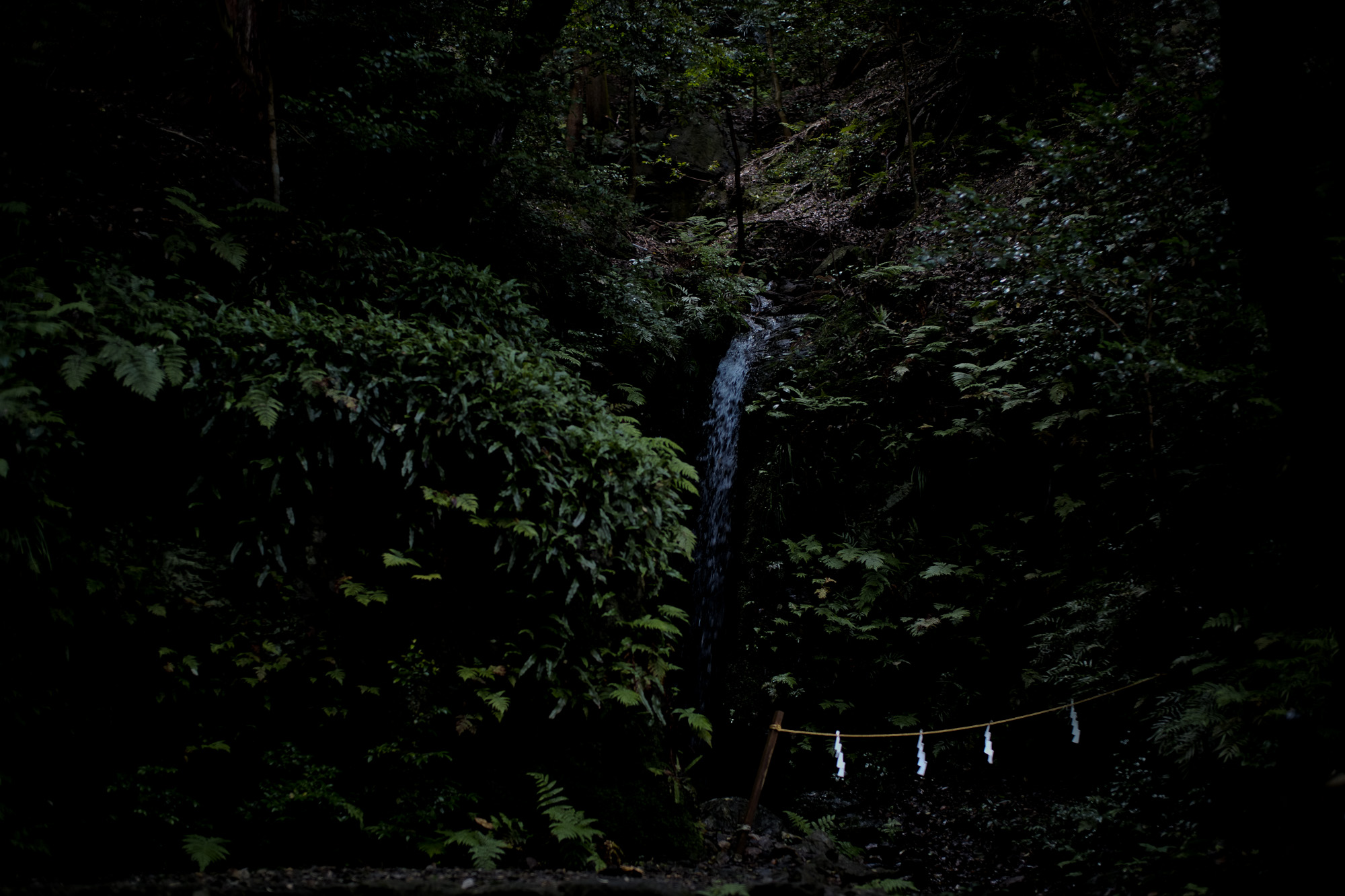 多度大社 三重県桑名市多度町多度 上げ馬 LEICA ライカ LEICA M10 ライカM10 SUMMILUX ズミルックス 50mm