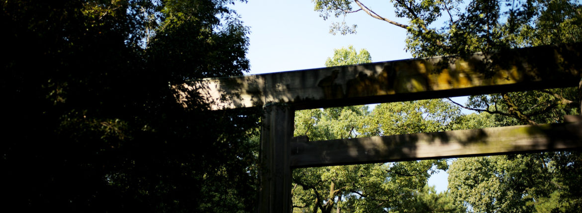 ATSUTA JINGU ///【LEICA M10-P ASC 100 Edition + SUMMILUX-M F1.4/50mm ASPH】 2020年10月21日 水曜日 きよめ餅 AUDEMARS PIGUET アーデマピゲ ロイヤルオーク LEICA M10-P ASC 100 Edition ライカ M10 P ライカ 限定モデル ズミルックス 標準レンズ ELMAR35 1938年製 エルマー ビンテージレンズ 愛知　名古屋 altoediritto アルトエデリット LEICA M10-P “ASC 100 Edition” 映画製作者のためのM型カメラライカは、全米撮影監督協会（American Society of Cinematographers、ASC）の設立100周年を記念し、映画の世界にふさわしい特別モデル「ライカM10-P “ASC 100 Edition”」を発表いたしました。 映画芸術を推進するために1919年に設立された全米撮影監督協会は、この分野では世界で最も長い歴史を持ち、時代を代表する撮影監督たちが会員となってきました。ハリウッドに本部を置く同協会は、ライカと同じく100年以上にわたり、あらゆる世界の文化人に影響を与え、それを形作ってきました。同協会が2019年2月に33回目を数える名誉あるASCアワードを表彰したことに合わせ、映画製作者のための特別モデル「ライカM10-P “ASC 100 Edition」がお披露目されました。無類の写真好きだったオスカー・バルナックは、重量のあるスチルカメラの扱いにくさを軽減する必要性を感じていました。そこで、当時の映画製作者が主に使用していた35mm映画用フィルムを使用し、映画の2コマ分を1画面として使う24×36mmのフィルムサイズを採用したスチルカメラを製作しました。これについて、彼は自身のメモに「Mikrokinoeinrichtung fertig für Aufnahmen」（映画の撮影に対応したマイクロシネ装置）と書き記しています。この発想から1914年に「ウル・ライカ」が生まれることになり、現代に続く35mm判の基礎となりました。これが「ウル・ライカ」の誕生にまつわる1つのストーリーですが、実はその裏にもう1つのストーリーがあります。オスカー・バルナックは当時、映画用フィルムの露出をテストできる装置を求めていました。20世紀初頭ごろは、撮影する前にシーンの視覚的および技術的特性をチェックするのは、現代以上に大変な作業でした。当時の映画製作者は、大型で重いシネカメラで貴重な35mmフィルムを回し続けて撮影しながら、適正露出を調べなくてはならなかったのです。オスカー・バルナックはこれに対し、自身が開発した画期的な「ウル・ライカ」のおかげで、フィルムのわずか1コマを露出させるだけでこれを確認できるようにしました。さらに、彼はこの技術に磨きをかけ、露出過度および露出不足のフィルムを使用して、理想的な露出値の近似値を得ることに成功しました。バルナックが生み出した35mm判スチルカメラ第1号機によってフォトグラフィーの世界に新時代が到来したことで、ライカの名は映画製作と強く結びつくことになりました。そしてこの度、1世紀以上前に始まったストーリーに新たなエピソードが加わりました。それが、バルナックの独創的な発想を現代に色濃く伝える特別モデル「ライカM10-P “ASC 100 Edition"」です。この特別モデルは、市販されているカメラの中で、写真に映画の質感を再現することができる唯一のカメラです。このモデルで初めて、シーンの特性、主観的な「感じ方」やフレーミングなどを確実かつ容易に解釈できるようになりました。シネルックの特別な仕様の「ライカM10-P」とレンズ「ライカ ズミクロンM f2.0/35mm ASPH.」を組み合わせたこの特別モデルは、卓越した視覚体験を提供したいと考える映画監督や映画製作者の大きな力となる、まさにプロ向けのアイテムと言えます。2つのシネルックモデルは、ライカの画質を担当するスペシャリストと世界的な影響力を持つ映画製作者やASCのメンバーが協力して開発しました。「ASC Cine Classic」モードでは35mm映画用フィルムの質感を、「ASC Contemporary」モードでは現代映画の最先端のデジタル的な質感を表現することができます。また、「ライカM10-P “ASC 100 Edition”」がプロフェッショナルな映画製作者にとって完璧なアイテムとなるよう、映画撮影に用いられるさまざまなアスペクト比をユーザーが自由に選択できるようになっており、その選択を有効にすると、選択したアスペクト比がブライトフレームとして表示されます。この特別限定モデルには、電子ビューファインダー「ビゾフレックス」と「ライカM-PLマウント」も含まれています。シネルックと選択可能なアスペクト比だけでなく、さらにビューファーンダーを組み合わせると、デジタルシーンファインダーとして活用できます。また、「ライカM-PLマウント」を装着すると、市販されているPLマウント系のほぼすべてのシネレンズに対応できるようになります。さらに「ライカM10-P “ASC 100 Edition”」では、撮影を開始する前に、映画監督や映画製作者が希望のレンズでシーンをチェックすることができます。そこにカメラとアプリ「Leica FOTOS」を組み合わせれば、ロケーション探しもより簡単に行えるようになり、その内容を撮影プロジェクトの関係者全員とすぐに共有して話し合うことも可能です。オスカー・バルナックのビジョンの近代的な解釈は、「ライカM10-P “ASC 100 Edition”」ならではのユニークな機能に加えて、カメラのデザインにも反映されています。本質を徹底的に追求して、無駄をそぎ落としたデザインを採用し、ブラッククローム仕上げの表面に刻み込まれている文字もすべてブラックとなっています。また、「ライカSL」を思い起こさせるレザー外装により、外観の機能的な印象がさらに強められています。セットの特別レンズ「ライカ ズミクロンM f2.0/35mm ASPH.」の設計はカメラとは対照的に、「ウル・ライカ」の特徴が反映されています。ゴールドアルマイト仕上げが画期的な「ウル・ライカ」の真鍮部を想起させるとともに、スタイリッシュなゴールドがモダンな印象を与えています。さらに、一定の照明条件下では消えたように見える、トップカバーに配されたクラシックなASCのロゴが「ライカM10-P “ASC 100 Edition”」の外観を引き締めています。