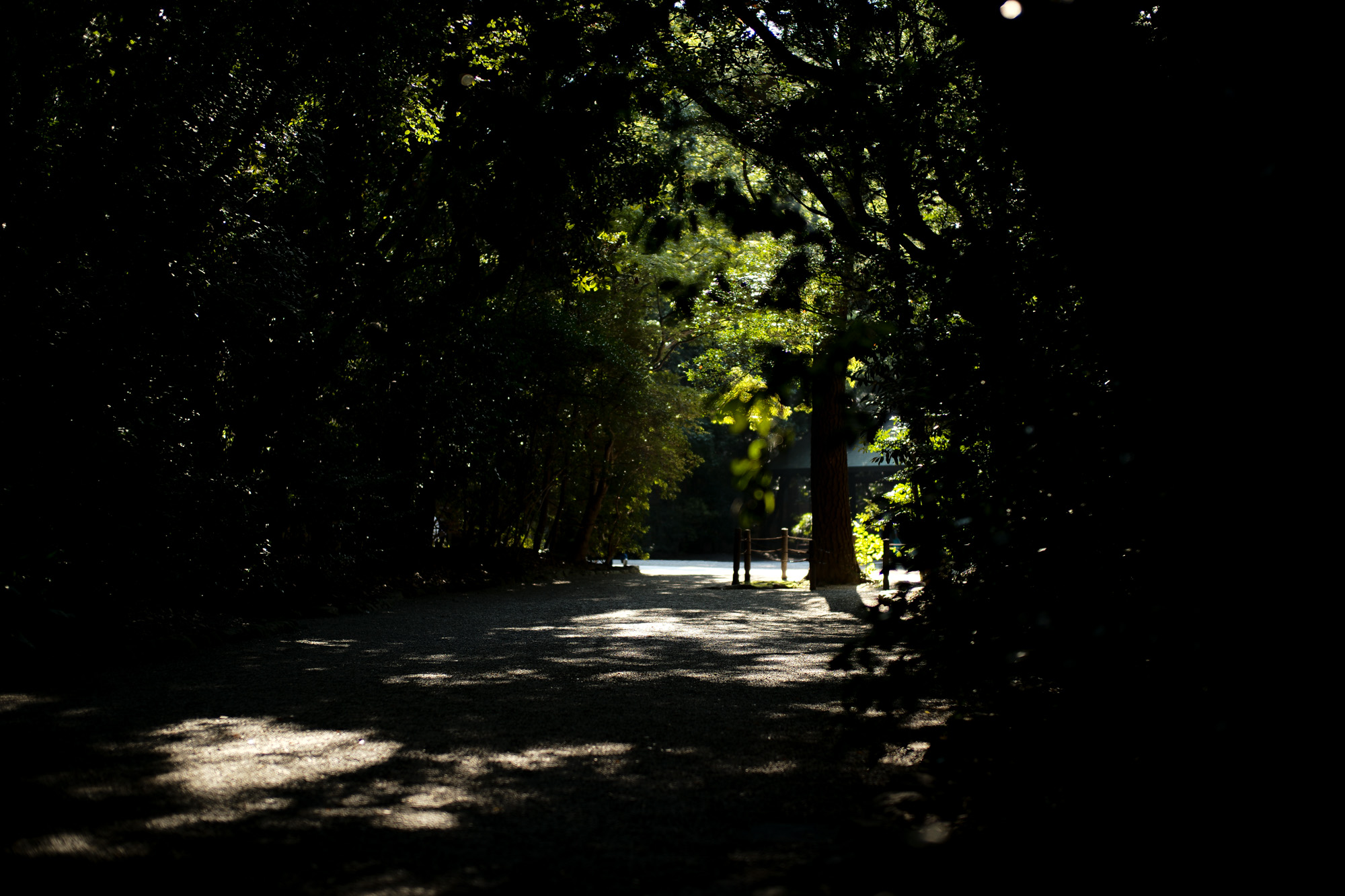 ATSUTA JINGU ///【LEICA M10-P ASC 100 Edition + SUMMILUX-M F1.4/50mm ASPH】 2020年10月21日 水曜日 きよめ餅 AUDEMARS PIGUET アーデマピゲ ロイヤルオーク LEICA M10-P ASC 100 Edition ライカ M10 P ライカ 限定モデル ズミルックス 標準レンズ ELMAR35 1938年製 エルマー ビンテージレンズ 愛知　名古屋 altoediritto アルトエデリット LEICA M10-P “ASC 100 Edition” 映画製作者のためのM型カメラライカは、全米撮影監督協会（American Society of Cinematographers、ASC）の設立100周年を記念し、映画の世界にふさわしい特別モデル「ライカM10-P “ASC 100 Edition”」を発表いたしました。     映画芸術を推進するために1919年に設立された全米撮影監督協会は、この分野では世界で最も長い歴史を持ち、時代を代表する撮影監督たちが会員となってきました。ハリウッドに本部を置く同協会は、ライカと同じく100年以上にわたり、あらゆる世界の文化人に影響を与え、それを形作ってきました。同協会が2019年2月に33回目を数える名誉あるASCアワードを表彰したことに合わせ、映画製作者のための特別モデル「ライカM10-P “ASC 100 Edition」がお披露目されました。無類の写真好きだったオスカー・バルナックは、重量のあるスチルカメラの扱いにくさを軽減する必要性を感じていました。そこで、当時の映画製作者が主に使用していた35mm映画用フィルムを使用し、映画の2コマ分を1画面として使う24×36mmのフィルムサイズを採用したスチルカメラを製作しました。これについて、彼は自身のメモに「Mikrokinoeinrichtung fertig für Aufnahmen」（映画の撮影に対応したマイクロシネ装置）と書き記しています。この発想から1914年に「ウル・ライカ」が生まれることになり、現代に続く35mm判の基礎となりました。これが「ウル・ライカ」の誕生にまつわる1つのストーリーですが、実はその裏にもう1つのストーリーがあります。オスカー・バルナックは当時、映画用フィルムの露出をテストできる装置を求めていました。20世紀初頭ごろは、撮影する前にシーンの視覚的および技術的特性をチェックするのは、現代以上に大変な作業でした。当時の映画製作者は、大型で重いシネカメラで貴重な35mmフィルムを回し続けて撮影しながら、適正露出を調べなくてはならなかったのです。オスカー・バルナックはこれに対し、自身が開発した画期的な「ウル・ライカ」のおかげで、フィルムのわずか1コマを露出させるだけでこれを確認できるようにしました。さらに、彼はこの技術に磨きをかけ、露出過度および露出不足のフィルムを使用して、理想的な露出値の近似値を得ることに成功しました。バルナックが生み出した35mm判スチルカメラ第1号機によってフォトグラフィーの世界に新時代が到来したことで、ライカの名は映画製作と強く結びつくことになりました。そしてこの度、1世紀以上前に始まったストーリーに新たなエピソードが加わりました。それが、バルナックの独創的な発想を現代に色濃く伝える特別モデル「ライカM10-P “ASC 100 Edition"」です。この特別モデルは、市販されているカメラの中で、写真に映画の質感を再現することができる唯一のカメラです。このモデルで初めて、シーンの特性、主観的な「感じ方」やフレーミングなどを確実かつ容易に解釈できるようになりました。シネルックの特別な仕様の「ライカM10-P」とレンズ「ライカ ズミクロンM f2.0/35mm ASPH.」を組み合わせたこの特別モデルは、卓越した視覚体験を提供したいと考える映画監督や映画製作者の大きな力となる、まさにプロ向けのアイテムと言えます。2つのシネルックモデルは、ライカの画質を担当するスペシャリストと世界的な影響力を持つ映画製作者やASCのメンバーが協力して開発しました。「ASC Cine Classic」モードでは35mm映画用フィルムの質感を、「ASC Contemporary」モードでは現代映画の最先端のデジタル的な質感を表現することができます。また、「ライカM10-P “ASC 100 Edition”」がプロフェッショナルな映画製作者にとって完璧なアイテムとなるよう、映画撮影に用いられるさまざまなアスペクト比をユーザーが自由に選択できるようになっており、その選択を有効にすると、選択したアスペクト比がブライトフレームとして表示されます。この特別限定モデルには、電子ビューファインダー「ビゾフレックス」と「ライカM-PLマウント」も含まれています。シネルックと選択可能なアスペクト比だけでなく、さらにビューファーンダーを組み合わせると、デジタルシーンファインダーとして活用できます。また、「ライカM-PLマウント」を装着すると、市販されているPLマウント系のほぼすべてのシネレンズに対応できるようになります。さらに「ライカM10-P “ASC 100 Edition”」では、撮影を開始する前に、映画監督や映画製作者が希望のレンズでシーンをチェックすることができます。そこにカメラとアプリ「Leica FOTOS」を組み合わせれば、ロケーション探しもより簡単に行えるようになり、その内容を撮影プロジェクトの関係者全員とすぐに共有して話し合うことも可能です。オスカー・バルナックのビジョンの近代的な解釈は、「ライカM10-P “ASC 100 Edition”」ならではのユニークな機能に加えて、カメラのデザインにも反映されています。本質を徹底的に追求して、無駄をそぎ落としたデザインを採用し、ブラッククローム仕上げの表面に刻み込まれている文字もすべてブラックとなっています。また、「ライカSL」を思い起こさせるレザー外装により、外観の機能的な印象がさらに強められています。セットの特別レンズ「ライカ ズミクロンM f2.0/35mm ASPH.」の設計はカメラとは対照的に、「ウル・ライカ」の特徴が反映されています。ゴールドアルマイト仕上げが画期的な「ウル・ライカ」の真鍮部を想起させるとともに、スタイリッシュなゴールドがモダンな印象を与えています。さらに、一定の照明条件下では消えたように見える、トップカバーに配されたクラシックなASCのロゴが「ライカM10-P “ASC 100 Edition”」の外観を引き締めています。