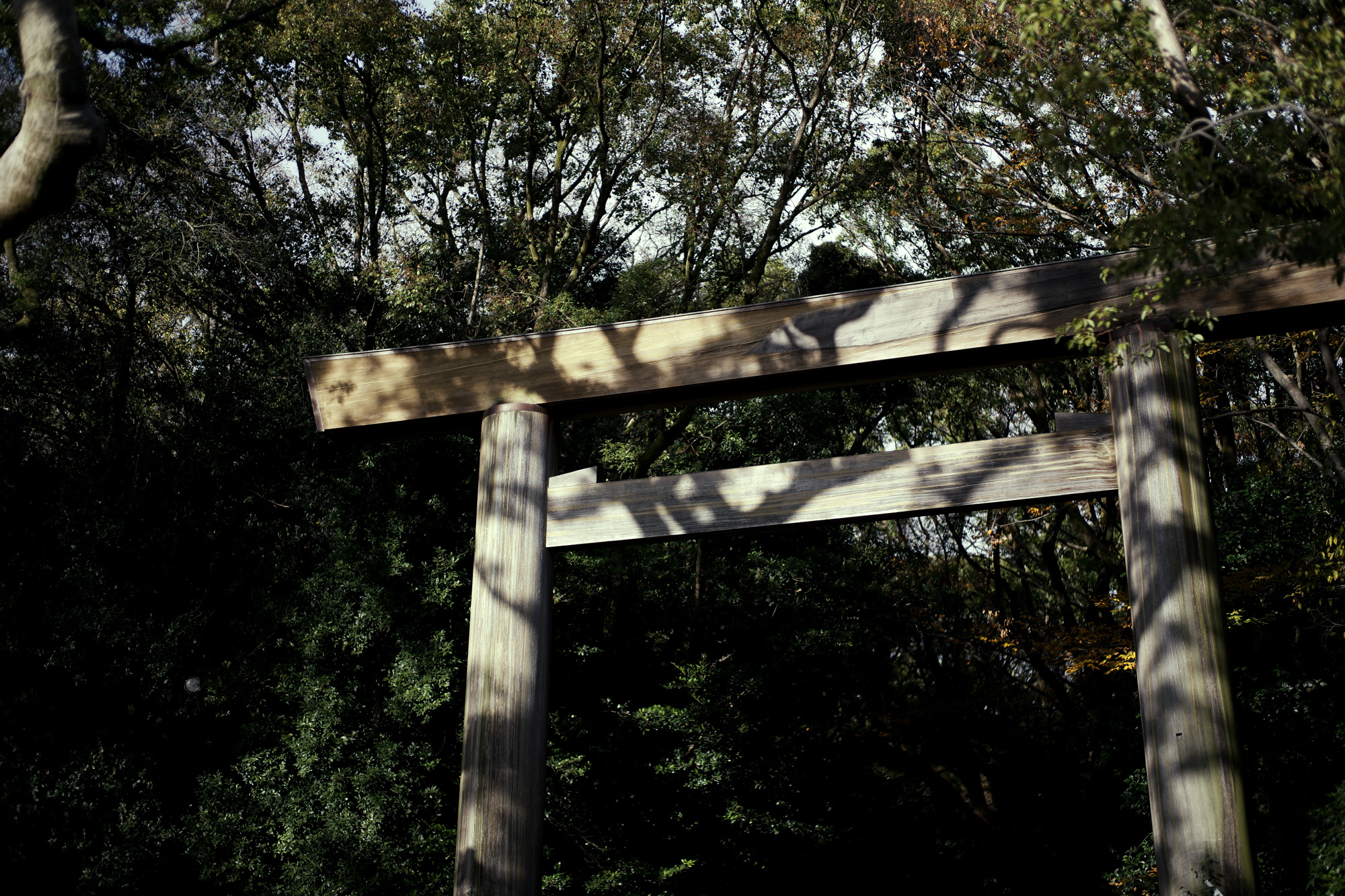 ATSUTA JINGU ///【LEICA M10-P ASC 100 Edition + SUMMILUX-M F1.4/50mm ASPH】 2020年10月21日 水曜日 きよめ餅 AUDEMARS PIGUET アーデマピゲ ロイヤルオーク LEICA M10-P ASC 100 Edition ライカ M10 P ライカ 限定モデル ズミルックス 標準レンズ ELMAR35 1938年製 エルマー ビンテージレンズ 愛知　名古屋 altoediritto アルトエデリット LEICA M10-P “ASC 100 Edition” 映画製作者のためのM型カメラライカは、全米撮影監督協会（American Society of Cinematographers、ASC）の設立100周年を記念し、映画の世界にふさわしい特別モデル「ライカM10-P “ASC 100 Edition”」を発表いたしました。     映画芸術を推進するために1919年に設立された全米撮影監督協会は、この分野では世界で最も長い歴史を持ち、時代を代表する撮影監督たちが会員となってきました。ハリウッドに本部を置く同協会は、ライカと同じく100年以上にわたり、あらゆる世界の文化人に影響を与え、それを形作ってきました。同協会が2019年2月に33回目を数える名誉あるASCアワードを表彰したことに合わせ、映画製作者のための特別モデル「ライカM10-P “ASC 100 Edition」がお披露目されました。無類の写真好きだったオスカー・バルナックは、重量のあるスチルカメラの扱いにくさを軽減する必要性を感じていました。そこで、当時の映画製作者が主に使用していた35mm映画用フィルムを使用し、映画の2コマ分を1画面として使う24×36mmのフィルムサイズを採用したスチルカメラを製作しました。これについて、彼は自身のメモに「Mikrokinoeinrichtung fertig für Aufnahmen」（映画の撮影に対応したマイクロシネ装置）と書き記しています。この発想から1914年に「ウル・ライカ」が生まれることになり、現代に続く35mm判の基礎となりました。これが「ウル・ライカ」の誕生にまつわる1つのストーリーですが、実はその裏にもう1つのストーリーがあります。オスカー・バルナックは当時、映画用フィルムの露出をテストできる装置を求めていました。20世紀初頭ごろは、撮影する前にシーンの視覚的および技術的特性をチェックするのは、現代以上に大変な作業でした。当時の映画製作者は、大型で重いシネカメラで貴重な35mmフィルムを回し続けて撮影しながら、適正露出を調べなくてはならなかったのです。オスカー・バルナックはこれに対し、自身が開発した画期的な「ウル・ライカ」のおかげで、フィルムのわずか1コマを露出させるだけでこれを確認できるようにしました。さらに、彼はこの技術に磨きをかけ、露出過度および露出不足のフィルムを使用して、理想的な露出値の近似値を得ることに成功しました。バルナックが生み出した35mm判スチルカメラ第1号機によってフォトグラフィーの世界に新時代が到来したことで、ライカの名は映画製作と強く結びつくことになりました。そしてこの度、1世紀以上前に始まったストーリーに新たなエピソードが加わりました。それが、バルナックの独創的な発想を現代に色濃く伝える特別モデル「ライカM10-P “ASC 100 Edition"」です。この特別モデルは、市販されているカメラの中で、写真に映画の質感を再現することができる唯一のカメラです。このモデルで初めて、シーンの特性、主観的な「感じ方」やフレーミングなどを確実かつ容易に解釈できるようになりました。シネルックの特別な仕様の「ライカM10-P」とレンズ「ライカ ズミクロンM f2.0/35mm ASPH.」を組み合わせたこの特別モデルは、卓越した視覚体験を提供したいと考える映画監督や映画製作者の大きな力となる、まさにプロ向けのアイテムと言えます。2つのシネルックモデルは、ライカの画質を担当するスペシャリストと世界的な影響力を持つ映画製作者やASCのメンバーが協力して開発しました。「ASC Cine Classic」モードでは35mm映画用フィルムの質感を、「ASC Contemporary」モードでは現代映画の最先端のデジタル的な質感を表現することができます。また、「ライカM10-P “ASC 100 Edition”」がプロフェッショナルな映画製作者にとって完璧なアイテムとなるよう、映画撮影に用いられるさまざまなアスペクト比をユーザーが自由に選択できるようになっており、その選択を有効にすると、選択したアスペクト比がブライトフレームとして表示されます。この特別限定モデルには、電子ビューファインダー「ビゾフレックス」と「ライカM-PLマウント」も含まれています。シネルックと選択可能なアスペクト比だけでなく、さらにビューファーンダーを組み合わせると、デジタルシーンファインダーとして活用できます。また、「ライカM-PLマウント」を装着すると、市販されているPLマウント系のほぼすべてのシネレンズに対応できるようになります。さらに「ライカM10-P “ASC 100 Edition”」では、撮影を開始する前に、映画監督や映画製作者が希望のレンズでシーンをチェックすることができます。そこにカメラとアプリ「Leica FOTOS」を組み合わせれば、ロケーション探しもより簡単に行えるようになり、その内容を撮影プロジェクトの関係者全員とすぐに共有して話し合うことも可能です。オスカー・バルナックのビジョンの近代的な解釈は、「ライカM10-P “ASC 100 Edition”」ならではのユニークな機能に加えて、カメラのデザインにも反映されています。本質を徹底的に追求して、無駄をそぎ落としたデザインを採用し、ブラッククローム仕上げの表面に刻み込まれている文字もすべてブラックとなっています。また、「ライカSL」を思い起こさせるレザー外装により、外観の機能的な印象がさらに強められています。セットの特別レンズ「ライカ ズミクロンM f2.0/35mm ASPH.」の設計はカメラとは対照的に、「ウル・ライカ」の特徴が反映されています。ゴールドアルマイト仕上げが画期的な「ウル・ライカ」の真鍮部を想起させるとともに、スタイリッシュなゴールドがモダンな印象を与えています。さらに、一定の照明条件下では消えたように見える、トップカバーに配されたクラシックなASCのロゴが「ライカM10-P “ASC 100 Edition”」の外観を引き締めています。