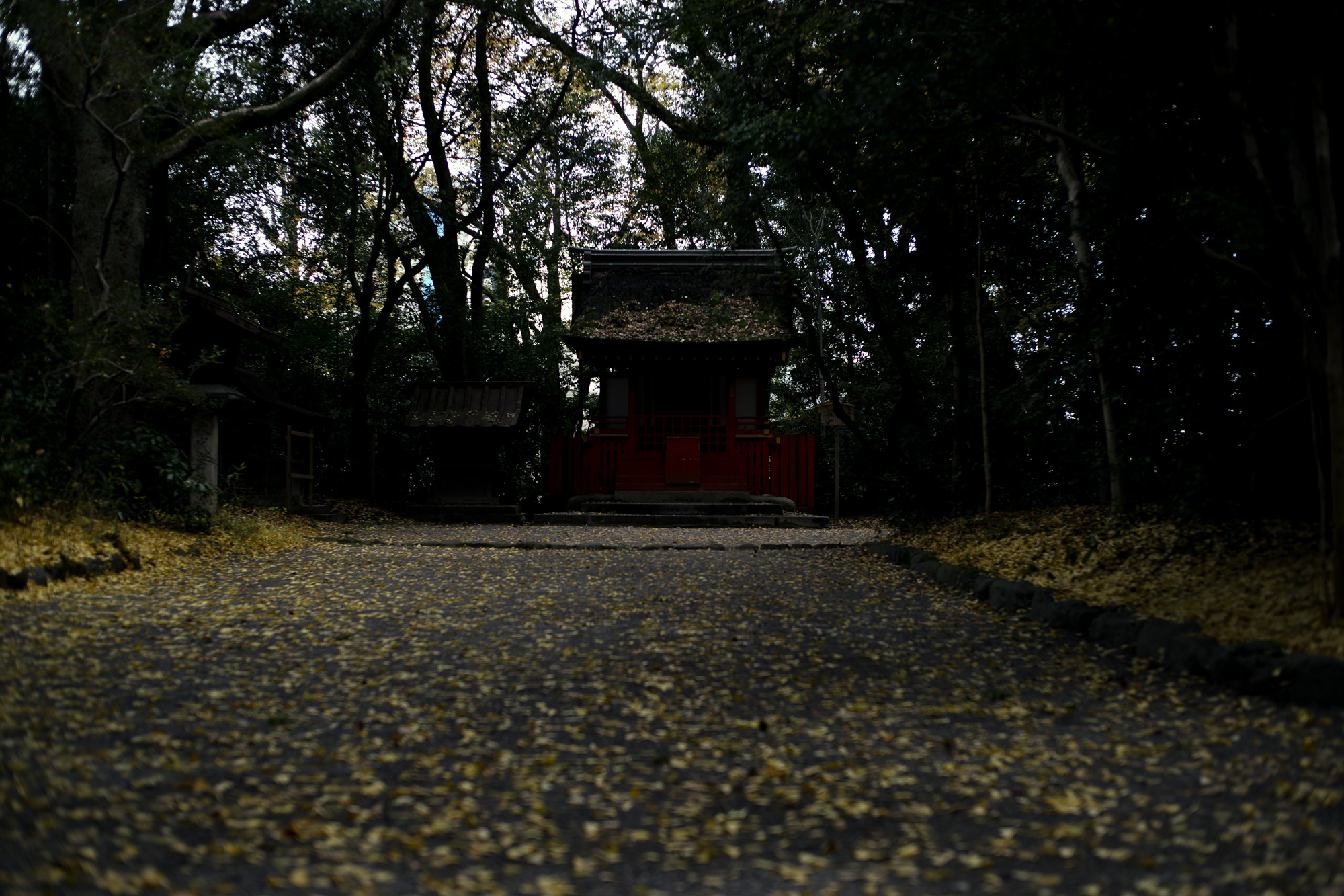 ATSUTA JINGU ///【LEICA M10-P ASC 100 Edition + SUMMILUX-M F1.4/50mm ASPH】 2020年10月21日 水曜日 きよめ餅 AUDEMARS PIGUET アーデマピゲ ロイヤルオーク LEICA M10-P ASC 100 Edition ライカ M10 P ライカ 限定モデル ズミルックス 標準レンズ ELMAR35 1938年製 エルマー ビンテージレンズ 愛知　名古屋 altoediritto アルトエデリット LEICA M10-P “ASC 100 Edition” 映画製作者のためのM型カメラライカは、全米撮影監督協会（American Society of Cinematographers、ASC）の設立100周年を記念し、映画の世界にふさわしい特別モデル「ライカM10-P “ASC 100 Edition”」を発表いたしました。     映画芸術を推進するために1919年に設立された全米撮影監督協会は、この分野では世界で最も長い歴史を持ち、時代を代表する撮影監督たちが会員となってきました。ハリウッドに本部を置く同協会は、ライカと同じく100年以上にわたり、あらゆる世界の文化人に影響を与え、それを形作ってきました。同協会が2019年2月に33回目を数える名誉あるASCアワードを表彰したことに合わせ、映画製作者のための特別モデル「ライカM10-P “ASC 100 Edition」がお披露目されました。無類の写真好きだったオスカー・バルナックは、重量のあるスチルカメラの扱いにくさを軽減する必要性を感じていました。そこで、当時の映画製作者が主に使用していた35mm映画用フィルムを使用し、映画の2コマ分を1画面として使う24×36mmのフィルムサイズを採用したスチルカメラを製作しました。これについて、彼は自身のメモに「Mikrokinoeinrichtung fertig für Aufnahmen」（映画の撮影に対応したマイクロシネ装置）と書き記しています。この発想から1914年に「ウル・ライカ」が生まれることになり、現代に続く35mm判の基礎となりました。これが「ウル・ライカ」の誕生にまつわる1つのストーリーですが、実はその裏にもう1つのストーリーがあります。オスカー・バルナックは当時、映画用フィルムの露出をテストできる装置を求めていました。20世紀初頭ごろは、撮影する前にシーンの視覚的および技術的特性をチェックするのは、現代以上に大変な作業でした。当時の映画製作者は、大型で重いシネカメラで貴重な35mmフィルムを回し続けて撮影しながら、適正露出を調べなくてはならなかったのです。オスカー・バルナックはこれに対し、自身が開発した画期的な「ウル・ライカ」のおかげで、フィルムのわずか1コマを露出させるだけでこれを確認できるようにしました。さらに、彼はこの技術に磨きをかけ、露出過度および露出不足のフィルムを使用して、理想的な露出値の近似値を得ることに成功しました。バルナックが生み出した35mm判スチルカメラ第1号機によってフォトグラフィーの世界に新時代が到来したことで、ライカの名は映画製作と強く結びつくことになりました。そしてこの度、1世紀以上前に始まったストーリーに新たなエピソードが加わりました。それが、バルナックの独創的な発想を現代に色濃く伝える特別モデル「ライカM10-P “ASC 100 Edition"」です。この特別モデルは、市販されているカメラの中で、写真に映画の質感を再現することができる唯一のカメラです。このモデルで初めて、シーンの特性、主観的な「感じ方」やフレーミングなどを確実かつ容易に解釈できるようになりました。シネルックの特別な仕様の「ライカM10-P」とレンズ「ライカ ズミクロンM f2.0/35mm ASPH.」を組み合わせたこの特別モデルは、卓越した視覚体験を提供したいと考える映画監督や映画製作者の大きな力となる、まさにプロ向けのアイテムと言えます。2つのシネルックモデルは、ライカの画質を担当するスペシャリストと世界的な影響力を持つ映画製作者やASCのメンバーが協力して開発しました。「ASC Cine Classic」モードでは35mm映画用フィルムの質感を、「ASC Contemporary」モードでは現代映画の最先端のデジタル的な質感を表現することができます。また、「ライカM10-P “ASC 100 Edition”」がプロフェッショナルな映画製作者にとって完璧なアイテムとなるよう、映画撮影に用いられるさまざまなアスペクト比をユーザーが自由に選択できるようになっており、その選択を有効にすると、選択したアスペクト比がブライトフレームとして表示されます。この特別限定モデルには、電子ビューファインダー「ビゾフレックス」と「ライカM-PLマウント」も含まれています。シネルックと選択可能なアスペクト比だけでなく、さらにビューファーンダーを組み合わせると、デジタルシーンファインダーとして活用できます。また、「ライカM-PLマウント」を装着すると、市販されているPLマウント系のほぼすべてのシネレンズに対応できるようになります。さらに「ライカM10-P “ASC 100 Edition”」では、撮影を開始する前に、映画監督や映画製作者が希望のレンズでシーンをチェックすることができます。そこにカメラとアプリ「Leica FOTOS」を組み合わせれば、ロケーション探しもより簡単に行えるようになり、その内容を撮影プロジェクトの関係者全員とすぐに共有して話し合うことも可能です。オスカー・バルナックのビジョンの近代的な解釈は、「ライカM10-P “ASC 100 Edition”」ならではのユニークな機能に加えて、カメラのデザインにも反映されています。本質を徹底的に追求して、無駄をそぎ落としたデザインを採用し、ブラッククローム仕上げの表面に刻み込まれている文字もすべてブラックとなっています。また、「ライカSL」を思い起こさせるレザー外装により、外観の機能的な印象がさらに強められています。セットの特別レンズ「ライカ ズミクロンM f2.0/35mm ASPH.」の設計はカメラとは対照的に、「ウル・ライカ」の特徴が反映されています。ゴールドアルマイト仕上げが画期的な「ウル・ライカ」の真鍮部を想起させるとともに、スタイリッシュなゴールドがモダンな印象を与えています。さらに、一定の照明条件下では消えたように見える、トップカバーに配されたクラシックなASCのロゴが「ライカM10-P “ASC 100 Edition”」の外観を引き締めています。