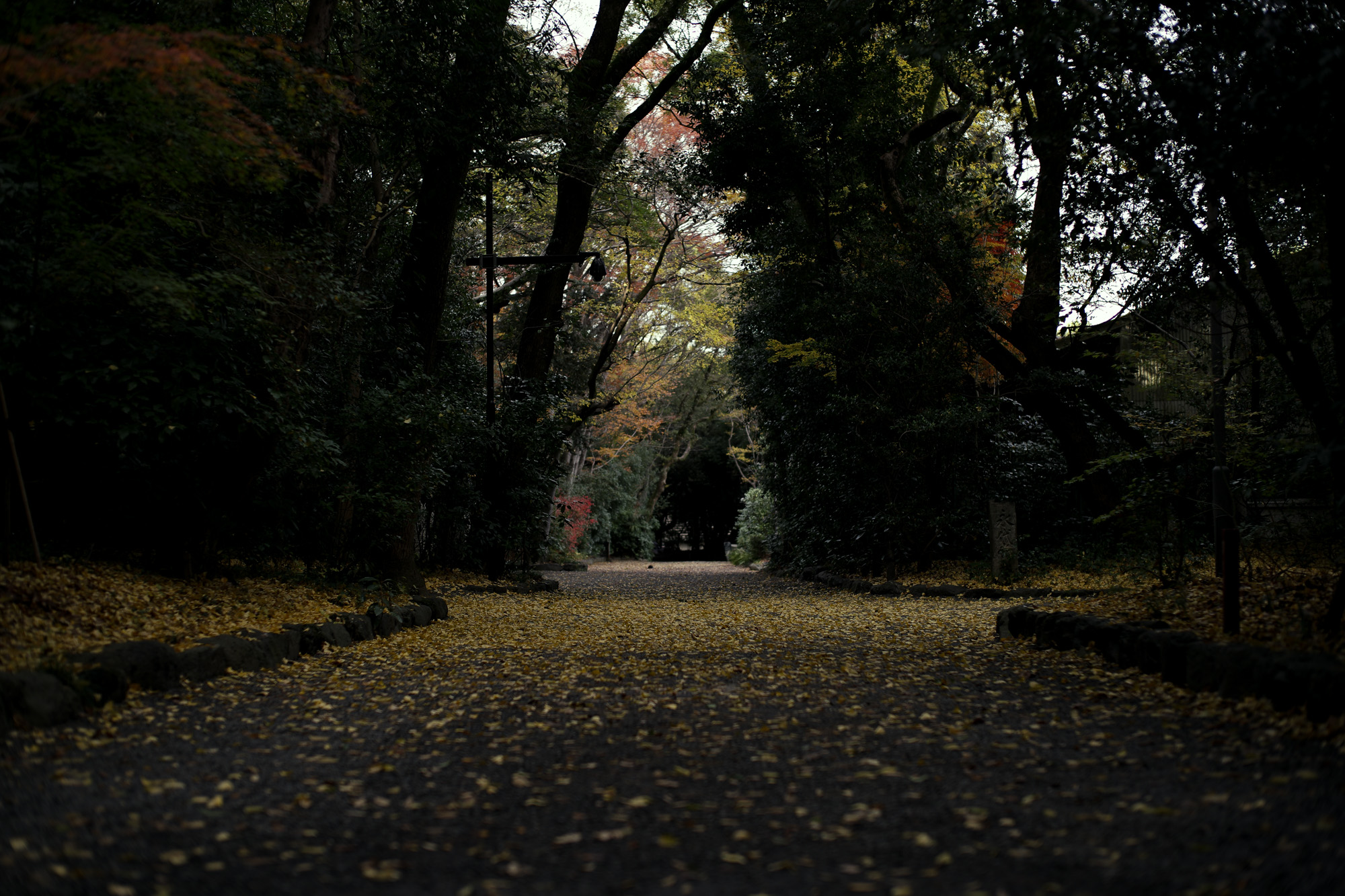 ATSUTA JINGU ///【LEICA M10-P ASC 100 Edition + SUMMILUX-M F1.4/50mm ASPH】 2020年10月21日 水曜日 きよめ餅 AUDEMARS PIGUET アーデマピゲ ロイヤルオーク LEICA M10-P ASC 100 Edition ライカ M10 P ライカ 限定モデル ズミルックス 標準レンズ ELMAR35 1938年製 エルマー ビンテージレンズ 愛知　名古屋 altoediritto アルトエデリット LEICA M10-P “ASC 100 Edition” 映画製作者のためのM型カメラライカは、全米撮影監督協会（American Society of Cinematographers、ASC）の設立100周年を記念し、映画の世界にふさわしい特別モデル「ライカM10-P “ASC 100 Edition”」を発表いたしました。     映画芸術を推進するために1919年に設立された全米撮影監督協会は、この分野では世界で最も長い歴史を持ち、時代を代表する撮影監督たちが会員となってきました。ハリウッドに本部を置く同協会は、ライカと同じく100年以上にわたり、あらゆる世界の文化人に影響を与え、それを形作ってきました。同協会が2019年2月に33回目を数える名誉あるASCアワードを表彰したことに合わせ、映画製作者のための特別モデル「ライカM10-P “ASC 100 Edition」がお披露目されました。無類の写真好きだったオスカー・バルナックは、重量のあるスチルカメラの扱いにくさを軽減する必要性を感じていました。そこで、当時の映画製作者が主に使用していた35mm映画用フィルムを使用し、映画の2コマ分を1画面として使う24×36mmのフィルムサイズを採用したスチルカメラを製作しました。これについて、彼は自身のメモに「Mikrokinoeinrichtung fertig für Aufnahmen」（映画の撮影に対応したマイクロシネ装置）と書き記しています。この発想から1914年に「ウル・ライカ」が生まれることになり、現代に続く35mm判の基礎となりました。これが「ウル・ライカ」の誕生にまつわる1つのストーリーですが、実はその裏にもう1つのストーリーがあります。オスカー・バルナックは当時、映画用フィルムの露出をテストできる装置を求めていました。20世紀初頭ごろは、撮影する前にシーンの視覚的および技術的特性をチェックするのは、現代以上に大変な作業でした。当時の映画製作者は、大型で重いシネカメラで貴重な35mmフィルムを回し続けて撮影しながら、適正露出を調べなくてはならなかったのです。オスカー・バルナックはこれに対し、自身が開発した画期的な「ウル・ライカ」のおかげで、フィルムのわずか1コマを露出させるだけでこれを確認できるようにしました。さらに、彼はこの技術に磨きをかけ、露出過度および露出不足のフィルムを使用して、理想的な露出値の近似値を得ることに成功しました。バルナックが生み出した35mm判スチルカメラ第1号機によってフォトグラフィーの世界に新時代が到来したことで、ライカの名は映画製作と強く結びつくことになりました。そしてこの度、1世紀以上前に始まったストーリーに新たなエピソードが加わりました。それが、バルナックの独創的な発想を現代に色濃く伝える特別モデル「ライカM10-P “ASC 100 Edition"」です。この特別モデルは、市販されているカメラの中で、写真に映画の質感を再現することができる唯一のカメラです。このモデルで初めて、シーンの特性、主観的な「感じ方」やフレーミングなどを確実かつ容易に解釈できるようになりました。シネルックの特別な仕様の「ライカM10-P」とレンズ「ライカ ズミクロンM f2.0/35mm ASPH.」を組み合わせたこの特別モデルは、卓越した視覚体験を提供したいと考える映画監督や映画製作者の大きな力となる、まさにプロ向けのアイテムと言えます。2つのシネルックモデルは、ライカの画質を担当するスペシャリストと世界的な影響力を持つ映画製作者やASCのメンバーが協力して開発しました。「ASC Cine Classic」モードでは35mm映画用フィルムの質感を、「ASC Contemporary」モードでは現代映画の最先端のデジタル的な質感を表現することができます。また、「ライカM10-P “ASC 100 Edition”」がプロフェッショナルな映画製作者にとって完璧なアイテムとなるよう、映画撮影に用いられるさまざまなアスペクト比をユーザーが自由に選択できるようになっており、その選択を有効にすると、選択したアスペクト比がブライトフレームとして表示されます。この特別限定モデルには、電子ビューファインダー「ビゾフレックス」と「ライカM-PLマウント」も含まれています。シネルックと選択可能なアスペクト比だけでなく、さらにビューファーンダーを組み合わせると、デジタルシーンファインダーとして活用できます。また、「ライカM-PLマウント」を装着すると、市販されているPLマウント系のほぼすべてのシネレンズに対応できるようになります。さらに「ライカM10-P “ASC 100 Edition”」では、撮影を開始する前に、映画監督や映画製作者が希望のレンズでシーンをチェックすることができます。そこにカメラとアプリ「Leica FOTOS」を組み合わせれば、ロケーション探しもより簡単に行えるようになり、その内容を撮影プロジェクトの関係者全員とすぐに共有して話し合うことも可能です。オスカー・バルナックのビジョンの近代的な解釈は、「ライカM10-P “ASC 100 Edition”」ならではのユニークな機能に加えて、カメラのデザインにも反映されています。本質を徹底的に追求して、無駄をそぎ落としたデザインを採用し、ブラッククローム仕上げの表面に刻み込まれている文字もすべてブラックとなっています。また、「ライカSL」を思い起こさせるレザー外装により、外観の機能的な印象がさらに強められています。セットの特別レンズ「ライカ ズミクロンM f2.0/35mm ASPH.」の設計はカメラとは対照的に、「ウル・ライカ」の特徴が反映されています。ゴールドアルマイト仕上げが画期的な「ウル・ライカ」の真鍮部を想起させるとともに、スタイリッシュなゴールドがモダンな印象を与えています。さらに、一定の照明条件下では消えたように見える、トップカバーに配されたクラシックなASCのロゴが「ライカM10-P “ASC 100 Edition”」の外観を引き締めています。