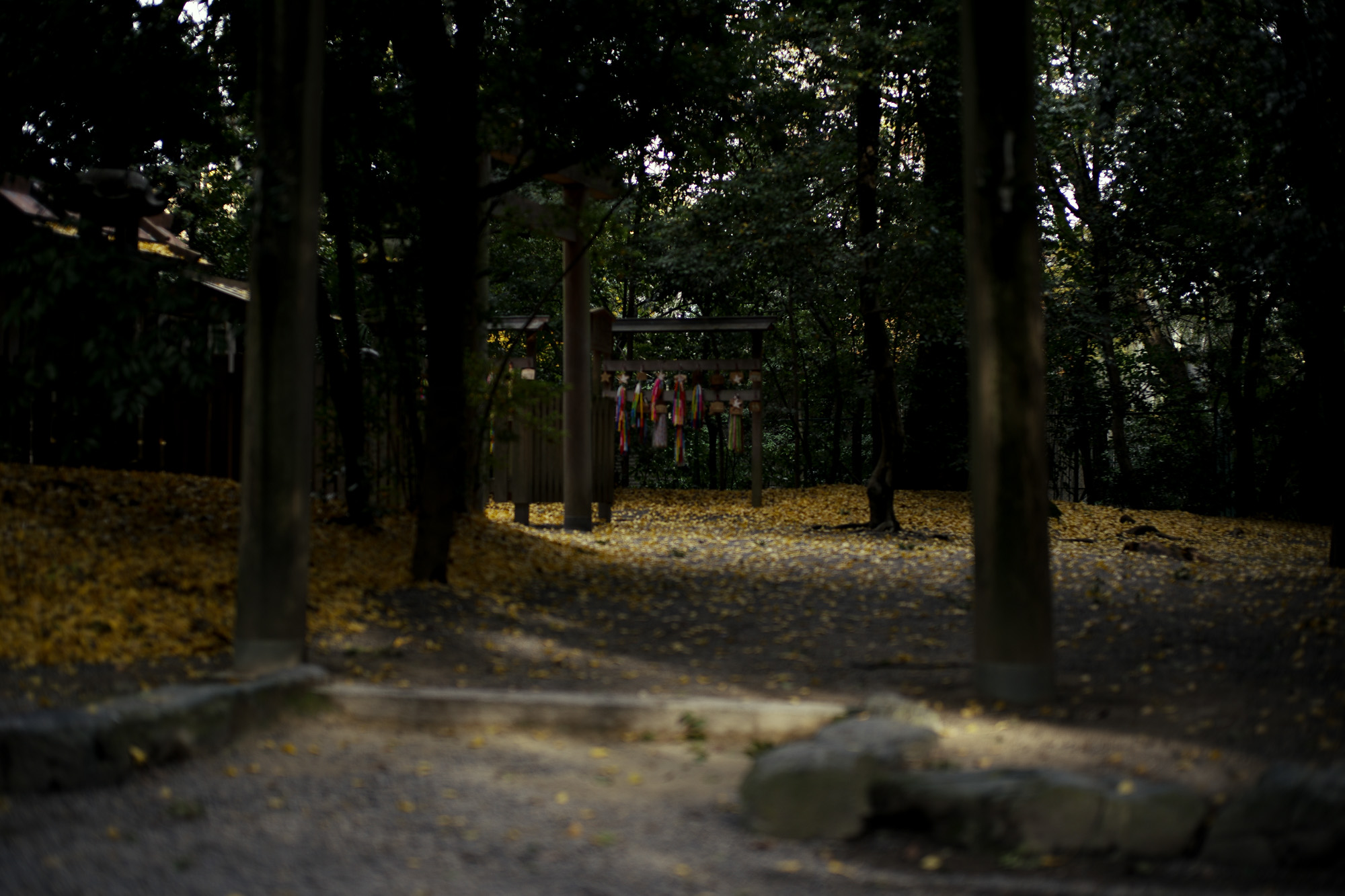 ATSUTA JINGU ///【LEICA M10-P ASC 100 Edition + SUMMILUX-M F1.4/50mm ASPH】 2020年10月21日 水曜日 きよめ餅 AUDEMARS PIGUET アーデマピゲ ロイヤルオーク LEICA M10-P ASC 100 Edition ライカ M10 P ライカ 限定モデル ズミルックス 標準レンズ ELMAR35 1938年製 エルマー ビンテージレンズ 愛知　名古屋 altoediritto アルトエデリット LEICA M10-P “ASC 100 Edition” 映画製作者のためのM型カメラライカは、全米撮影監督協会（American Society of Cinematographers、ASC）の設立100周年を記念し、映画の世界にふさわしい特別モデル「ライカM10-P “ASC 100 Edition”」を発表いたしました。     映画芸術を推進するために1919年に設立された全米撮影監督協会は、この分野では世界で最も長い歴史を持ち、時代を代表する撮影監督たちが会員となってきました。ハリウッドに本部を置く同協会は、ライカと同じく100年以上にわたり、あらゆる世界の文化人に影響を与え、それを形作ってきました。同協会が2019年2月に33回目を数える名誉あるASCアワードを表彰したことに合わせ、映画製作者のための特別モデル「ライカM10-P “ASC 100 Edition」がお披露目されました。無類の写真好きだったオスカー・バルナックは、重量のあるスチルカメラの扱いにくさを軽減する必要性を感じていました。そこで、当時の映画製作者が主に使用していた35mm映画用フィルムを使用し、映画の2コマ分を1画面として使う24×36mmのフィルムサイズを採用したスチルカメラを製作しました。これについて、彼は自身のメモに「Mikrokinoeinrichtung fertig für Aufnahmen」（映画の撮影に対応したマイクロシネ装置）と書き記しています。この発想から1914年に「ウル・ライカ」が生まれることになり、現代に続く35mm判の基礎となりました。これが「ウル・ライカ」の誕生にまつわる1つのストーリーですが、実はその裏にもう1つのストーリーがあります。オスカー・バルナックは当時、映画用フィルムの露出をテストできる装置を求めていました。20世紀初頭ごろは、撮影する前にシーンの視覚的および技術的特性をチェックするのは、現代以上に大変な作業でした。当時の映画製作者は、大型で重いシネカメラで貴重な35mmフィルムを回し続けて撮影しながら、適正露出を調べなくてはならなかったのです。オスカー・バルナックはこれに対し、自身が開発した画期的な「ウル・ライカ」のおかげで、フィルムのわずか1コマを露出させるだけでこれを確認できるようにしました。さらに、彼はこの技術に磨きをかけ、露出過度および露出不足のフィルムを使用して、理想的な露出値の近似値を得ることに成功しました。バルナックが生み出した35mm判スチルカメラ第1号機によってフォトグラフィーの世界に新時代が到来したことで、ライカの名は映画製作と強く結びつくことになりました。そしてこの度、1世紀以上前に始まったストーリーに新たなエピソードが加わりました。それが、バルナックの独創的な発想を現代に色濃く伝える特別モデル「ライカM10-P “ASC 100 Edition"」です。この特別モデルは、市販されているカメラの中で、写真に映画の質感を再現することができる唯一のカメラです。このモデルで初めて、シーンの特性、主観的な「感じ方」やフレーミングなどを確実かつ容易に解釈できるようになりました。シネルックの特別な仕様の「ライカM10-P」とレンズ「ライカ ズミクロンM f2.0/35mm ASPH.」を組み合わせたこの特別モデルは、卓越した視覚体験を提供したいと考える映画監督や映画製作者の大きな力となる、まさにプロ向けのアイテムと言えます。2つのシネルックモデルは、ライカの画質を担当するスペシャリストと世界的な影響力を持つ映画製作者やASCのメンバーが協力して開発しました。「ASC Cine Classic」モードでは35mm映画用フィルムの質感を、「ASC Contemporary」モードでは現代映画の最先端のデジタル的な質感を表現することができます。また、「ライカM10-P “ASC 100 Edition”」がプロフェッショナルな映画製作者にとって完璧なアイテムとなるよう、映画撮影に用いられるさまざまなアスペクト比をユーザーが自由に選択できるようになっており、その選択を有効にすると、選択したアスペクト比がブライトフレームとして表示されます。この特別限定モデルには、電子ビューファインダー「ビゾフレックス」と「ライカM-PLマウント」も含まれています。シネルックと選択可能なアスペクト比だけでなく、さらにビューファーンダーを組み合わせると、デジタルシーンファインダーとして活用できます。また、「ライカM-PLマウント」を装着すると、市販されているPLマウント系のほぼすべてのシネレンズに対応できるようになります。さらに「ライカM10-P “ASC 100 Edition”」では、撮影を開始する前に、映画監督や映画製作者が希望のレンズでシーンをチェックすることができます。そこにカメラとアプリ「Leica FOTOS」を組み合わせれば、ロケーション探しもより簡単に行えるようになり、その内容を撮影プロジェクトの関係者全員とすぐに共有して話し合うことも可能です。オスカー・バルナックのビジョンの近代的な解釈は、「ライカM10-P “ASC 100 Edition”」ならではのユニークな機能に加えて、カメラのデザインにも反映されています。本質を徹底的に追求して、無駄をそぎ落としたデザインを採用し、ブラッククローム仕上げの表面に刻み込まれている文字もすべてブラックとなっています。また、「ライカSL」を思い起こさせるレザー外装により、外観の機能的な印象がさらに強められています。セットの特別レンズ「ライカ ズミクロンM f2.0/35mm ASPH.」の設計はカメラとは対照的に、「ウル・ライカ」の特徴が反映されています。ゴールドアルマイト仕上げが画期的な「ウル・ライカ」の真鍮部を想起させるとともに、スタイリッシュなゴールドがモダンな印象を与えています。さらに、一定の照明条件下では消えたように見える、トップカバーに配されたクラシックなASCのロゴが「ライカM10-P “ASC 100 Edition”」の外観を引き締めています。