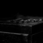 Balvenie Wilhelmのイメージ