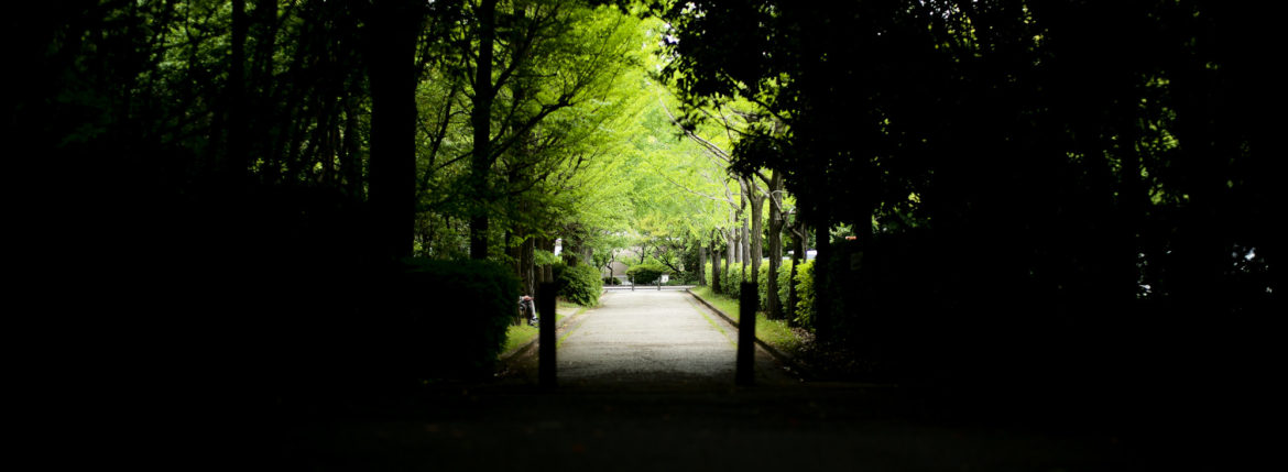 優しさに沢山触れた 休日 Kindness　gentleness　熱田神宮 atsuta jingu LA VAGABONDE ラ・ヴァガボンド フレンチ フランス料理 鶴舞 ラヴァカボンド chef ryousuke iwamoto 岩本龍介 予約のとれないフレンチ 名店 美食家 放浪者 旅人 愛知県名古屋市中区千代田2丁目14-24 キャノンピア鶴舞 1F 愛知 名古屋 Alto e Diritto altoediritto アルトエデリット 超絶フレンチ ドレスコード ディナー STEAK HOUSE Beef Okuma ステーキハウス ビーフオークマ 名古屋店 霜降り黒毛和牛 サーロイン フィレ シャトーブリアン 仙台牛 宮城牛 近江牛 150g 200g ハンバーグ 松坂屋 名古屋店 愛知　名古屋 Alto e Diritto altoediritto GW休暇 Alto e Diritto アルトエデリット altoediritto 愛知 名古屋 ゴールデンウィーク 休暇 炭火焼肉 煖 だん ダン 愛知 名古屋 焼き肉 名駅店 瑞穂本店 Alto e Diritto altoediritto アルトエデリット 夢 希望 Dream FREEMASONRY フリーメーソン AUDEMARS PIGUET オーデマピゲ SEX PISTOLS セックスピストルズ JOY DIVISION ジョイディヴィジョン DAVID BOWIE デヴィットボーウィ THE VELVET UNDERGROUND ザベルベットアンダーグラウンド THE ROLLING STONES ザローリングストーンズ QUEEN クイーン LED ZEPPELIN レッドツェッペリン Alto e Diritto アルトエデリット 愛知 名古屋 Italy MOORER ムーレー / BELVEST ベルベスト / ISAIA イザイア / LUCA GRASSIA ルカグラシア / Alfredo Rifugio アルフレードリフージオ / LARDINI ラルディーニ / De Petrillo デ・ペトリロ / TAGLIATORE タリアトーレ / Sealup シーラップ / EMMETI エンメティ / CINQUANTA チンクアンタ / SILENCE サイレンス / MOLEC モレック / Finamore フィナモレ / ORIAN オリアン / AVINO Laboratorio Napoletano アヴィーノ / INCOTEX インコテックス / INCOTEX SLACKS インコテックススラックス / PT TORINO ピーティートリノ / BERWICH ベルウィッチ / VIGANO ヴィガーノ / RICHARD J.BROWN リチャードJブラウン / FEDELI フェデーリ / MANRICO CASHMERE マンリコカシミヤ / ZANONE ザノーネ / Cruciani クルチアーニ / GRAN SASSO グランサッソ / Settefili Cashmere セッテフィーリカシミア / Girelli Bruni ジレリブルーニ / ENZO BONAFE エンツォボナフェ / FERRANTE フェランテ / GHOUD ゴード / ACATE アカーテ / Cisei シセイ / STEFANO RICCI ステファノリッチ / ALPO アル France Georges de Patricia ジョルジュドパトリシア / SAINT LAURENTサンローラン / CELINE セリーヌ / AUBERCY オーベルシー / lucien pellat-finet ルシアンペラフィネ / NATIONAL STANDARD ナショナルスタンダー U.S.A. South Paradiso Leather サウスパラディソ / JACQUESMARIEMAGE ジャックマリーマージュ / MARC MARMEL マークマーメル / WHITE'S BOOTS ホワイツブーツ / JUTTA NEUMANN ユッタニューマン England GRENFELL グレンフェル / J&M DAVIDSON ジェイアンドエムディヴィッドソン / JAMES GROSE ジェームスグロース / JOHN SMEDLEY ジョンスメドレー / Johnstons ジョンストンズ Other FIXER フィクサー / cuervo bopoha クエルボ ヴァローナ / BACKLASH The Line バックラッシュ ザライン / RIVORA リヴォラ / C.QP / Order Suit オーダースーツ