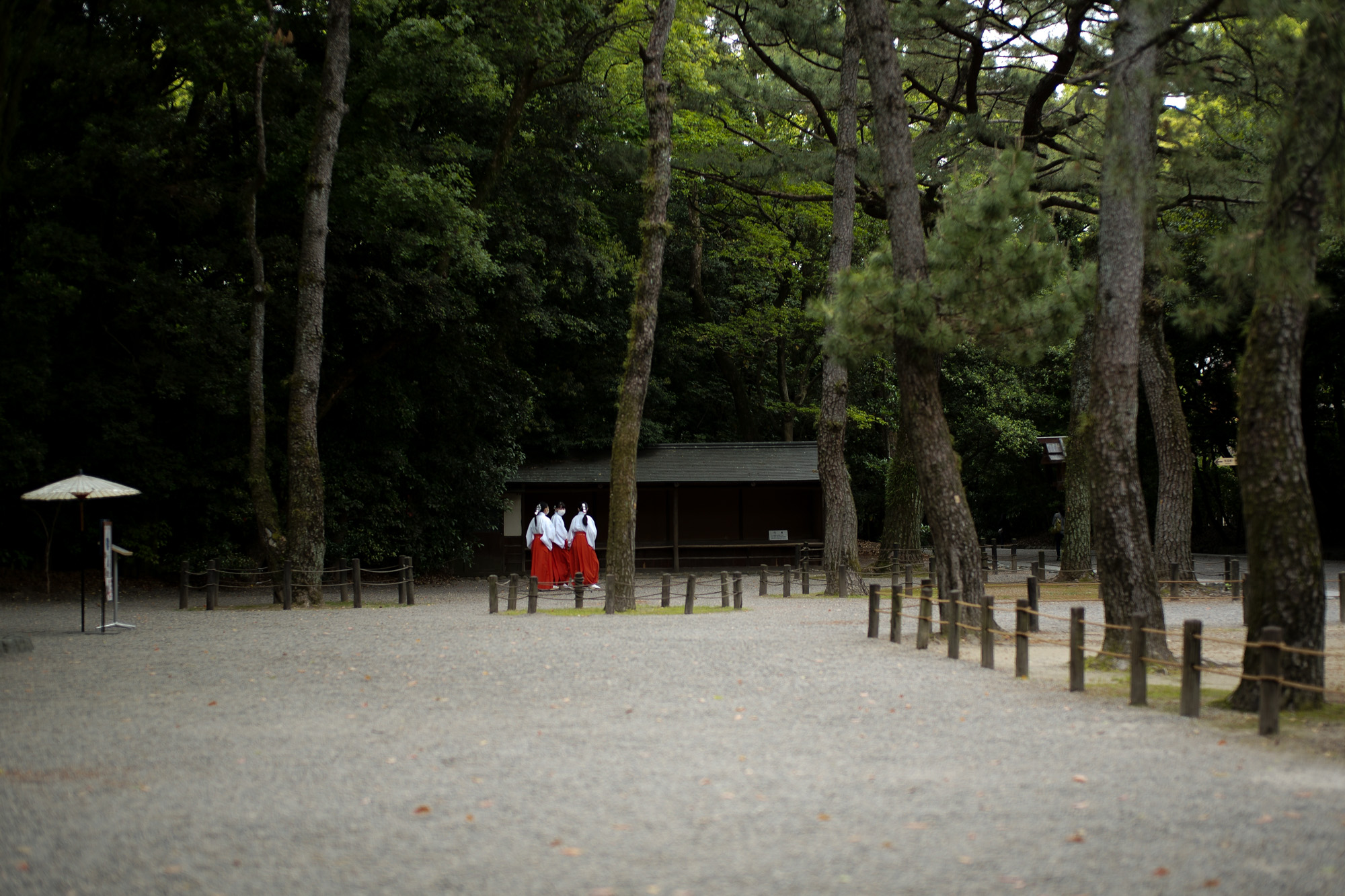 熱田神宮 atsuta jingu LA VAGABONDE ラ・ヴァガボンド フレンチ フランス料理 鶴舞 ラヴァカボンド chef ryousuke iwamoto 岩本龍介 予約のとれないフレンチ 名店 美食家 放浪者 旅人 愛知県名古屋市中区千代田2丁目14-24 キャノンピア鶴舞 1F 愛知 名古屋 Alto e Diritto altoediritto アルトエデリット 超絶フレンチ ドレスコード ディナー STEAK HOUSE Beef Okuma ステーキハウス ビーフオークマ 名古屋店 霜降り黒毛和牛 サーロイン フィレ シャトーブリアン 仙台牛 宮城牛 近江牛 150g 200g ハンバーグ 松坂屋 名古屋店 愛知　名古屋 Alto e Diritto altoediritto  GW休暇 Alto e Diritto アルトエデリット altoediritto 愛知 名古屋 ゴールデンウィーク 休暇 炭火焼肉 煖  だん ダン 愛知 名古屋 焼き肉  名駅店 瑞穂本店 Alto e Diritto altoediritto アルトエデリット 夢 希望 Dream FREEMASONRY フリーメーソン AUDEMARS PIGUET オーデマピゲ SEX PISTOLS セックスピストルズ JOY DIVISION ジョイディヴィジョン DAVID BOWIE デヴィットボーウィ THE VELVET UNDERGROUND ザベルベットアンダーグラウンド THE ROLLING STONES ザローリングストーンズ QUEEN クイーン LED ZEPPELIN レッドツェッペリン Alto e Diritto アルトエデリット 愛知 名古屋 Italy MOORER ムーレー / BELVEST ベルベスト / ISAIA イザイア / LUCA GRASSIA ルカグラシア / Alfredo Rifugio アルフレードリフージオ / LARDINI ラルディーニ / De Petrillo デ・ペトリロ / TAGLIATORE タリアトーレ / Sealup シーラップ / EMMETI エンメティ / CINQUANTA チンクアンタ / SILENCE サイレンス / MOLEC モレック / Finamore フィナモレ / ORIAN オリアン / AVINO Laboratorio Napoletano アヴィーノ / INCOTEX インコテックス / INCOTEX SLACKS インコテックススラックス / PT TORINO ピーティートリノ / BERWICH ベルウィッチ / VIGANO ヴィガーノ / RICHARD J.BROWN リチャードJブラウン / FEDELI フェデーリ / MANRICO CASHMERE マンリコカシミヤ / ZANONE ザノーネ / Cruciani クルチアーニ / GRAN SASSO グランサッソ / Settefili Cashmere セッテフィーリカシミア / Girelli Bruni ジレリブルーニ / ENZO BONAFE エンツォボナフェ / FERRANTE フェランテ / GHOUD ゴード / ACATE アカーテ / Cisei シセイ / STEFANO RICCI ステファノリッチ / ALPO アル France Georges de Patricia ジョルジュドパトリシア / SAINT LAURENTサンローラン / CELINE セリーヌ / AUBERCY オーベルシー / lucien pellat-finet ルシアンペラフィネ / NATIONAL STANDARD ナショナルスタンダー U.S.A. South Paradiso Leather サウスパラディソ / JACQUESMARIEMAGE ジャックマリーマージュ / MARC MARMEL マークマーメル / WHITE'S BOOTS ホワイツブーツ / JUTTA NEUMANN ユッタニューマン England GRENFELL グレンフェル / J&M DAVIDSON ジェイアンドエムディヴィッドソン / JAMES GROSE ジェームスグロース / JOHN SMEDLEY ジョンスメドレー / Johnstons ジョンストンズ Other FIXER フィクサー / cuervo bopoha クエルボ ヴァローナ / BACKLASH The Line バックラッシュ ザライン / RIVORA リヴォラ / C.QP / Order Suit オーダースーツ