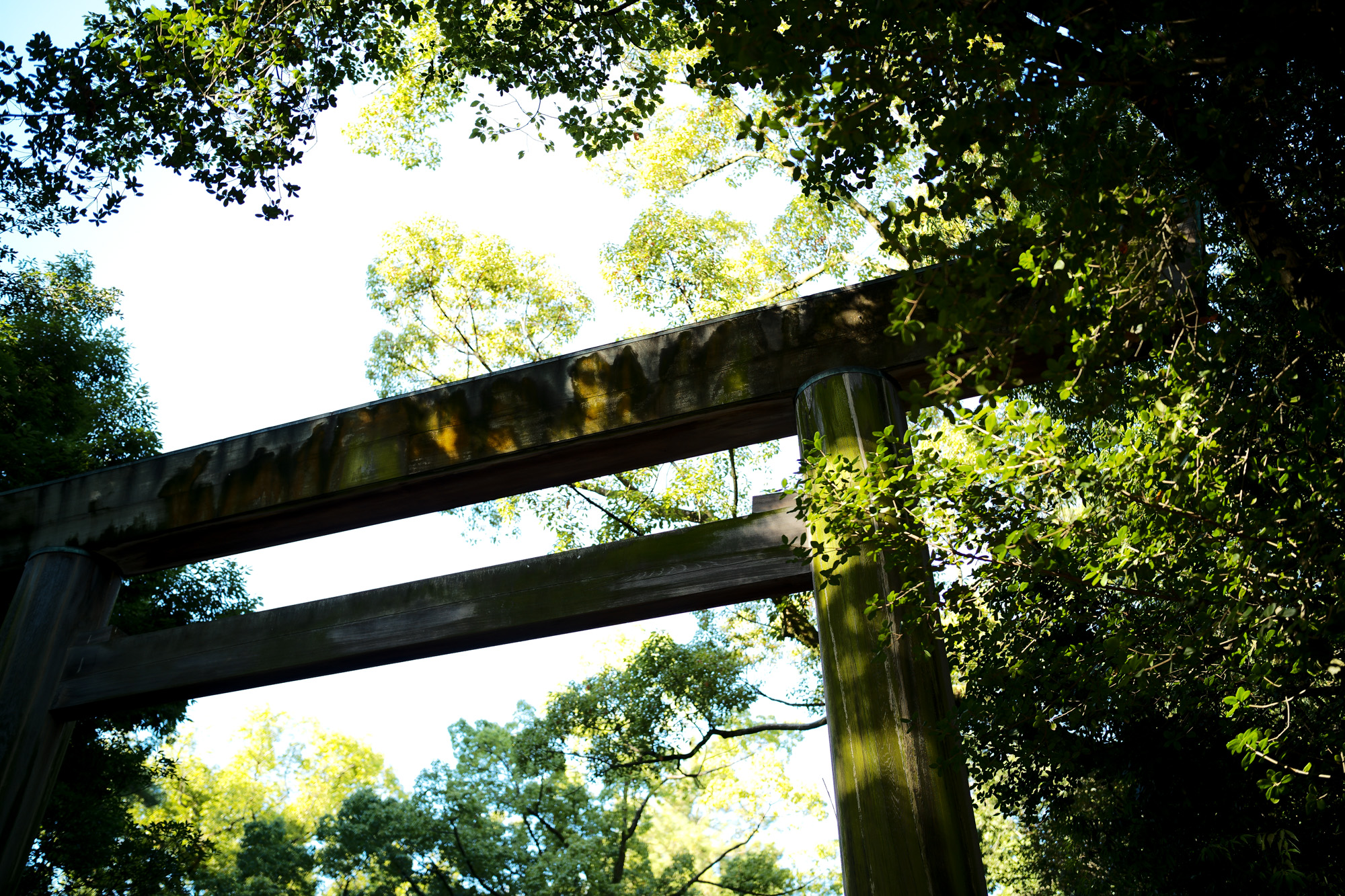 ATSUTA JINGU ///【LEICA M10 + APO-SUMMICRON-M f2/35mm ASPH.】 熱田神宮 ライカM10 アポズミクロン 2021 October.27 21年目スタート 21年目からは楽しくゆっくりすごしてゆけたらなと思ってます ジョーストラマー 「10.26(tue)」,「10.27(wed)」 お休みとなります Thames LONDON / HERBIE YAMAGUCHI 1983 テムズ川 ロンドン ハービー山口 1983年 イギリス England イングランド 写真家 写真 Not Banksy ノットバンクシー BANKSY バンクシー 我々の敵はあなたの敵じゃない   共に生きよう LEICA // APO-SUMMICRON-M f2/35mm ASPH. ライカ アポ・ズミクロンM f2/35mm ASPH. 愛知 名古屋 Alto e Diritto altoediritto アルトエデリット 世界最高峰のレンズと称賛され続けているライカMレンズにおいて、アポ・ズミクロンM f2/35mm ASPH.もそのMレンズの名にふさわしい優れた性能を誇ります。さらに、アポ・ズミクロンMシリーズのレンズとしてはもちろんのこと、これまでにない新しいタイプのMレンズとして目をひく存在でもあります。その特長は、Mレンズの中で最短で唯一ともいえる最短撮影距離と、きわめてシャープな描写力、美しいボケ味、そして開放F値F2という明るさにあります。ドイツならではの高度な製造技術が生み出したこのレンズを活用すれば、M型カメラはもとより、「ライカSL2」や「ライカSL2-S」でも、優れた描写力を活用してあらゆるシーンでの撮影が楽しめます。 光学系の設計に全撮影距離で高画質が得られるフローティングシステムを採用しているため、近距離撮影でも高い描写力を発揮しながら、Mレンズでは唯一となるわずか30cmという最短撮影距離を実現しています。フォーカスリングの回転角は300°ときわめて大きく、最短撮影距離が短くなっているにも関わらず緻密なピント合わせが可能です。開放値はF2.0という明るさで、クリエイティブな作品づくりも多彩に楽しめます。その時々の貴重な瞬間を、ライカらしい高品位な写真として記録することができます。イギリスの写真家ヒュー・ジョン氏は、ポートレート撮影でもアポ・ズミクロンM f2/35mm ASPH.が威力を発揮することを実感しました。「被写界深度がこれほど浅くなるとは驚きました。まつげの部分が驚くほどシャープに描写され、そこから徐々にボケていく。これは元のサイズのまま一部をトリミングしたものですが、85mm、いや、105mmのレンズで撮影したかのような仕上がりです！」「アポ・ズミクロンM f2/35mm ASPH.は、美しいボケ味でポートレート写真に新たな可能性をもたらすレンズですね。それに接写もこなせるので、まさにオールラウンドな1本だと言えます。色の再現性も絶妙で、シャープな解像感も素晴らしい。これさえあれば他のレンズはいらないと言ってもいいかもしれません！」2021年8月18日 Leica Nagoya ライカ松坂屋名古屋店 ライカ名古屋 460-8430 愛知県中区栄3-16-1 松坂屋名古屋店 北館3Ｆ 052-264-2840 入鹿池　いるかいけ 名古屋近郊のボート釣りのメッカ 愛知県犬山市の入鹿、飛騨木曽川国定公園内にある人工の農業用ため池 わかさぎ釣り・ブラックバス釣りなら入鹿池にある見晴茶屋へ https://inuyama.gr.jp/miharashi.html 犬山観光情報  ワカサギやブラックバス釣りのメッカとして知られる入鹿池 ブラックバス釣果 犬山名物 でんがく 五平餅 見晴茶屋 愛知県犬山市堤下60 蓬ぜん 犬山 犬山口 愛知 名古屋名物 ひつまぶし http://houzen.s-d.jp/index.html 犬山城 ミシュランガイド愛知2019 あつた蓬莱軒 22年間修行 店主 うなぎ ウナギ 鰻 愛知県犬山市上坂町4-168 0568-39-5077 犬山市観光協会 ミシュラン 博多串焼き 八乃助  焼き鳥 焼鳥 愛知 名古屋 とみやBLOG 富屋酒店 とみやBLOG ライカ LEICA LEICA M10-p ASC100 EDITION ライカM10-P ズミルックス 2021年7月27日 煖 MEI メイ イタリアン 国際センター 名古屋市西区那古野1-23-2 四間道糸重3 mei-nagoya.com shikemichi サンタキアラ Santa Chiara コース 18時一斉スタート きのこ キノコ 森内敬子　モーゼ十戒　ナナツモリピノノワール 2016 pinot noir ドメーヌタカヒコ 曽我貴彦 北海道余市郡余市町登町1395  ワイン名古屋市東区徳川町　天然キノコ MEI 那古野 ネコ 猫　にゃんこ 愛知 名古屋 Alto e Diritto altoediritto アルトエデリット カウンター7席 えごま　味噌カツ ミソカツ みそかつ とんかつ 東別院 〒460-0021 愛知県名古屋市中区平和2丁目16-15 052-323-0963  鶴舞線のガード下にあるトンカツの美味しいお店 みそかつ えごま　和食 美奈登 ミナト 老舗焼肉店 神宮前/焼肉 レトロ モクモク 味噌ダレ とんちゃん 熱田 ホルモン ヤキニク とんねるず ペレ きたなシュラン 懐かし 名鉄堀田駅から徒歩20分 瑞穂区 〒467-0879 愛知県名古屋市瑞穂区平郷町2-6-2 LA VAGABONDE ラ・ヴァガボンド フレンチ フランス料理 鶴舞 ラヴァカボンド chef ryousuke iwamoto 岩本龍介 予約のとれないフレンチ 名店 美食家 放浪者 旅人 愛知県名古屋市中区千代田2丁目14-24 キャノンピア鶴舞 1F 愛知 名古屋 Alto e Diritto altoediritto アルトエデリット 超絶フレンチ ドレスコード ディナー STEAK HOUSE Beef Okuma ステーキハウス ビーフオークマ 名古屋店 霜降り黒毛和牛 サーロイン フィレ シャトーブリアン 仙台牛 宮城牛 近江牛 150g 200g ハンバーグ 松坂屋 名古屋店 愛知　名古屋 Alto e Diritto altoediritto  GW休暇 Alto e Diritto アルトエデリット altoediritto 愛知 名古屋 ゴールデンウィーク 休暇 炭火焼肉 煖  だん ダン 愛知 名古屋 焼き肉  名駅店 瑞穂本店 Alto e Diritto altoediritto アルトエデリット 夢 希望 Dream FREEMASONRY フリーメーソン AUDEMARS PIGUET オーデマピゲ SEX PISTOLS セックスピストルズ JOY DIVISION ジョイディヴィジョン DAVID BOWIE デヴィットボーウィ THE VELVET UNDERGROUND ザベルベットアンダーグラウンド THE ROLLING STONES ザローリングストーンズ QUEEN クイーン LED ZEPPELIN レッドツェッペリン Alto e Diritto アルトエデリット 愛知 名古屋 Italy MOORER ムーレー / BELVEST ベルベスト / ISAIA イザイア / LUCA GRASSIA ルカグラシア / Alfredo Rifugio アルフレードリフージオ / LARDINI ラルディーニ / De Petrillo デ・ペトリロ / TAGLIATORE タリアトーレ / Sealup シーラップ / EMMETI エンメティ / CINQUANTA チンクアンタ / SILENCE サイレンス / MOLEC モレック / Finamore フィナモレ / ORIAN オリアン / AVINO Laboratorio Napoletano アヴィーノ / INCOTEX インコテックス / INCOTEX SLACKS インコテックススラックス / PT TORINO ピーティートリノ / BERWICH ベルウィッチ / VIGANO ヴィガーノ / RICHARD J.BROWN リチャードJブラウン / FEDELI フェデーリ / MANRICO CASHMERE マンリコカシミヤ / ZANONE ザノーネ / Cruciani クルチアーニ / GRAN SASSO グランサッソ / Settefili Cashmere セッテフィーリカシミア / Girelli Bruni ジレリブルーニ / ENZO BONAFE エンツォボナフェ / FERRANTE フェランテ / GHOUD ゴード / ACATE アカーテ / Cisei シセイ / STEFANO RICCI ステファノリッチ / ALPO アル France Georges de Patricia ジョルジュドパトリシア / SAINT LAURENTサンローラン / CELINE セリーヌ / AUBERCY オーベルシー / lucien pellat-finet ルシアンペラフィネ / NATIONAL STANDARD ナショナルスタンダー U.S.A. South Paradiso Leather サウスパラディソ / JACQUESMARIEMAGE ジャックマリーマージュ / MARC MARMEL マークマーメル / WHITE'S BOOTS ホワイツブーツ / JUTTA NEUMANN ユッタニューマン England GRENFELL グレンフェル / J&M DAVIDSON ジェイアンドエムディヴィッドソン / JAMES GROSE ジェームスグロース / JOHN SMEDLEY ジョンスメドレー / Johnstons ジョンストンズ Other FIXER フィクサー / cuervo bopoha クエルボ ヴァローナ / BACKLASH The Line バックラッシュ ザライン / RIVORA リヴォラ / C.QP / Order Suit オーダースーツ 愛知 名古屋 Alto e Diritto altoediritto アルトエデリット