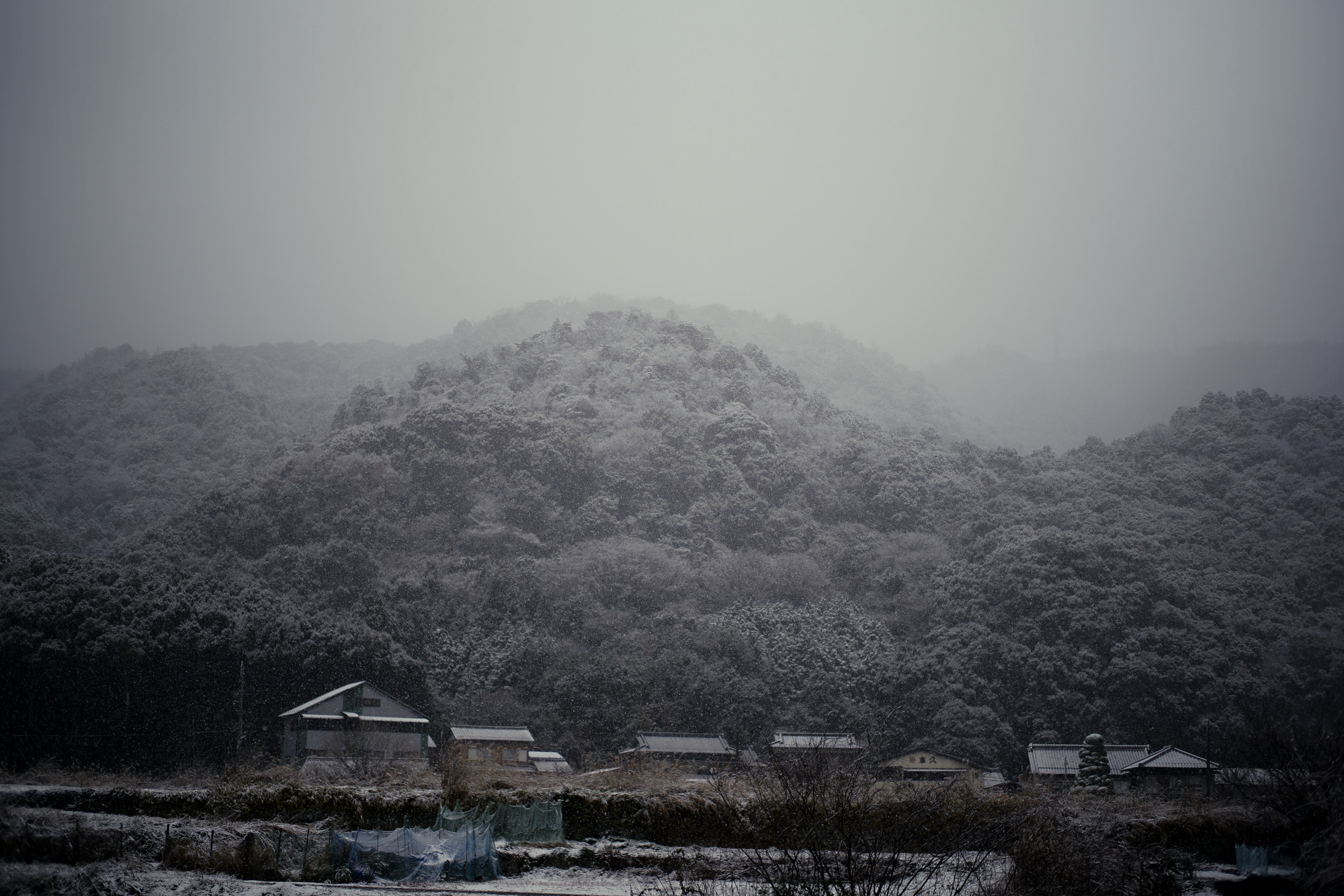 多度 多度峡 12/31 12/27,12/28 LEICA M10 2021 My favorite photo×6 2021.12.25 年末年始 休み Tout La Joie Ism トゥ・ラ・ジョア イズム 460-0024 愛知県名古屋市中区正木1丁目14−2 名古屋 レストラン最高峰「トゥ・ラ・ジョア」 須本シェフ プロデュース イノベーティブ・フュージョン トゥ・ラ・ジョア(Tout la Joie) 須本一信 スモトイッシン  Ｍのサラダ 四季の移ろいとともに料理が紡ぐ一期一会の物語――よろこびと笑顔にあふれたサロン・レストラン煉瓦とグリーンのコントラストが美しいファサードの、まるで芸術家のアトリエのような空間。ここで須本シェフが皿の上に紡ぐ物語は、人生のように一期一会。和やフレンチといった要素を織り交ぜ、食材の香りや食感、温度など五感を刺激する“須本料理”を楽しむことができます。唯一定番の「Ｍのサラダ」以外は、二度と出会えない料理ばかり。そのストーリーが披露される度に、このアトリエは新鮮な感動とよろこびに溢れるのです。ミシュラン ヴァガボンド 2021年12月14日 LA VAGABONDE ラ・ヴァガボンド フレンチ フランス料理 鶴舞 ラヴァカボンド chef ryousuke iwamoto 岩本龍介 予約のとれないフレンチ 名店 美食家 放浪者 旅人 愛知県名古屋市中区千代田2丁目14-24 キャノンピア鶴舞 1F 愛知 名古屋 Alto e Diritto altoediritto アルトエデリット 超絶フレンチ ドレスコード ディナー 中華風家庭料理 ふーみん (表参道/中華料理)　〒107-0062 東京都港区南青山５丁目７−１７ 03-3498-4466　表参道・青山エリアの南青山の中華料理店、中華風家庭料理 ふーみんのオフィシャルページです　CHACOあまみや　千駄ヶ谷の有名なステーキ屋「CHACOあめみや」 炭焼きステーキ 〒151-0051 東京都渋谷区千駄ケ谷１丁目７−１２ 03-3402-6066 http://chacoamemiya.com/sp/ １９７９年（昭和５４年）に開店してから当時のままの姿の店内は重みを感じる。　（お客様からは「昭和の香りがする・・」と言われます）真っ白だった壁も年月を感じさせる趣がある。店内に入るとまず目に入るのが、大きな炭焼きの竈。営業当時からの肉の旨みを沢山吸い込んでいるかも・・・。１９７９年（昭和５４年）に開店してから当時のままの姿の店内は重みを感じる。　（お客様からは「昭和の香りがする・・」と言われます）真っ白だった壁も年月を感じさせる趣がある。店内に入るとまず目に入るのが、大きな炭焼きの竈。営業当時からの肉の旨みを沢山吸い込んでいるかも・・・。炭で焼かれたステーキのお皿は鉄板ではなく鋳物です。牛肉は融点が高いため冷めやすい鉄板ではすぐに肉が固くなってしまいます。チャコのお皿は長い時間温かいので柔らかい牛肉をゆっくりご賞味いただけます。ワイン片手に語らいながら心安らぐ美味しい時間をお過ごしください。LA BISBOCCIA　ラ・ビスボッチャ/LA BISBOCCIA (広尾/イタリアン) RISTORANTE LA BISBOCCIA 〒150-0013 東京都渋谷区恵比寿2-36-13 広尾MTRビル1F "イタリア政府公認レストラン"として選ばれた本格的イタリアン。スタッフもイタリア人が中心で、イタリアにいる気分になれそうな空間。 https://labisboccia.tokyo/ 愛知 名古屋 Vineria Cassini ヴィネリア カッシーニ 東別院 イタリアン 愛知県名古屋市中区伊勢山1-9-13 伊勢山ハイツ1F #1F Iseyamahaitsu, 1-9-13 Iseyama Naka-ku, Nagoya-shi, Aichi-ken 460-0026, Japan イタリアを旅するような気分で楽しむ郷土料理と様々なワイン "Vineria(ヴィネリア)とは、イタリア語でVino(ワイン)＋Osteria(食堂)を足した造語です。 イタリアの郷土料理とその土地で造られた様々なワインをイタリアを旅するような気分でお楽しみいただけます。 「イタリア現地の味」を目指した素材を生かすストレートかつ伝統的なイタリア料理をアラカルトもしくはコースでお楽しみください。 約200種類のイタリアワインの中から、ソムリエがベストなワインを選びます。お料理やお好みに合わせたグラスワインやワインコースもご用意しております。"2021年10月15日 煖 MEI メイ イタリアン 国際センター 名古屋市西区那古野1-23-2 四間道糸重3 mei-nagoya.com shikemichi サンタキアラ Santa Chiara コース 18時一斉スタート きのこ キノコ 森内敬子　モーゼ十戒　ナナツモリピノノワール 2016 pinot noir ドメーヌタカヒコ 曽我貴彦 北海道余市郡余市町登町1395  ワイン名古屋市東区徳川町　天然キノコ MEI 那古野 ネコ 猫　にゃんこ 愛知 名古屋 Alto e Diritto altoediritto アルトエデリット カウンター7席 えごま　味噌カツ ミソカツ みそかつ とんかつ 東別院 〒460-0021 愛知県名古屋市中区平和2丁目16-15 052-323-0963  鶴舞線のガード下にあるトンカツの美味しいお店 みそかつ えごま　和食 美奈登 ミナト 老舗焼肉店 神宮前/焼肉 レトロ モクモク 味噌ダレ とんちゃん 熱田 ホルモン ヤキニク とんねるず ペレ きたなシュラン 懐かし 名鉄堀田駅から徒歩20分 瑞穂区 〒467-0879 愛知県名古屋市瑞穂区平郷町2-6-2 LA VAGABONDE ラ・ヴァガボンド フレンチ フランス料理 鶴舞 ラヴァカボンド chef ryousuke iwamoto 岩本龍介 予約のとれないフレンチ 名店 美食家 放浪者 旅人 愛知県名古屋市中区千代田2丁目14-24 キャノンピア鶴舞 1F 愛知 名古屋 Alto e Diritto altoediritto アルトエデリット 超絶フレンチ ドレスコード ディナー STEAK HOUSE Beef Okuma ステーキハウス ビーフオークマ 名古屋店 霜降り黒毛和牛 サーロイン フィレ シャトーブリアン 仙台牛 宮城牛 近江牛 150g 200g ハンバーグ 松坂屋 名古屋店 愛知　名古屋 Alto e Diritto altoediritto  GW休暇 Alto e Diritto アルトエデリット altoediritto 愛知 名古屋 ゴールデンウィーク 休暇 炭火焼肉 煖  だん ダン 愛知 名古屋 焼き肉  名駅店 瑞穂本店 Alto e Diritto altoediritto アルトエデリット 夢 希望 Dream FREEMASONRY フリーメーソン AUDEMARS PIGUET オーデマピゲ SEX PISTOLS セックスピストルズ JOY DIVISION ジョイディヴィジョン DAVID BOWIE デヴィットボーウィ THE VELVET UNDERGROUND ザベルベットアンダーグラウンド THE ROLLING STONES ザローリングストーンズ QUEEN クイーン LED ZEPPELIN レッドツェッペリン Alto e Diritto アルトエデリット 愛知 名古屋 Italy MOORER ムーレー / BELVEST ベルベスト / ISAIA イザイア / LUCA GRASSIA ルカグラシア / Alfredo Rifugio アルフレードリフージオ / LARDINI ラルディーニ / De Petrillo デ・ペトリロ / TAGLIATORE タリアトーレ / Sealup シーラップ / EMMETI エンメティ / CINQUANTA チンクアンタ / SILENCE サイレンス / MOLEC モレック / Finamore フィナモレ / ORIAN オリアン / AVINO Laboratorio Napoletano アヴィーノ / INCOTEX インコテックス / INCOTEX SLACKS インコテックススラックス / PT TORINO ピーティートリノ / BERWICH ベルウィッチ / VIGANO ヴィガーノ / RICHARD J.BROWN リチャードJブラウン / FEDELI フェデーリ / MANRICO CASHMERE マンリコカシミヤ / ZANONE ザノーネ / Cruciani クルチアーニ / GRAN SASSO グランサッソ / Settefili Cashmere セッテフィーリカシミア / Girelli Bruni ジレリブルーニ / ENZO BONAFE エンツォボナフェ / FERRANTE フェランテ / GHOUD ゴード / ACATE アカーテ / Cisei シセイ / STEFANO RICCI ステファノリッチ / ALPO アル France Georges de Patricia ジョルジュドパトリシア / SAINT LAURENTサンローラン / CELINE セリーヌ / AUBERCY オーベルシー / lucien pellat-finet ルシアンペラフィネ / NATIONAL STANDARD ナショナルスタンダー U.S.A. South Paradiso Leather サウスパラディソ / JACQUESMARIEMAGE ジャックマリーマージュ / MARC MARMEL マークマーメル / WHITE'S BOOTS ホワイツブーツ / JUTTA NEUMANN ユッタニューマン England GRENFELL グレンフェル / J&M DAVIDSON ジェイアンドエムディヴィッドソン / JAMES GROSE ジェームスグロース / JOHN SMEDLEY ジョンスメドレー / Johnstons ジョンストンズ Other FIXER フィクサー / cuervo bopoha クエルボ ヴァローナ / BACKLASH The Line バックラッシュ ザライン / RIVORA リヴォラ / C.QP / Order Suit オーダースーツ 愛知 名古屋 Alto e Diritto altoediritto アルトエデリット