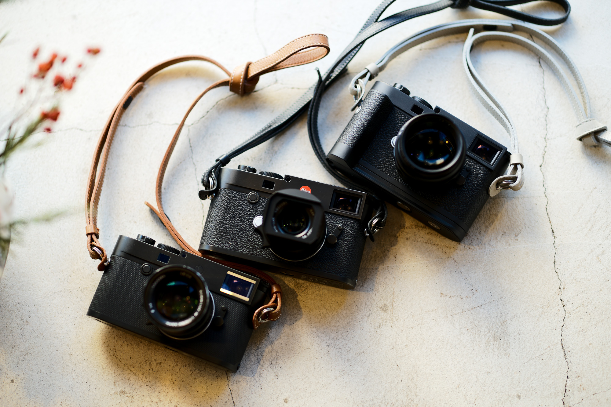 LEICA M10-P ASC100 Edition × SUMMILUX-M 50 mm f/1.4 ASPH. // LEICA M10 × APO-SUMMICRON-M f2/35mm ASPH. // LEICA M11 × NOCTILUX-M 50 f/1.2 ASPH. リミテッドエディション ズミルックス 50ミリ アポズミクロン 35ミリ ノクティルックス 50ミリ 愛知 名古屋 Alto e Diritto altoediritto アルトエデリット 写真 ライカ 限定モデル レザーストラップ グレー タン ブラック