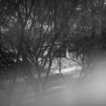 LEICA M11のイメージ