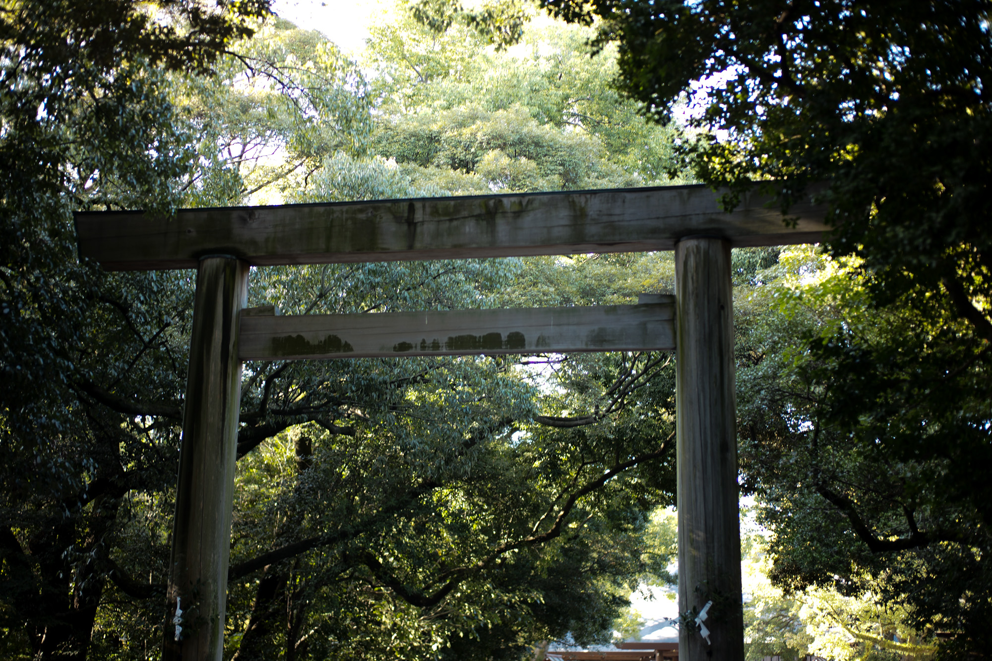 ATSUTA JINGU ///【LEICA M10-P ASC 100 Edition + SUMMILUX-M F1.4/50mm ASPH】2022年3月15日 火曜 熱田神宮 ライカM10 アポズミクロン 2021 October.27 21年目スタート 21年目からは楽しくゆっくりすごしてゆけたらなと思ってます ジョーストラマー 「10.26(tue)」,「10.27(wed)」 お休みとなります Thames LONDON / HERBIE YAMAGUCHI 1983 テムズ川 ロンドン ハービー山口 1983年 イギリス England イングランド 写真家 写真 Not Banksy ノットバンクシー BANKSY バンクシー 我々の敵はあなたの敵じゃない   共に生きよう LEICA // APO-SUMMICRON-M f2/35mm ASPH. ライカ アポ・ズミクロンM f2/35mm ASPH. 愛知 名古屋 Alto e Diritto altoediritto アルトエデリット 世界最高峰のレンズと称賛され続けているライカMレンズにおいて、アポ・ズミクロンM f2/35mm ASPH.もそのMレンズの名にふさわしい優れた性能を誇ります。さらに、アポ・ズミクロンMシリーズのレンズとしてはもちろんのこと、これまでにない新しいタイプのMレンズとして目をひく存在でもあります。その特長は、Mレンズの中で最短で唯一ともいえる最短撮影距離と、きわめてシャープな描写力、美しいボケ味、そして開放F値F2という明るさにあります。ドイツならではの高度な製造技術が生み出したこのレンズを活用すれば、M型カメラはもとより、「ライカSL2」や「ライカSL2-S」でも、優れた描写力を活用してあらゆるシーンでの撮影が楽しめます。 光学系の設計に全撮影距離で高画質が得られるフローティングシステムを採用しているため、近距離撮影でも高い描写力を発揮しながら、Mレンズでは唯一となるわずか30cmという最短撮影距離を実現しています。フォーカスリングの回転角は300°ときわめて大きく、最短撮影距離が短くなっているにも関わらず緻密なピント合わせが可能です。開放値はF2.0という明るさで、クリエイティブな作品づくりも多彩に楽しめます。その時々の貴重な瞬間を、ライカらしい高品位な写真として記録することができます。イギリスの写真家ヒュー・ジョン氏は、ポートレート撮影でもアポ・ズミクロンM f2/35mm ASPH.が威力を発揮することを実感しました。「被写界深度がこれほど浅くなるとは驚きました。まつげの部分が驚くほどシャープに描写され、そこから徐々にボケていく。これは元のサイズのまま一部をトリミングしたものですが、85mm、いや、105mmのレンズで撮影したかのような仕上がりです！」「アポ・ズミクロンM f2/35mm ASPH.は、美しいボケ味でポートレート写真に新たな可能性をもたらすレンズですね。それに接写もこなせるので、まさにオールラウンドな1本だと言えます。色の再現性も絶妙で、シャープな解像感も素晴らしい。これさえあれば他のレンズはいらないと言ってもいいかもしれません！」2021年8月18日 Leica Nagoya ライカ松坂屋名古屋店 ライカ名古屋 460-8430 愛知県中区栄3-16-1 松坂屋名古屋店 北館3Ｆ 052-264-2840 入鹿池　いるかいけ 名古屋近郊のボート釣りのメッカ 愛知県犬山市の入鹿、飛騨木曽川国定公園内にある人工の農業用ため池 わかさぎ釣り・ブラックバス釣りなら入鹿池にある見晴茶屋へ https://inuyama.gr.jp/miharashi.html 犬山観光情報  ワカサギやブラックバス釣りのメッカとして知られる入鹿池 ブラックバス釣果 犬山名物 でんがく 五平餅 見晴茶屋 愛知県犬山市堤下60 蓬ぜん 犬山 犬山口 愛知 名古屋名物 ひつまぶし http://houzen.s-d.jp/index.html 犬山城 ミシュランガイド愛知2019 あつた蓬莱軒 22年間修行 店主 うなぎ ウナギ 鰻 愛知県犬山市上坂町4-168 0568-39-5077 犬山市観光協会 ミシュラン 博多串焼き 八乃助  焼き鳥 焼鳥 愛知 名古屋 とみやBLOG 富屋酒店 とみやBLOG ライカ LEICA LEICA M10-p ASC100 EDITION ライカM10-P ズミルックス 2021年7月27日 煖 MEI メイ イタリアン 国際センター 名古屋市西区那古野1-23-2 四間道糸重3 mei-nagoya.com shikemichi サンタキアラ Santa Chiara コース 18時一斉スタート きのこ キノコ 森内敬子　モーゼ十戒　ナナツモリピノノワール 2016 pinot noir ドメーヌタカヒコ 曽我貴彦 北海道余市郡余市町登町1395  ワイン名古屋市東区徳川町　天然キノコ MEI 那古野 ネコ 猫　にゃんこ 愛知 名古屋 Alto e Diritto altoediritto アルトエデリット カウンター7席 えごま　味噌カツ ミソカツ みそかつ とんかつ 東別院 〒460-0021 愛知県名古屋市中区平和2丁目16-15 052-323-0963  鶴舞線のガード下にあるトンカツの美味しいお店 みそかつ えごま　和食 美奈登 ミナト 老舗焼肉店 神宮前/焼肉 レトロ モクモク 味噌ダレ とんちゃん 熱田 ホルモン ヤキニク とんねるず ペレ きたなシュラン 懐かし 名鉄堀田駅から徒歩20分 瑞穂区 〒467-0879 愛知県名古屋市瑞穂区平郷町2-6-2 LA VAGABONDE ラ・ヴァガボンド フレンチ フランス料理 鶴舞 ラヴァカボンド chef ryousuke iwamoto 岩本龍介 予約のとれないフレンチ 名店 美食家 放浪者 旅人 愛知県名古屋市中区千代田2丁目14-24 キャノンピア鶴舞 1F 愛知 名古屋 Alto e Diritto altoediritto アルトエデリット 超絶フレンチ ドレスコード ディナー STEAK HOUSE Beef Okuma ステーキハウス ビーフオークマ 名古屋店 霜降り黒毛和牛 サーロイン フィレ シャトーブリアン 仙台牛 宮城牛 近江牛 150g 200g ハンバーグ 松坂屋 名古屋店 愛知　名古屋 Alto e Diritto altoediritto  GW休暇 Alto e Diritto アルトエデリット altoediritto 愛知 名古屋 ゴールデンウィーク 休暇 炭火焼肉 煖  だん ダン 愛知 名古屋 焼き肉  名駅店 瑞穂本店 Alto e Diritto altoediritto アルトエデリット 夢 希望 Dream FREEMASONRY フリーメーソン AUDEMARS PIGUET オーデマピゲ SEX PISTOLS セックスピストルズ JOY DIVISION ジョイディヴィジョン DAVID BOWIE デヴィットボーウィ THE VELVET UNDERGROUND ザベルベットアンダーグラウンド THE ROLLING STONES ザローリングストーンズ QUEEN クイーン LED ZEPPELIN レッドツェッペリン Alto e Diritto アルトエデリット 愛知 名古屋 Italy MOORER ムーレー / BELVEST ベルベスト / ISAIA イザイア / LUCA GRASSIA ルカグラシア / Alfredo Rifugio アルフレードリフージオ / LARDINI ラルディーニ / De Petrillo デ・ペトリロ / TAGLIATORE タリアトーレ / Sealup シーラップ / EMMETI エンメティ / CINQUANTA チンクアンタ / SILENCE サイレンス / MOLEC モレック / Finamore フィナモレ / ORIAN オリアン / AVINO Laboratorio Napoletano アヴィーノ / INCOTEX インコテックス / INCOTEX SLACKS インコテックススラックス / PT TORINO ピーティートリノ / BERWICH ベルウィッチ / VIGANO ヴィガーノ / RICHARD J.BROWN リチャードJブラウン / FEDELI フェデーリ / MANRICO CASHMERE マンリコカシミヤ / ZANONE ザノーネ / Cruciani クルチアーニ / GRAN SASSO グランサッソ / Settefili Cashmere セッテフィーリカシミア / Girelli Bruni ジレリブルーニ / ENZO BONAFE エンツォボナフェ / FERRANTE フェランテ / GHOUD ゴード / ACATE アカーテ / Cisei シセイ / STEFANO RICCI ステファノリッチ / ALPO アル France Georges de Patricia ジョルジュドパトリシア / SAINT LAURENTサンローラン / CELINE セリーヌ / AUBERCY オーベルシー / lucien pellat-finet ルシアンペラフィネ / NATIONAL STANDARD ナショナルスタンダー U.S.A. South Paradiso Leather サウスパラディソ / JACQUESMARIEMAGE ジャックマリーマージュ / MARC MARMEL マークマーメル / WHITE'S BOOTS ホワイツブーツ / JUTTA NEUMANN ユッタニューマン England GRENFELL グレンフェル / J&M DAVIDSON ジェイアンドエムディヴィッドソン / JAMES GROSE ジェームスグロース / JOHN SMEDLEY ジョンスメドレー / Johnstons ジョンストンズ Other FIXER フィクサー / cuervo bopoha クエルボ ヴァローナ / BACKLASH The Line バックラッシュ ザライン / RIVORA リヴォラ / C.QP / Order Suit オーダースーツ 愛知 名古屋 Alto e Diritto altoediritto アルトエデリット