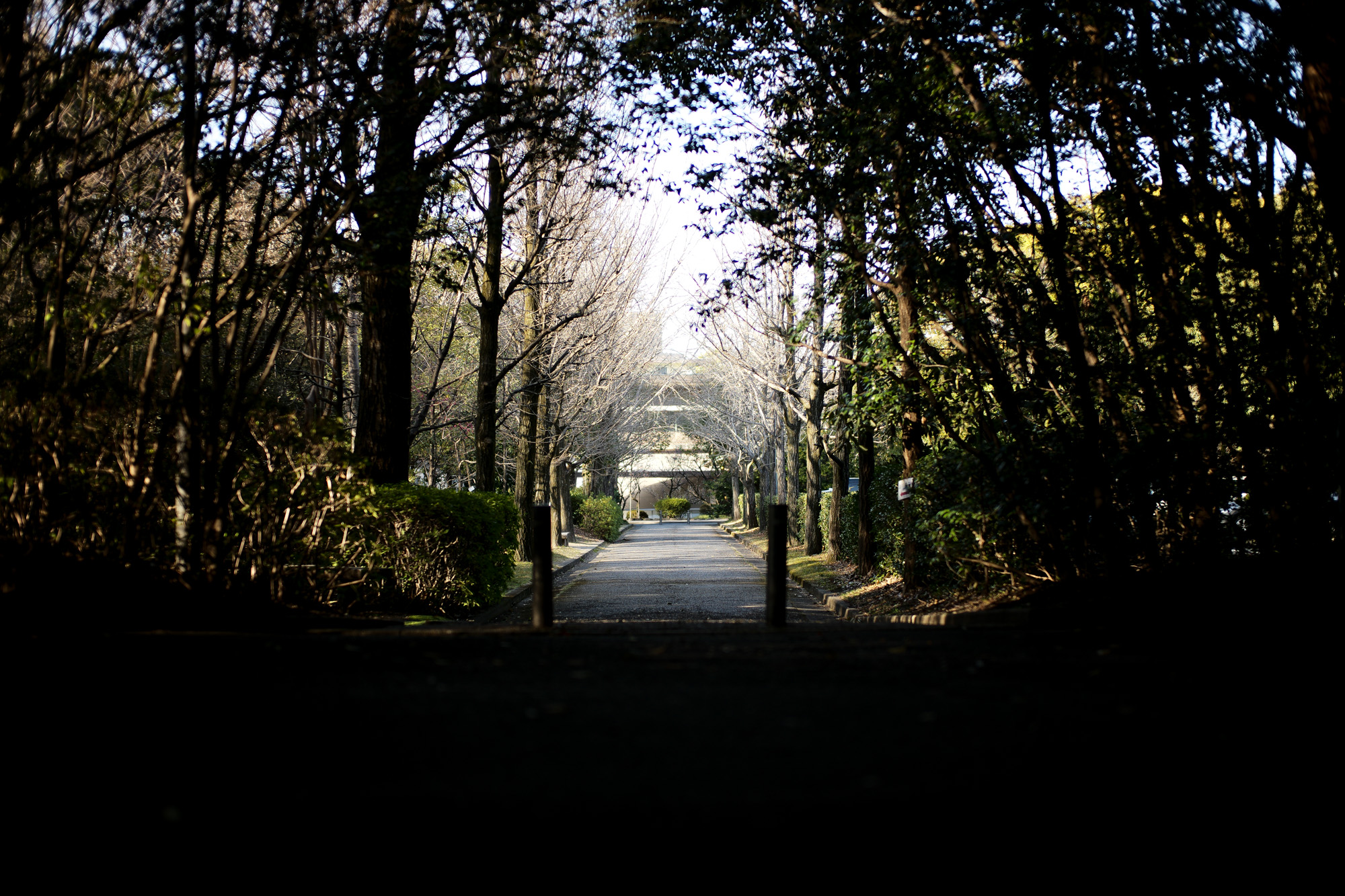 ATSUTA JINGU ///【LEICA M10-P ASC 100 Edition + SUMMILUX-M F1.4/50mm ASPH】2022年3月15日 火曜 熱田神宮 ライカM10 アポズミクロン 2021 October.27 21年目スタート 21年目からは楽しくゆっくりすごしてゆけたらなと思ってます ジョーストラマー 「10.26(tue)」,「10.27(wed)」 お休みとなります Thames LONDON / HERBIE YAMAGUCHI 1983 テムズ川 ロンドン ハービー山口 1983年 イギリス England イングランド 写真家 写真 Not Banksy ノットバンクシー BANKSY バンクシー 我々の敵はあなたの敵じゃない   共に生きよう LEICA // APO-SUMMICRON-M f2/35mm ASPH. ライカ アポ・ズミクロンM f2/35mm ASPH. 愛知 名古屋 Alto e Diritto altoediritto アルトエデリット 世界最高峰のレンズと称賛され続けているライカMレンズにおいて、アポ・ズミクロンM f2/35mm ASPH.もそのMレンズの名にふさわしい優れた性能を誇ります。さらに、アポ・ズミクロンMシリーズのレンズとしてはもちろんのこと、これまでにない新しいタイプのMレンズとして目をひく存在でもあります。その特長は、Mレンズの中で最短で唯一ともいえる最短撮影距離と、きわめてシャープな描写力、美しいボケ味、そして開放F値F2という明るさにあります。ドイツならではの高度な製造技術が生み出したこのレンズを活用すれば、M型カメラはもとより、「ライカSL2」や「ライカSL2-S」でも、優れた描写力を活用してあらゆるシーンでの撮影が楽しめます。 光学系の設計に全撮影距離で高画質が得られるフローティングシステムを採用しているため、近距離撮影でも高い描写力を発揮しながら、Mレンズでは唯一となるわずか30cmという最短撮影距離を実現しています。フォーカスリングの回転角は300°ときわめて大きく、最短撮影距離が短くなっているにも関わらず緻密なピント合わせが可能です。開放値はF2.0という明るさで、クリエイティブな作品づくりも多彩に楽しめます。その時々の貴重な瞬間を、ライカらしい高品位な写真として記録することができます。イギリスの写真家ヒュー・ジョン氏は、ポートレート撮影でもアポ・ズミクロンM f2/35mm ASPH.が威力を発揮することを実感しました。「被写界深度がこれほど浅くなるとは驚きました。まつげの部分が驚くほどシャープに描写され、そこから徐々にボケていく。これは元のサイズのまま一部をトリミングしたものですが、85mm、いや、105mmのレンズで撮影したかのような仕上がりです！」「アポ・ズミクロンM f2/35mm ASPH.は、美しいボケ味でポートレート写真に新たな可能性をもたらすレンズですね。それに接写もこなせるので、まさにオールラウンドな1本だと言えます。色の再現性も絶妙で、シャープな解像感も素晴らしい。これさえあれば他のレンズはいらないと言ってもいいかもしれません！」2021年8月18日 Leica Nagoya ライカ松坂屋名古屋店 ライカ名古屋 460-8430 愛知県中区栄3-16-1 松坂屋名古屋店 北館3Ｆ 052-264-2840 入鹿池　いるかいけ 名古屋近郊のボート釣りのメッカ 愛知県犬山市の入鹿、飛騨木曽川国定公園内にある人工の農業用ため池 わかさぎ釣り・ブラックバス釣りなら入鹿池にある見晴茶屋へ https://inuyama.gr.jp/miharashi.html 犬山観光情報  ワカサギやブラックバス釣りのメッカとして知られる入鹿池 ブラックバス釣果 犬山名物 でんがく 五平餅 見晴茶屋 愛知県犬山市堤下60 蓬ぜん 犬山 犬山口 愛知 名古屋名物 ひつまぶし http://houzen.s-d.jp/index.html 犬山城 ミシュランガイド愛知2019 あつた蓬莱軒 22年間修行 店主 うなぎ ウナギ 鰻 愛知県犬山市上坂町4-168 0568-39-5077 犬山市観光協会 ミシュラン 博多串焼き 八乃助  焼き鳥 焼鳥 愛知 名古屋 とみやBLOG 富屋酒店 とみやBLOG ライカ LEICA LEICA M10-p ASC100 EDITION ライカM10-P ズミルックス 2021年7月27日 煖 MEI メイ イタリアン 国際センター 名古屋市西区那古野1-23-2 四間道糸重3 mei-nagoya.com shikemichi サンタキアラ Santa Chiara コース 18時一斉スタート きのこ キノコ 森内敬子　モーゼ十戒　ナナツモリピノノワール 2016 pinot noir ドメーヌタカヒコ 曽我貴彦 北海道余市郡余市町登町1395  ワイン名古屋市東区徳川町　天然キノコ MEI 那古野 ネコ 猫　にゃんこ 愛知 名古屋 Alto e Diritto altoediritto アルトエデリット カウンター7席 えごま　味噌カツ ミソカツ みそかつ とんかつ 東別院 〒460-0021 愛知県名古屋市中区平和2丁目16-15 052-323-0963  鶴舞線のガード下にあるトンカツの美味しいお店 みそかつ えごま　和食 美奈登 ミナト 老舗焼肉店 神宮前/焼肉 レトロ モクモク 味噌ダレ とんちゃん 熱田 ホルモン ヤキニク とんねるず ペレ きたなシュラン 懐かし 名鉄堀田駅から徒歩20分 瑞穂区 〒467-0879 愛知県名古屋市瑞穂区平郷町2-6-2 LA VAGABONDE ラ・ヴァガボンド フレンチ フランス料理 鶴舞 ラヴァカボンド chef ryousuke iwamoto 岩本龍介 予約のとれないフレンチ 名店 美食家 放浪者 旅人 愛知県名古屋市中区千代田2丁目14-24 キャノンピア鶴舞 1F 愛知 名古屋 Alto e Diritto altoediritto アルトエデリット 超絶フレンチ ドレスコード ディナー STEAK HOUSE Beef Okuma ステーキハウス ビーフオークマ 名古屋店 霜降り黒毛和牛 サーロイン フィレ シャトーブリアン 仙台牛 宮城牛 近江牛 150g 200g ハンバーグ 松坂屋 名古屋店 愛知　名古屋 Alto e Diritto altoediritto  GW休暇 Alto e Diritto アルトエデリット altoediritto 愛知 名古屋 ゴールデンウィーク 休暇 炭火焼肉 煖  だん ダン 愛知 名古屋 焼き肉  名駅店 瑞穂本店 Alto e Diritto altoediritto アルトエデリット 夢 希望 Dream FREEMASONRY フリーメーソン AUDEMARS PIGUET オーデマピゲ SEX PISTOLS セックスピストルズ JOY DIVISION ジョイディヴィジョン DAVID BOWIE デヴィットボーウィ THE VELVET UNDERGROUND ザベルベットアンダーグラウンド THE ROLLING STONES ザローリングストーンズ QUEEN クイーン LED ZEPPELIN レッドツェッペリン Alto e Diritto アルトエデリット 愛知 名古屋 Italy MOORER ムーレー / BELVEST ベルベスト / ISAIA イザイア / LUCA GRASSIA ルカグラシア / Alfredo Rifugio アルフレードリフージオ / LARDINI ラルディーニ / De Petrillo デ・ペトリロ / TAGLIATORE タリアトーレ / Sealup シーラップ / EMMETI エンメティ / CINQUANTA チンクアンタ / SILENCE サイレンス / MOLEC モレック / Finamore フィナモレ / ORIAN オリアン / AVINO Laboratorio Napoletano アヴィーノ / INCOTEX インコテックス / INCOTEX SLACKS インコテックススラックス / PT TORINO ピーティートリノ / BERWICH ベルウィッチ / VIGANO ヴィガーノ / RICHARD J.BROWN リチャードJブラウン / FEDELI フェデーリ / MANRICO CASHMERE マンリコカシミヤ / ZANONE ザノーネ / Cruciani クルチアーニ / GRAN SASSO グランサッソ / Settefili Cashmere セッテフィーリカシミア / Girelli Bruni ジレリブルーニ / ENZO BONAFE エンツォボナフェ / FERRANTE フェランテ / GHOUD ゴード / ACATE アカーテ / Cisei シセイ / STEFANO RICCI ステファノリッチ / ALPO アル France Georges de Patricia ジョルジュドパトリシア / SAINT LAURENTサンローラン / CELINE セリーヌ / AUBERCY オーベルシー / lucien pellat-finet ルシアンペラフィネ / NATIONAL STANDARD ナショナルスタンダー U.S.A. South Paradiso Leather サウスパラディソ / JACQUESMARIEMAGE ジャックマリーマージュ / MARC MARMEL マークマーメル / WHITE'S BOOTS ホワイツブーツ / JUTTA NEUMANN ユッタニューマン England GRENFELL グレンフェル / J&M DAVIDSON ジェイアンドエムディヴィッドソン / JAMES GROSE ジェームスグロース / JOHN SMEDLEY ジョンスメドレー / Johnstons ジョンストンズ Other FIXER フィクサー / cuervo bopoha クエルボ ヴァローナ / BACKLASH The Line バックラッシュ ザライン / RIVORA リヴォラ / C.QP / Order Suit オーダースーツ 愛知 名古屋 Alto e Diritto altoediritto アルトエデリット