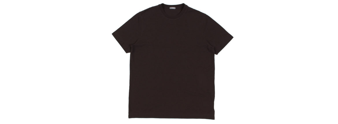 ZANONE(ザノーネ) Crew Neck T-shirt (クルーネックTシャツ) ice cotton アイスコットン Tシャツ BROWN (ブラウン・Z1094) MADE IN ITALY(イタリア製) 2022春夏新作 【入荷しました】 【フリー分発売開始】愛知 名古屋 Alto e Diritto altoediritto アルトエデリット