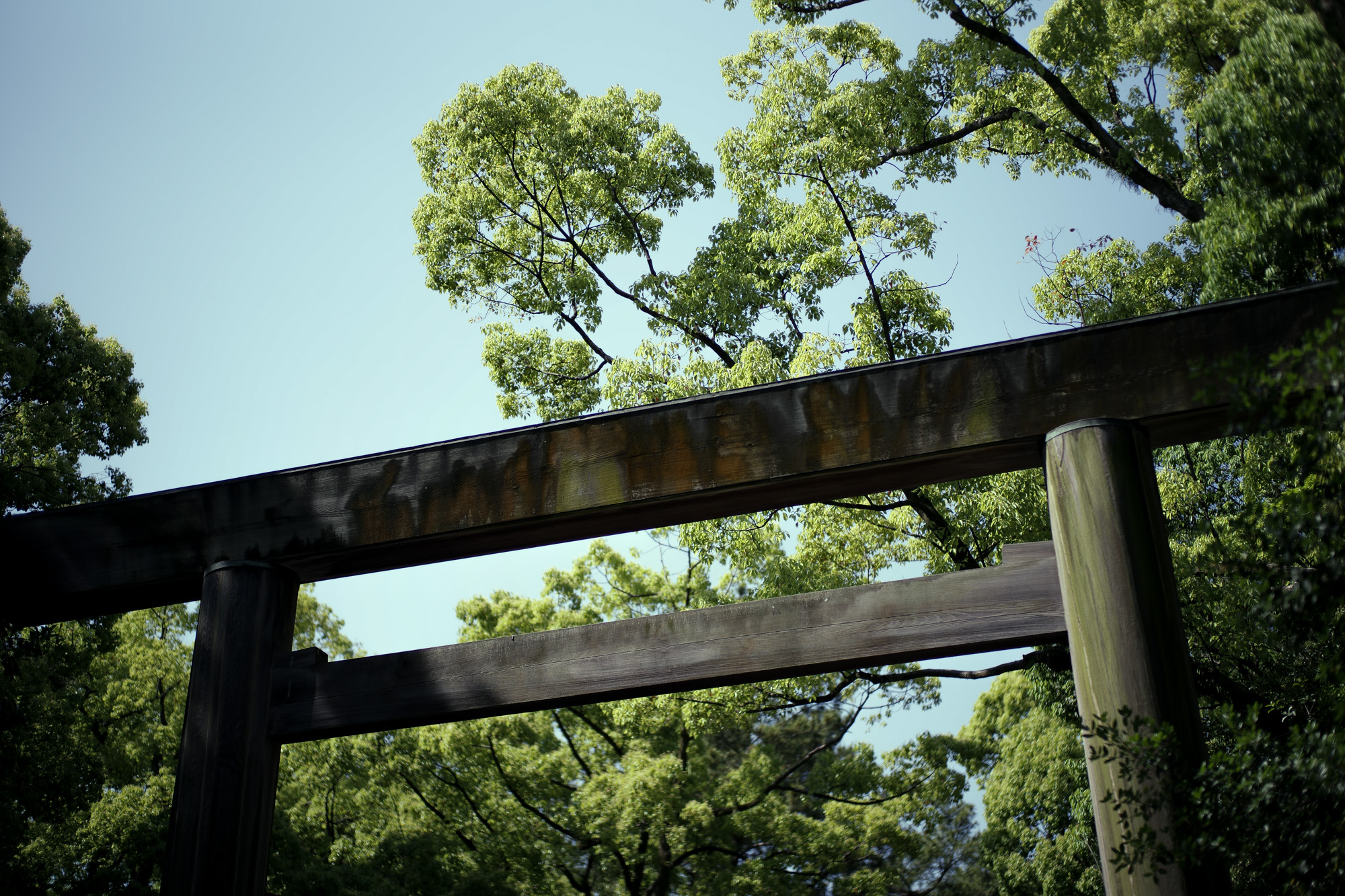 ATSUTA JINGU ///【LEICA M10-P ASC 100 Edition + SUMMILUX-M F1.4/50mm ASPH】2022年5月11日 火曜 熱田神宮 Wolfgang's Steakhouse Signature Aoyama WOLFGANS'S STEAKHOUSE ウルフギャング ステーキハウス Tボーンステーキ  東京都 港区 北青山 2-5-8　青山OM-SQUARE1F 03-5843-0822 100席 (ダイニング58席、個室A：10席、個室B：8席、バー＆ウイスキーラウンジ24席) THE RITZ-CARLTON TOKYO "CLUB LEVEL" // 2022.5.06-5.08 ザ・リッツ・カールトン クラブ®レベル ザ・リッツ・カールトンの最高峰のおもてなしを、最上級の空間と設備でご体験いただける「ザ・リッツ・カールトン クラブレベル」。そのおもてなしの中心となるクラブラウンジは、レジデンスをテーマにしたラウンジの概念を超えた空間です。 レセプション、ガーデンテラス、ダイニングルーム、ライブラリーラウンジの4つの エリアに分かれた「クラブラウンジ」では、時間帯によって多彩な趣きでお客様をお迎えいたしております。お客様のクラブレベルのステイをより快適なものにするクラブコンシェルジュは、お客様一人ひとりをお名前でお呼びし、それぞれのお好みに合わせたパーソナルなサービスをお届けいたします。お誕生日や記念日、プロポーズなど特別な日のご滞在には、ご要望に合わせて心に残るひとときを演出するプランをご提案します。 ザ・ロビーラウンジ ラウンジ ホテルの45階、お客様をお迎えするメインロビーに位置する「ザ・ロビーラウンジ」は、お待ち合わせや語らいの時間を特別なものにします。毎週金～日曜日の15時～16時20分の間、「ハープ＆アフタヌーンティー」を提供しております。確かな技術を有するハープ奏者が奏でる美しい音色を聴きながらペストリーシェフによるアフタヌーンティーをお召し上がり頂けます。夕暮れへと移ろいゆく美しい東京の景色と共に、ゆったりとした午後のひとときをお楽しみ下さい45階の開放的な空間で楽しむ伝統的なアフタヌーンティー ザ・リッツ・カールトン東京の45階、お客様をお迎えするメインロビーに位置する「ザ・ロビーラウンジ」は、お待ち合わせや語らいの時間を特別なものにします。 心地よいピアノの生演奏が流れるラグジュアリーな空間で、モダンなアフタヌーンティーセットや厳選された世界各地の茶葉によるティーセレクションと共に、優雅なひと時をお楽しみ下さい。東京の中心に位置する六本木というロケーションに相応しい、西洋と東洋のモダンな融合を表現したインテリアには、オリエンタルな紫、赤、モノトーンを基調とした配色や、和をモチーフとしたファブリックなどを用い、全体として和洋の調和を感じさせる空間となっており、時間の移ろいに合わせた生演奏が彩りを添えます。ISAIA Napoli TOKYO MIDTOWN イザイア ナポリ 東京ミッドタウン スーツ、ジャケット、シャツ、パンツ、シューズ、ネクタイ、チーフ、カバン 愛知 名古屋 Alto e Diritto altoediritto アルトエデリット 20224月19日 ミシュラン ヴァガボンド 2021年12月14日 LA VAGABONDE ラ・ヴァガボンド フレンチ フランス料理 鶴舞 ラヴァカボンド chef ryousuke iwamoto 岩本龍介 予約のとれないフレンチ 名店 美食家 放浪者 旅人 愛知県名古屋市中区千代田2丁目14-24 キャノンピア鶴舞 1F 愛知 名古屋 Alto e Diritto altoediritto アルトエデリット 超絶フレンチ ドレスコード ディナー 中華風家庭料理 ふーみん (表参道/中華料理)　〒107-0062 東京都港区南青山５丁目７−１７ 03-3498-4466　表参道・青山エリアの南青山の中華料理店、中華風家庭料理 ふーみんのオフィシャルページです　CHACOあまみや　千駄ヶ谷の有名なステーキ屋「CHACOあめみや」 炭焼きステーキ 〒151-0051 東京都渋谷区千駄ケ谷１丁目７−１２ 03-3402-6066 http://chacoamemiya.com/sp/ １９７９年（昭和５４年）に開店してから当時のままの姿の店内は重みを感じる。　（お客様からは「昭和の香りがする・・」と言われます）真っ白だった壁も年月を感じさせる趣がある。店内に入るとまず目に入るのが、大きな炭焼きの竈。営業当時からの肉の旨みを沢山吸い込んでいるかも・・・。１９７９年（昭和５４年）に開店してから当時のままの姿の店内は重みを感じる。　（お客様からは「昭和の香りがする・・」と言われます）真っ白だった壁も年月を感じさせる趣がある。店内に入るとまず目に入るのが、大きな炭焼きの竈。営業当時からの肉の旨みを沢山吸い込んでいるかも・・・。炭で焼かれたステーキのお皿は鉄板ではなく鋳物です。牛肉は融点が高いため冷めやすい鉄板ではすぐに肉が固くなってしまいます。チャコのお皿は長い時間温かいので柔らかい牛肉をゆっくりご賞味いただけます。ワイン片手に語らいながら心安らぐ美味しい時間をお過ごしください。LA BISBOCCIA　ラ・ビスボッチャ/LA BISBOCCIA (広尾/イタリアン) RISTORANTE LA BISBOCCIA 〒150-0013 東京都渋谷区恵比寿2-36-13 広尾MTRビル1F "イタリア政府公認レストラン"として選ばれた本格的イタリアン。スタッフもイタリア人が中心で、イタリアにいる気分になれそうな空間。 https://labisboccia.tokyo/ 愛知 名古屋 Vineria Cassini ヴィネリア カッシーニ 東別院 イタリアン 愛知県名古屋市中区伊勢山1-9-13 伊勢山ハイツ1F #1F Iseyamahaitsu, 1-9-13 Iseyama Naka-ku, Nagoya-shi, Aichi-ken 460-0026, Japan イタリアを旅するような気分で楽しむ郷土料理と様々なワイン "Vineria(ヴィネリア)とは、イタリア語でVino(ワイン)＋Osteria(食堂)を足した造語です。 イタリアの郷土料理とその土地で造られた様々なワインをイタリアを旅するような気分でお楽しみいただけます。 「イタリア現地の味」を目指した素材を生かすストレートかつ伝統的なイタリア料理をアラカルトもしくはコースでお楽しみください。 約200種類のイタリアワインの中から、ソムリエがベストなワインを選びます。お料理やお好みに合わせたグラスワインやワインコースもご用意しております。"2021年10月15日 煖 MEI メイ イタリアン 国際センター 名古屋市西区那古野1-23-2 四間道糸重3 mei-nagoya.com shikemichi サンタキアラ Santa Chiara コース 18時一斉スタート きのこ キノコ 森内敬子　モーゼ十戒　ナナツモリピノノワール 2016 pinot noir ドメーヌタカヒコ 曽我貴彦 北海道余市郡余市町登町1395  ワイン名古屋市東区徳川町　天然キノコ MEI 那古野 ネコ 猫　にゃんこ 愛知 名古屋 Alto e Diritto altoediritto アルトエデリット カウンター7席 えごま　味噌カツ ミソカツ みそかつ とんかつ 東別院 〒460-0021 愛知県名古屋市中区平和2丁目16-15 052-323-0963  鶴舞線のガード下にあるトンカツの美味しいお店 みそかつ えごま　和食 美奈登 ミナト 老舗焼肉店 神宮前/焼肉 レトロ モクモク 味噌ダレ とんちゃん 熱田 ホルモン ヤキニク とんねるず ペレ きたなシュラン 懐かし 名鉄堀田駅から徒歩20分 瑞穂区 〒467-0879 愛知県名古屋市瑞穂区平郷町2-6-2 LA VAGABONDE ラ・ヴァガボンド フレンチ フランス料理 鶴舞 ラヴァカボンド chef ryousuke iwamoto 岩本龍介 予約のとれないフレンチ 名店 美食家 放浪者 旅人 愛知県名古屋市中区千代田2丁目14-24 キャノンピア鶴舞 1F 愛知 名古屋 Alto e Diritto altoediritto アルトエデリット 超絶フレンチ ドレスコード ディナー STEAK HOUSE Beef Okuma ステーキハウス ビーフオークマ 名古屋店 霜降り黒毛和牛 サーロイン フィレ シャトーブリアン 仙台牛 宮城牛 近江牛 150g 200g ハンバーグ 松坂屋 名古屋店 愛知　名古屋 Alto e Diritto altoediritto  GW休暇 Alto e Diritto アルトエデリット altoediritto 愛知 名古屋 ゴールデンウィーク 休暇 炭火焼肉 煖  だん ダン 愛知 名古屋 焼き肉  名駅店 瑞穂本店 Alto e Diritto altoediritto アルトエデリット 夢 希望 Dream FREEMASONRY フリーメーソン AUDEMARS PIGUET オーデマピゲ SEX PISTOLS セックスピストルズ JOY DIVISION ジョイディヴィジョン DAVID BOWIE デヴィットボーウィ THE VELVET UNDERGROUND ザベルベットアンダーグラウンド THE ROLLING STONES ザローリングストーンズ QUEEN クイーン LED ZEPPELIN レッドツェッペリン Alto e Diritto アルトエデリット 愛知 名古屋 Italy MOORER ムーレー / BELVEST ベルベスト / ISAIA イザイア / LUCA GRASSIA ルカグラシア / Alfredo Rifugio アルフレードリフージオ / LARDINI ラルディーニ / De Petrillo デ・ペトリロ / TAGLIATORE タリアトーレ / Sealup シーラップ / EMMETI エンメティ / CINQUANTA チンクアンタ / SILENCE サイレンス / MOLEC モレック / Finamore フィナモレ / ORIAN オリアン / AVINO Laboratorio Napoletano アヴィーノ / INCOTEX インコテックス / INCOTEX SLACKS インコテックススラックス / PT TORINO ピーティートリノ / BERWICH ベルウィッチ / VIGANO ヴィガーノ / RICHARD J.BROWN リチャードJブラウン / FEDELI フェデーリ / MANRICO CASHMERE マンリコカシミヤ / ZANONE ザノーネ / Cruciani クルチアーニ / GRAN SASSO グランサッソ / Settefili Cashmere セッテフィーリカシミア / Girelli Bruni ジレリブルーニ / ENZO BONAFE エンツォボナフェ / FERRANTE フェランテ / GHOUD ゴード / ACATE アカーテ / Cisei シセイ / STEFANO RICCI ステファノリッチ / ALPO アル France Georges de Patricia ジョルジュドパトリシア / SAINT LAURENTサンローラン / CELINE セリーヌ / AUBERCY オーベルシー / lucien pellat-finet ルシアンペラフィネ / NATIONAL STANDARD ナショナルスタンダー U.S.A. South Paradiso Leather サウスパラディソ / JACQUESMARIEMAGE ジャックマリーマージュ / MARC MARMEL マークマーメル / WHITE'S BOOTS ホワイツブーツ / JUTTA NEUMANN ユッタニューマン England GRENFELL グレンフェル / J&M DAVIDSON ジェイアンドエムディヴィッドソン / JAMES GROSE ジェームスグロース / JOHN SMEDLEY ジョンスメドレー / Johnstons ジョンストンズ Other FIXER フィクサー / cuervo bopoha クエルボ ヴァローナ / BACKLASH The Line バックラッシュ ザライン / RIVORA リヴォラ / C.QP / Order Suit オーダースーツ 愛知 名古屋 Alto e Diritto altoediritto アルトエデリッライカM10 アポズミクロン 2021 October.27 21年目スタート 21年目からは楽しくゆっくりすごしてゆけたらなと思ってます ジョーストラマー 「10.26(tue)」,「10.27(wed)」 お休みとなります Thames LONDON / HERBIE YAMAGUCHI 1983 テムズ川 ロンドン ハービー山口 1983年 イギリス England イングランド 写真家 写真 Not Banksy ノットバンクシー BANKSY バンクシー 我々の敵はあなたの敵じゃない   共に生きよう LEICA // APO-SUMMICRON-M f2/35mm ASPH. ライカ アポ・ズミクロンM f2/35mm ASPH. 愛知 名古屋 Alto e Diritto altoediritto アルトエデリット 世界最高峰のレンズと称賛され続けているライカMレンズにおいて、アポ・ズミクロンM f2/35mm ASPH.もそのMレンズの名にふさわしい優れた性能を誇ります。さらに、アポ・ズミクロンMシリーズのレンズとしてはもちろんのこと、これまでにない新しいタイプのMレンズとして目をひく存在でもあります。その特長は、Mレンズの中で最短で唯一ともいえる最短撮影距離と、きわめてシャープな描写力、美しいボケ味、そして開放F値F2という明るさにあります。ドイツならではの高度な製造技術が生み出したこのレンズを活用すれば、M型カメラはもとより、「ライカSL2」や「ライカSL2-S」でも、優れた描写力を活用してあらゆるシーンでの撮影が楽しめます。 光学系の設計に全撮影距離で高画質が得られるフローティングシステムを採用しているため、近距離撮影でも高い描写力を発揮しながら、Mレンズでは唯一となるわずか30cmという最短撮影距離を実現しています。フォーカスリングの回転角は300°ときわめて大きく、最短撮影距離が短くなっているにも関わらず緻密なピント合わせが可能です。開放値はF2.0という明るさで、クリエイティブな作品づくりも多彩に楽しめます。その時々の貴重な瞬間を、ライカらしい高品位な写真として記録することができます。イギリスの写真家ヒュー・ジョン氏は、ポートレート撮影でもアポ・ズミクロンM f2/35mm ASPH.が威力を発揮することを実感しました。「被写界深度がこれほど浅くなるとは驚きました。まつげの部分が驚くほどシャープに描写され、そこから徐々にボケていく。これは元のサイズのまま一部をトリミングしたものですが、85mm、いや、105mmのレンズで撮影したかのような仕上がりです！」「アポ・ズミクロンM f2/35mm ASPH.は、美しいボケ味でポートレート写真に新たな可能性をもたらすレンズですね。それに接写もこなせるので、まさにオールラウンドな1本だと言えます。色の再現性も絶妙で、シャープな解像感も素晴らしい。これさえあれば他のレンズはいらないと言ってもいいかもしれません！」2021年8月18日 Leica Nagoya ライカ松坂屋名古屋店 ライカ名古屋 460-8430 愛知県中区栄3-16-1 松坂屋名古屋店 北館3Ｆ 052-264-2840 入鹿池　いるかいけ 名古屋近郊のボート釣りのメッカ 愛知県犬山市の入鹿、飛騨木曽川国定公園内にある人工の農業用ため池 わかさぎ釣り・ブラックバス釣りなら入鹿池にある見晴茶屋へ https://inuyama.gr.jp/miharashi.html 犬山観光情報  ワカサギやブラックバス釣りのメッカとして知られる入鹿池 ブラックバス釣果 犬山名物 でんがく 五平餅 見晴茶屋 愛知県犬山市堤下60 蓬ぜん 犬山 犬山口 愛知 名古屋名物 ひつまぶし http://houzen.s-d.jp/index.html 犬山城 ミシュランガイド愛知2019 あつた蓬莱軒 22年間修行 店主 うなぎ ウナギ 鰻 愛知県犬山市上坂町4-168 0568-39-5077 犬山市観光協会 ミシュラン 博多串焼き 八乃助  焼き鳥 焼鳥 愛知 名古屋 とみやBLOG 富屋酒店 とみやBLOG ライカ LEICA LEICA M10-p ASC100 EDITION ライカM10-P ズミルックス 2021年7月27日 煖 MEI メイ イタリアン 国際センター 名古屋市西区那古野1-23-2 四間道糸重3 mei-nagoya.com shikemichi サンタキアラ Santa Chiara コース 18時一斉スタート きのこ キノコ 森内敬子　モーゼ十戒　ナナツモリピノノワール 2016 pinot noir ドメーヌタカヒコ 曽我貴彦 北海道余市郡余市町登町1395  ワイン名古屋市東区徳川町　天然キノコ MEI 那古野 ネコ 猫　にゃんこ 愛知 名古屋 Alto e Diritto altoediritto アルトエデリット カウンター7席 えごま　味噌カツ ミソカツ みそかつ とんかつ 東別院 〒460-0021 愛知県名古屋市中区平和2丁目16-15 052-323-0963  鶴舞線のガード下にあるトンカツの美味しいお店 みそかつ えごま　和食 美奈登 ミナト 老舗焼肉店 神宮前/焼肉 レトロ モクモク 味噌ダレ とんちゃん 熱田 ホルモン ヤキニク とんねるず ペレ きたなシュラン 懐かし 名鉄堀田駅から徒歩20分 瑞穂区 〒467-0879 愛知県名古屋市瑞穂区平郷町2-6-2 LA VAGABONDE ラ・ヴァガボンド フレンチ フランス料理 鶴舞 ラヴァカボンド chef ryousuke iwamoto 岩本龍介 予約のとれないフレンチ 名店 美食家 放浪者 旅人 愛知県名古屋市中区千代田2丁目14-24 キャノンピア鶴舞 1F 愛知 名古屋 Alto e Diritto altoediritto アルトエデリット 超絶フレンチ ドレスコード ディナー STEAK HOUSE Beef Okuma ステーキハウス ビーフオークマ 名古屋店 霜降り黒毛和牛 サーロイン フィレ シャトーブリアン 仙台牛 宮城牛 近江牛 150g 200g ハンバーグ 松坂屋 名古屋店 愛知　名古屋 Alto e Diritto altoediritto  GW休暇 Alto e Diritto アルトエデリット altoediritto 愛知 名古屋 ゴールデンウィーク 休暇 炭火焼肉 煖  だん ダン 愛知 名古屋 焼き肉  名駅店 瑞穂本店 Alto e Diritto altoediritto アルトエデリット 夢 希望 Dream FREEMASONRY フリーメーソン AUDEMARS PIGUET オーデマピゲ SEX PISTOLS セックスピストルズ JOY DIVISION ジョイディヴィジョン DAVID BOWIE デヴィットボーウィ THE VELVET UNDERGROUND ザベルベットアンダーグラウンド THE ROLLING STONES ザローリングストーンズ QUEEN クイーン LED ZEPPELIN レッドツェッペリン Alto e Diritto アルトエデリット 愛知 名古屋 Italy MOORER ムーレー / BELVEST ベルベスト / ISAIA イザイア / LUCA GRASSIA ルカグラシア / Alfredo Rifugio アルフレードリフージオ / LARDINI ラルディーニ / De Petrillo デ・ペトリロ / TAGLIATORE タリアトーレ / Sealup シーラップ / EMMETI エンメティ / CINQUANTA チンクアンタ / SILENCE サイレンス / MOLEC モレック / Finamore フィナモレ / ORIAN オリアン / AVINO Laboratorio Napoletano アヴィーノ / INCOTEX インコテックス / INCOTEX SLACKS インコテックススラックス / PT TORINO ピーティートリノ / BERWICH ベルウィッチ / VIGANO ヴィガーノ / RICHARD J.BROWN リチャードJブラウン / FEDELI フェデーリ / MANRICO CASHMERE マンリコカシミヤ / ZANONE ザノーネ / Cruciani クルチアーニ / GRAN SASSO グランサッソ / Settefili Cashmere セッテフィーリカシミア / Girelli Bruni ジレリブルーニ / ENZO BONAFE エンツォボナフェ / FERRANTE フェランテ / GHOUD ゴード / ACATE アカーテ / Cisei シセイ / STEFANO RICCI ステファノリッチ / ALPO アル France Georges de Patricia ジョルジュドパトリシア / SAINT LAURENTサンローラン / CELINE セリーヌ / AUBERCY オーベルシー / lucien pellat-finet ルシアンペラフィネ / NATIONAL STANDARD ナショナルスタンダー U.S.A. South Paradiso Leather サウスパラディソ / JACQUESMARIEMAGE ジャックマリーマージュ / MARC MARMEL マークマーメル / WHITE'S BOOTS ホワイツブーツ / JUTTA NEUMANN ユッタニューマン England GRENFELL グレンフェル / J&M DAVIDSON ジェイアンドエムディヴィッドソン / JAMES GROSE ジェームスグロース / JOHN SMEDLEY ジョンスメドレー / Johnstons ジョンストンズ Other FIXER フィクサー / cuervo bopoha クエルボ ヴァローナ / BACKLASH The Line バックラッシュ ザライン / RIVORA リヴォラ / C.QP / Order Suit オーダースーツ 愛知 名古屋 Alto e Diritto altoediritto アルトエデリット