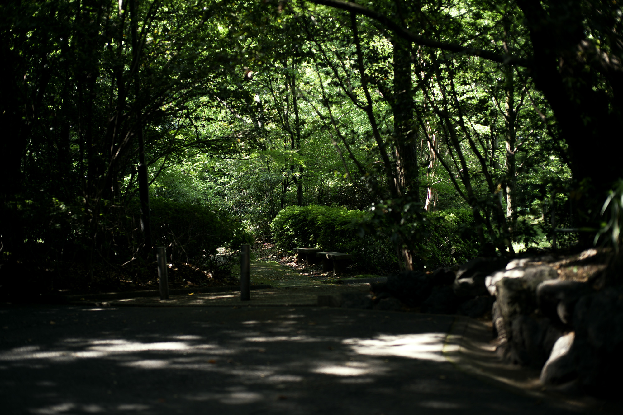 ATSUTA JINGU ///【LEICA M10-P ASC 100 Edition + SUMMILUX-M F1.4/50mm ASPH】2022年5月11日 火曜 熱田神宮 Wolfgang's Steakhouse Signature Aoyama WOLFGANS'S STEAKHOUSE ウルフギャング ステーキハウス Tボーンステーキ  東京都 港区 北青山 2-5-8　青山OM-SQUARE1F 03-5843-0822 100席 (ダイニング58席、個室A：10席、個室B：8席、バー＆ウイスキーラウンジ24席) THE RITZ-CARLTON TOKYO "CLUB LEVEL" // 2022.5.06-5.08 ザ・リッツ・カールトン クラブ®レベル ザ・リッツ・カールトンの最高峰のおもてなしを、最上級の空間と設備でご体験いただける「ザ・リッツ・カールトン クラブレベル」。そのおもてなしの中心となるクラブラウンジは、レジデンスをテーマにしたラウンジの概念を超えた空間です。 レセプション、ガーデンテラス、ダイニングルーム、ライブラリーラウンジの4つの エリアに分かれた「クラブラウンジ」では、時間帯によって多彩な趣きでお客様をお迎えいたしております。お客様のクラブレベルのステイをより快適なものにするクラブコンシェルジュは、お客様一人ひとりをお名前でお呼びし、それぞれのお好みに合わせたパーソナルなサービスをお届けいたします。お誕生日や記念日、プロポーズなど特別な日のご滞在には、ご要望に合わせて心に残るひとときを演出するプランをご提案します。 ザ・ロビーラウンジ ラウンジ ホテルの45階、お客様をお迎えするメインロビーに位置する「ザ・ロビーラウンジ」は、お待ち合わせや語らいの時間を特別なものにします。毎週金～日曜日の15時～16時20分の間、「ハープ＆アフタヌーンティー」を提供しております。確かな技術を有するハープ奏者が奏でる美しい音色を聴きながらペストリーシェフによるアフタヌーンティーをお召し上がり頂けます。夕暮れへと移ろいゆく美しい東京の景色と共に、ゆったりとした午後のひとときをお楽しみ下さい45階の開放的な空間で楽しむ伝統的なアフタヌーンティー ザ・リッツ・カールトン東京の45階、お客様をお迎えするメインロビーに位置する「ザ・ロビーラウンジ」は、お待ち合わせや語らいの時間を特別なものにします。 心地よいピアノの生演奏が流れるラグジュアリーな空間で、モダンなアフタヌーンティーセットや厳選された世界各地の茶葉によるティーセレクションと共に、優雅なひと時をお楽しみ下さい。東京の中心に位置する六本木というロケーションに相応しい、西洋と東洋のモダンな融合を表現したインテリアには、オリエンタルな紫、赤、モノトーンを基調とした配色や、和をモチーフとしたファブリックなどを用い、全体として和洋の調和を感じさせる空間となっており、時間の移ろいに合わせた生演奏が彩りを添えます。ISAIA Napoli TOKYO MIDTOWN イザイア ナポリ 東京ミッドタウン スーツ、ジャケット、シャツ、パンツ、シューズ、ネクタイ、チーフ、カバン 愛知 名古屋 Alto e Diritto altoediritto アルトエデリット 20224月19日 ミシュラン ヴァガボンド 2021年12月14日 LA VAGABONDE ラ・ヴァガボンド フレンチ フランス料理 鶴舞 ラヴァカボンド chef ryousuke iwamoto 岩本龍介 予約のとれないフレンチ 名店 美食家 放浪者 旅人 愛知県名古屋市中区千代田2丁目14-24 キャノンピア鶴舞 1F 愛知 名古屋 Alto e Diritto altoediritto アルトエデリット 超絶フレンチ ドレスコード ディナー 中華風家庭料理 ふーみん (表参道/中華料理)　〒107-0062 東京都港区南青山５丁目７−１７ 03-3498-4466　表参道・青山エリアの南青山の中華料理店、中華風家庭料理 ふーみんのオフィシャルページです　CHACOあまみや　千駄ヶ谷の有名なステーキ屋「CHACOあめみや」 炭焼きステーキ 〒151-0051 東京都渋谷区千駄ケ谷１丁目７−１２ 03-3402-6066 http://chacoamemiya.com/sp/ １９７９年（昭和５４年）に開店してから当時のままの姿の店内は重みを感じる。　（お客様からは「昭和の香りがする・・」と言われます）真っ白だった壁も年月を感じさせる趣がある。店内に入るとまず目に入るのが、大きな炭焼きの竈。営業当時からの肉の旨みを沢山吸い込んでいるかも・・・。１９７９年（昭和５４年）に開店してから当時のままの姿の店内は重みを感じる。　（お客様からは「昭和の香りがする・・」と言われます）真っ白だった壁も年月を感じさせる趣がある。店内に入るとまず目に入るのが、大きな炭焼きの竈。営業当時からの肉の旨みを沢山吸い込んでいるかも・・・。炭で焼かれたステーキのお皿は鉄板ではなく鋳物です。牛肉は融点が高いため冷めやすい鉄板ではすぐに肉が固くなってしまいます。チャコのお皿は長い時間温かいので柔らかい牛肉をゆっくりご賞味いただけます。ワイン片手に語らいながら心安らぐ美味しい時間をお過ごしください。LA BISBOCCIA　ラ・ビスボッチャ/LA BISBOCCIA (広尾/イタリアン) RISTORANTE LA BISBOCCIA 〒150-0013 東京都渋谷区恵比寿2-36-13 広尾MTRビル1F "イタリア政府公認レストラン"として選ばれた本格的イタリアン。スタッフもイタリア人が中心で、イタリアにいる気分になれそうな空間。 https://labisboccia.tokyo/ 愛知 名古屋 Vineria Cassini ヴィネリア カッシーニ 東別院 イタリアン 愛知県名古屋市中区伊勢山1-9-13 伊勢山ハイツ1F #1F Iseyamahaitsu, 1-9-13 Iseyama Naka-ku, Nagoya-shi, Aichi-ken 460-0026, Japan イタリアを旅するような気分で楽しむ郷土料理と様々なワイン "Vineria(ヴィネリア)とは、イタリア語でVino(ワイン)＋Osteria(食堂)を足した造語です。 イタリアの郷土料理とその土地で造られた様々なワインをイタリアを旅するような気分でお楽しみいただけます。 「イタリア現地の味」を目指した素材を生かすストレートかつ伝統的なイタリア料理をアラカルトもしくはコースでお楽しみください。 約200種類のイタリアワインの中から、ソムリエがベストなワインを選びます。お料理やお好みに合わせたグラスワインやワインコースもご用意しております。"2021年10月15日 煖 MEI メイ イタリアン 国際センター 名古屋市西区那古野1-23-2 四間道糸重3 mei-nagoya.com shikemichi サンタキアラ Santa Chiara コース 18時一斉スタート きのこ キノコ 森内敬子　モーゼ十戒　ナナツモリピノノワール 2016 pinot noir ドメーヌタカヒコ 曽我貴彦 北海道余市郡余市町登町1395  ワイン名古屋市東区徳川町　天然キノコ MEI 那古野 ネコ 猫　にゃんこ 愛知 名古屋 Alto e Diritto altoediritto アルトエデリット カウンター7席 えごま　味噌カツ ミソカツ みそかつ とんかつ 東別院 〒460-0021 愛知県名古屋市中区平和2丁目16-15 052-323-0963  鶴舞線のガード下にあるトンカツの美味しいお店 みそかつ えごま　和食 美奈登 ミナト 老舗焼肉店 神宮前/焼肉 レトロ モクモク 味噌ダレ とんちゃん 熱田 ホルモン ヤキニク とんねるず ペレ きたなシュラン 懐かし 名鉄堀田駅から徒歩20分 瑞穂区 〒467-0879 愛知県名古屋市瑞穂区平郷町2-6-2 LA VAGABONDE ラ・ヴァガボンド フレンチ フランス料理 鶴舞 ラヴァカボンド chef ryousuke iwamoto 岩本龍介 予約のとれないフレンチ 名店 美食家 放浪者 旅人 愛知県名古屋市中区千代田2丁目14-24 キャノンピア鶴舞 1F 愛知 名古屋 Alto e Diritto altoediritto アルトエデリット 超絶フレンチ ドレスコード ディナー STEAK HOUSE Beef Okuma ステーキハウス ビーフオークマ 名古屋店 霜降り黒毛和牛 サーロイン フィレ シャトーブリアン 仙台牛 宮城牛 近江牛 150g 200g ハンバーグ 松坂屋 名古屋店 愛知　名古屋 Alto e Diritto altoediritto  GW休暇 Alto e Diritto アルトエデリット altoediritto 愛知 名古屋 ゴールデンウィーク 休暇 炭火焼肉 煖  だん ダン 愛知 名古屋 焼き肉  名駅店 瑞穂本店 Alto e Diritto altoediritto アルトエデリット 夢 希望 Dream FREEMASONRY フリーメーソン AUDEMARS PIGUET オーデマピゲ SEX PISTOLS セックスピストルズ JOY DIVISION ジョイディヴィジョン DAVID BOWIE デヴィットボーウィ THE VELVET UNDERGROUND ザベルベットアンダーグラウンド THE ROLLING STONES ザローリングストーンズ QUEEN クイーン LED ZEPPELIN レッドツェッペリン Alto e Diritto アルトエデリット 愛知 名古屋 Italy MOORER ムーレー / BELVEST ベルベスト / ISAIA イザイア / LUCA GRASSIA ルカグラシア / Alfredo Rifugio アルフレードリフージオ / LARDINI ラルディーニ / De Petrillo デ・ペトリロ / TAGLIATORE タリアトーレ / Sealup シーラップ / EMMETI エンメティ / CINQUANTA チンクアンタ / SILENCE サイレンス / MOLEC モレック / Finamore フィナモレ / ORIAN オリアン / AVINO Laboratorio Napoletano アヴィーノ / INCOTEX インコテックス / INCOTEX SLACKS インコテックススラックス / PT TORINO ピーティートリノ / BERWICH ベルウィッチ / VIGANO ヴィガーノ / RICHARD J.BROWN リチャードJブラウン / FEDELI フェデーリ / MANRICO CASHMERE マンリコカシミヤ / ZANONE ザノーネ / Cruciani クルチアーニ / GRAN SASSO グランサッソ / Settefili Cashmere セッテフィーリカシミア / Girelli Bruni ジレリブルーニ / ENZO BONAFE エンツォボナフェ / FERRANTE フェランテ / GHOUD ゴード / ACATE アカーテ / Cisei シセイ / STEFANO RICCI ステファノリッチ / ALPO アル France Georges de Patricia ジョルジュドパトリシア / SAINT LAURENTサンローラン / CELINE セリーヌ / AUBERCY オーベルシー / lucien pellat-finet ルシアンペラフィネ / NATIONAL STANDARD ナショナルスタンダー U.S.A. South Paradiso Leather サウスパラディソ / JACQUESMARIEMAGE ジャックマリーマージュ / MARC MARMEL マークマーメル / WHITE'S BOOTS ホワイツブーツ / JUTTA NEUMANN ユッタニューマン England GRENFELL グレンフェル / J&M DAVIDSON ジェイアンドエムディヴィッドソン / JAMES GROSE ジェームスグロース / JOHN SMEDLEY ジョンスメドレー / Johnstons ジョンストンズ Other FIXER フィクサー / cuervo bopoha クエルボ ヴァローナ / BACKLASH The Line バックラッシュ ザライン / RIVORA リヴォラ / C.QP / Order Suit オーダースーツ 愛知 名古屋 Alto e Diritto altoediritto アルトエデリッライカM10 アポズミクロン 2021 October.27 21年目スタート 21年目からは楽しくゆっくりすごしてゆけたらなと思ってます ジョーストラマー 「10.26(tue)」,「10.27(wed)」 お休みとなります Thames LONDON / HERBIE YAMAGUCHI 1983 テムズ川 ロンドン ハービー山口 1983年 イギリス England イングランド 写真家 写真 Not Banksy ノットバンクシー BANKSY バンクシー 我々の敵はあなたの敵じゃない   共に生きよう LEICA // APO-SUMMICRON-M f2/35mm ASPH. ライカ アポ・ズミクロンM f2/35mm ASPH. 愛知 名古屋 Alto e Diritto altoediritto アルトエデリット 世界最高峰のレンズと称賛され続けているライカMレンズにおいて、アポ・ズミクロンM f2/35mm ASPH.もそのMレンズの名にふさわしい優れた性能を誇ります。さらに、アポ・ズミクロンMシリーズのレンズとしてはもちろんのこと、これまでにない新しいタイプのMレンズとして目をひく存在でもあります。その特長は、Mレンズの中で最短で唯一ともいえる最短撮影距離と、きわめてシャープな描写力、美しいボケ味、そして開放F値F2という明るさにあります。ドイツならではの高度な製造技術が生み出したこのレンズを活用すれば、M型カメラはもとより、「ライカSL2」や「ライカSL2-S」でも、優れた描写力を活用してあらゆるシーンでの撮影が楽しめます。 光学系の設計に全撮影距離で高画質が得られるフローティングシステムを採用しているため、近距離撮影でも高い描写力を発揮しながら、Mレンズでは唯一となるわずか30cmという最短撮影距離を実現しています。フォーカスリングの回転角は300°ときわめて大きく、最短撮影距離が短くなっているにも関わらず緻密なピント合わせが可能です。開放値はF2.0という明るさで、クリエイティブな作品づくりも多彩に楽しめます。その時々の貴重な瞬間を、ライカらしい高品位な写真として記録することができます。イギリスの写真家ヒュー・ジョン氏は、ポートレート撮影でもアポ・ズミクロンM f2/35mm ASPH.が威力を発揮することを実感しました。「被写界深度がこれほど浅くなるとは驚きました。まつげの部分が驚くほどシャープに描写され、そこから徐々にボケていく。これは元のサイズのまま一部をトリミングしたものですが、85mm、いや、105mmのレンズで撮影したかのような仕上がりです！」「アポ・ズミクロンM f2/35mm ASPH.は、美しいボケ味でポートレート写真に新たな可能性をもたらすレンズですね。それに接写もこなせるので、まさにオールラウンドな1本だと言えます。色の再現性も絶妙で、シャープな解像感も素晴らしい。これさえあれば他のレンズはいらないと言ってもいいかもしれません！」2021年8月18日 Leica Nagoya ライカ松坂屋名古屋店 ライカ名古屋 460-8430 愛知県中区栄3-16-1 松坂屋名古屋店 北館3Ｆ 052-264-2840 入鹿池　いるかいけ 名古屋近郊のボート釣りのメッカ 愛知県犬山市の入鹿、飛騨木曽川国定公園内にある人工の農業用ため池 わかさぎ釣り・ブラックバス釣りなら入鹿池にある見晴茶屋へ https://inuyama.gr.jp/miharashi.html 犬山観光情報  ワカサギやブラックバス釣りのメッカとして知られる入鹿池 ブラックバス釣果 犬山名物 でんがく 五平餅 見晴茶屋 愛知県犬山市堤下60 蓬ぜん 犬山 犬山口 愛知 名古屋名物 ひつまぶし http://houzen.s-d.jp/index.html 犬山城 ミシュランガイド愛知2019 あつた蓬莱軒 22年間修行 店主 うなぎ ウナギ 鰻 愛知県犬山市上坂町4-168 0568-39-5077 犬山市観光協会 ミシュラン 博多串焼き 八乃助  焼き鳥 焼鳥 愛知 名古屋 とみやBLOG 富屋酒店 とみやBLOG ライカ LEICA LEICA M10-p ASC100 EDITION ライカM10-P ズミルックス 2021年7月27日 煖 MEI メイ イタリアン 国際センター 名古屋市西区那古野1-23-2 四間道糸重3 mei-nagoya.com shikemichi サンタキアラ Santa Chiara コース 18時一斉スタート きのこ キノコ 森内敬子　モーゼ十戒　ナナツモリピノノワール 2016 pinot noir ドメーヌタカヒコ 曽我貴彦 北海道余市郡余市町登町1395  ワイン名古屋市東区徳川町　天然キノコ MEI 那古野 ネコ 猫　にゃんこ 愛知 名古屋 Alto e Diritto altoediritto アルトエデリット カウンター7席 えごま　味噌カツ ミソカツ みそかつ とんかつ 東別院 〒460-0021 愛知県名古屋市中区平和2丁目16-15 052-323-0963  鶴舞線のガード下にあるトンカツの美味しいお店 みそかつ えごま　和食 美奈登 ミナト 老舗焼肉店 神宮前/焼肉 レトロ モクモク 味噌ダレ とんちゃん 熱田 ホルモン ヤキニク とんねるず ペレ きたなシュラン 懐かし 名鉄堀田駅から徒歩20分 瑞穂区 〒467-0879 愛知県名古屋市瑞穂区平郷町2-6-2 LA VAGABONDE ラ・ヴァガボンド フレンチ フランス料理 鶴舞 ラヴァカボンド chef ryousuke iwamoto 岩本龍介 予約のとれないフレンチ 名店 美食家 放浪者 旅人 愛知県名古屋市中区千代田2丁目14-24 キャノンピア鶴舞 1F 愛知 名古屋 Alto e Diritto altoediritto アルトエデリット 超絶フレンチ ドレスコード ディナー STEAK HOUSE Beef Okuma ステーキハウス ビーフオークマ 名古屋店 霜降り黒毛和牛 サーロイン フィレ シャトーブリアン 仙台牛 宮城牛 近江牛 150g 200g ハンバーグ 松坂屋 名古屋店 愛知　名古屋 Alto e Diritto altoediritto  GW休暇 Alto e Diritto アルトエデリット altoediritto 愛知 名古屋 ゴールデンウィーク 休暇 炭火焼肉 煖  だん ダン 愛知 名古屋 焼き肉  名駅店 瑞穂本店 Alto e Diritto altoediritto アルトエデリット 夢 希望 Dream FREEMASONRY フリーメーソン AUDEMARS PIGUET オーデマピゲ SEX PISTOLS セックスピストルズ JOY DIVISION ジョイディヴィジョン DAVID BOWIE デヴィットボーウィ THE VELVET UNDERGROUND ザベルベットアンダーグラウンド THE ROLLING STONES ザローリングストーンズ QUEEN クイーン LED ZEPPELIN レッドツェッペリン Alto e Diritto アルトエデリット 愛知 名古屋 Italy MOORER ムーレー / BELVEST ベルベスト / ISAIA イザイア / LUCA GRASSIA ルカグラシア / Alfredo Rifugio アルフレードリフージオ / LARDINI ラルディーニ / De Petrillo デ・ペトリロ / TAGLIATORE タリアトーレ / Sealup シーラップ / EMMETI エンメティ / CINQUANTA チンクアンタ / SILENCE サイレンス / MOLEC モレック / Finamore フィナモレ / ORIAN オリアン / AVINO Laboratorio Napoletano アヴィーノ / INCOTEX インコテックス / INCOTEX SLACKS インコテックススラックス / PT TORINO ピーティートリノ / BERWICH ベルウィッチ / VIGANO ヴィガーノ / RICHARD J.BROWN リチャードJブラウン / FEDELI フェデーリ / MANRICO CASHMERE マンリコカシミヤ / ZANONE ザノーネ / Cruciani クルチアーニ / GRAN SASSO グランサッソ / Settefili Cashmere セッテフィーリカシミア / Girelli Bruni ジレリブルーニ / ENZO BONAFE エンツォボナフェ / FERRANTE フェランテ / GHOUD ゴード / ACATE アカーテ / Cisei シセイ / STEFANO RICCI ステファノリッチ / ALPO アル France Georges de Patricia ジョルジュドパトリシア / SAINT LAURENTサンローラン / CELINE セリーヌ / AUBERCY オーベルシー / lucien pellat-finet ルシアンペラフィネ / NATIONAL STANDARD ナショナルスタンダー U.S.A. South Paradiso Leather サウスパラディソ / JACQUESMARIEMAGE ジャックマリーマージュ / MARC MARMEL マークマーメル / WHITE'S BOOTS ホワイツブーツ / JUTTA NEUMANN ユッタニューマン England GRENFELL グレンフェル / J&M DAVIDSON ジェイアンドエムディヴィッドソン / JAMES GROSE ジェームスグロース / JOHN SMEDLEY ジョンスメドレー / Johnstons ジョンストンズ Other FIXER フィクサー / cuervo bopoha クエルボ ヴァローナ / BACKLASH The Line バックラッシュ ザライン / RIVORA リヴォラ / C.QP / Order Suit オーダースーツ 愛知 名古屋 Alto e Diritto altoediritto アルトエデリット