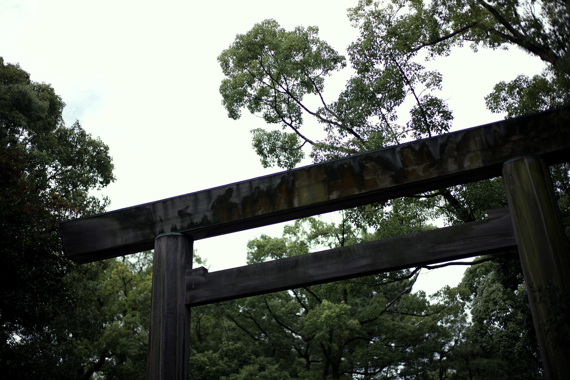 ATSUTA JINGU ///【LEICA M10-P ASC 100 Edition + SUMMILUX-M F1.4/50mm ASPH】2022年5月11日 火曜 熱田神宮 Wolfgang's Steakhouse Signature Aoyama WOLFGANS'S STEAKHOUSE ウルフギャング ステーキハウス Tボーンステーキ  東京都 港区 北青山 2-5-8　青山OM-SQUARE1F 03-5843-0822 100席 (ダイニング58席、個室A：10席、個室B：8席、バー＆ウイスキーラウンジ24席) THE RITZ-CARLTON TOKYO "CLUB LEVEL" // 2022.5.06-5.08 ザ・リッツ・カールトン クラブ®レベル ザ・リッツ・カールトンの最高峰のおもてなしを、最上級の空間と設備でご体験いただける「ザ・リッツ・カールトン クラブレベル」。そのおもてなしの中心となるクラブラウンジは、レジデンスをテーマにしたラウンジの概念を超えた空間です。 レセプション、ガーデンテラス、ダイニングルーム、ライブラリーラウンジの4つの エリアに分かれた「クラブラウンジ」では、時間帯によって多彩な趣きでお客様をお迎えいたしております。お客様のクラブレベルのステイをより快適なものにするクラブコンシェルジュは、お客様一人ひとりをお名前でお呼びし、それぞれのお好みに合わせたパーソナルなサービスをお届けいたします。お誕生日や記念日、プロポーズなど特別な日のご滞在には、ご要望に合わせて心に残るひとときを演出するプランをご提案します。 ザ・ロビーラウンジ ラウンジ ホテルの45階、お客様をお迎えするメインロビーに位置する「ザ・ロビーラウンジ」は、お待ち合わせや語らいの時間を特別なものにします。毎週金～日曜日の15時～16時20分の間、「ハープ＆アフタヌーンティー」を提供しております。確かな技術を有するハープ奏者が奏でる美しい音色を聴きながらペストリーシェフによるアフタヌーンティーをお召し上がり頂けます。夕暮れへと移ろいゆく美しい東京の景色と共に、ゆったりとした午後のひとときをお楽しみ下さい45階の開放的な空間で楽しむ伝統的なアフタヌーンティー ザ・リッツ・カールトン東京の45階、お客様をお迎えするメインロビーに位置する「ザ・ロビーラウンジ」は、お待ち合わせや語らいの時間を特別なものにします。 心地よいピアノの生演奏が流れるラグジュアリーな空間で、モダンなアフタヌーンティーセットや厳選された世界各地の茶葉によるティーセレクションと共に、優雅なひと時をお楽しみ下さい。東京の中心に位置する六本木というロケーションに相応しい、西洋と東洋のモダンな融合を表現したインテリアには、オリエンタルな紫、赤、モノトーンを基調とした配色や、和をモチーフとしたファブリックなどを用い、全体として和洋の調和を感じさせる空間となっており、時間の移ろいに合わせた生演奏が彩りを添えます。ISAIA Napoli TOKYO MIDTOWN イザイア ナポリ 東京ミッドタウン スーツ、ジャケット、シャツ、パンツ、シューズ、ネクタイ、チーフ、カバン 愛知 名古屋 Alto e Diritto altoediritto アルトエデリット 20224月19日 ミシュラン ヴァガボンド 2021年12月14日 LA VAGABONDE ラ・ヴァガボンド フレンチ フランス料理 鶴舞 ラヴァカボンド chef ryousuke iwamoto 岩本龍介 予約のとれないフレンチ 名店 美食家 放浪者 旅人 愛知県名古屋市中区千代田2丁目14-24 キャノンピア鶴舞 1F 愛知 名古屋 Alto e Diritto altoediritto アルトエデリット 超絶フレンチ ドレスコード ディナー 中華風家庭料理 ふーみん (表参道/中華料理)　〒107-0062 東京都港区南青山５丁目７−１７ 03-3498-4466　表参道・青山エリアの南青山の中華料理店、中華風家庭料理 ふーみんのオフィシャルページです　CHACOあまみや　千駄ヶ谷の有名なステーキ屋「CHACOあめみや」 炭焼きステーキ 〒151-0051 東京都渋谷区千駄ケ谷１丁目７−１２ 03-3402-6066 http://chacoamemiya.com/sp/ １９７９年（昭和５４年）に開店してから当時のままの姿の店内は重みを感じる。　（お客様からは「昭和の香りがする・・」と言われます）真っ白だった壁も年月を感じさせる趣がある。店内に入るとまず目に入るのが、大きな炭焼きの竈。営業当時からの肉の旨みを沢山吸い込んでいるかも・・・。１９７９年（昭和５４年）に開店してから当時のままの姿の店内は重みを感じる。　（お客様からは「昭和の香りがする・・」と言われます）真っ白だった壁も年月を感じさせる趣がある。店内に入るとまず目に入るのが、大きな炭焼きの竈。営業当時からの肉の旨みを沢山吸い込んでいるかも・・・。炭で焼かれたステーキのお皿は鉄板ではなく鋳物です。牛肉は融点が高いため冷めやすい鉄板ではすぐに肉が固くなってしまいます。チャコのお皿は長い時間温かいので柔らかい牛肉をゆっくりご賞味いただけます。ワイン片手に語らいながら心安らぐ美味しい時間をお過ごしください。LA BISBOCCIA　ラ・ビスボッチャ/LA BISBOCCIA (広尾/イタリアン) RISTORANTE LA BISBOCCIA 〒150-0013 東京都渋谷区恵比寿2-36-13 広尾MTRビル1F "イタリア政府公認レストラン"として選ばれた本格的イタリアン。スタッフもイタリア人が中心で、イタリアにいる気分になれそうな空間。 https://labisboccia.tokyo/ 愛知 名古屋 Vineria Cassini ヴィネリア カッシーニ 東別院 イタリアン 愛知県名古屋市中区伊勢山1-9-13 伊勢山ハイツ1F #1F Iseyamahaitsu, 1-9-13 Iseyama Naka-ku, Nagoya-shi, Aichi-ken 460-0026, Japan イタリアを旅するような気分で楽しむ郷土料理と様々なワイン "Vineria(ヴィネリア)とは、イタリア語でVino(ワイン)＋Osteria(食堂)を足した造語です。 イタリアの郷土料理とその土地で造られた様々なワインをイタリアを旅するような気分でお楽しみいただけます。 「イタリア現地の味」を目指した素材を生かすストレートかつ伝統的なイタリア料理をアラカルトもしくはコースでお楽しみください。 約200種類のイタリアワインの中から、ソムリエがベストなワインを選びます。お料理やお好みに合わせたグラスワインやワインコースもご用意しております。"2021年10月15日 煖 MEI メイ イタリアン 国際センター 名古屋市西区那古野1-23-2 四間道糸重3 mei-nagoya.com shikemichi サンタキアラ Santa Chiara コース 18時一斉スタート きのこ キノコ 森内敬子　モーゼ十戒　ナナツモリピノノワール 2016 pinot noir ドメーヌタカヒコ 曽我貴彦 北海道余市郡余市町登町1395  ワイン名古屋市東区徳川町　天然キノコ MEI 那古野 ネコ 猫　にゃんこ 愛知 名古屋 Alto e Diritto altoediritto アルトエデリット カウンター7席 えごま　味噌カツ ミソカツ みそかつ とんかつ 東別院 〒460-0021 愛知県名古屋市中区平和2丁目16-15 052-323-0963  鶴舞線のガード下にあるトンカツの美味しいお店 みそかつ えごま　和食 美奈登 ミナト 老舗焼肉店 神宮前/焼肉 レトロ モクモク 味噌ダレ とんちゃん 熱田 ホルモン ヤキニク とんねるず ペレ きたなシュラン 懐かし 名鉄堀田駅から徒歩20分 瑞穂区 〒467-0879 愛知県名古屋市瑞穂区平郷町2-6-2 LA VAGABONDE ラ・ヴァガボンド フレンチ フランス料理 鶴舞 ラヴァカボンド chef ryousuke iwamoto 岩本龍介 予約のとれないフレンチ 名店 美食家 放浪者 旅人 愛知県名古屋市中区千代田2丁目14-24 キャノンピア鶴舞 1F 愛知 名古屋 Alto e Diritto altoediritto アルトエデリット 超絶フレンチ ドレスコード ディナー STEAK HOUSE Beef Okuma ステーキハウス ビーフオークマ 名古屋店 霜降り黒毛和牛 サーロイン フィレ シャトーブリアン 仙台牛 宮城牛 近江牛 150g 200g ハンバーグ 松坂屋 名古屋店 愛知　名古屋 Alto e Diritto altoediritto  GW休暇 Alto e Diritto アルトエデリット altoediritto 愛知 名古屋 ゴールデンウィーク 休暇 炭火焼肉 煖  だん ダン 愛知 名古屋 焼き肉  名駅店 瑞穂本店 Alto e Diritto altoediritto アルトエデリット 夢 希望 Dream FREEMASONRY フリーメーソン AUDEMARS PIGUET オーデマピゲ SEX PISTOLS セックスピストルズ JOY DIVISION ジョイディヴィジョン DAVID BOWIE デヴィットボーウィ THE VELVET UNDERGROUND ザベルベットアンダーグラウンド THE ROLLING STONES ザローリングストーンズ QUEEN クイーン LED ZEPPELIN レッドツェッペリン Alto e Diritto アルトエデリット 愛知 名古屋 Italy MOORER ムーレー / BELVEST ベルベスト / ISAIA イザイア / LUCA GRASSIA ルカグラシア / Alfredo Rifugio アルフレードリフージオ / LARDINI ラルディーニ / De Petrillo デ・ペトリロ / TAGLIATORE タリアトーレ / Sealup シーラップ / EMMETI エンメティ / CINQUANTA チンクアンタ / SILENCE サイレンス / MOLEC モレック / Finamore フィナモレ / ORIAN オリアン / AVINO Laboratorio Napoletano アヴィーノ / INCOTEX インコテックス / INCOTEX SLACKS インコテックススラックス / PT TORINO ピーティートリノ / BERWICH ベルウィッチ / VIGANO ヴィガーノ / RICHARD J.BROWN リチャードJブラウン / FEDELI フェデーリ / MANRICO CASHMERE マンリコカシミヤ / ZANONE ザノーネ / Cruciani クルチアーニ / GRAN SASSO グランサッソ / Settefili Cashmere セッテフィーリカシミア / Girelli Bruni ジレリブルーニ / ENZO BONAFE エンツォボナフェ / FERRANTE フェランテ / GHOUD ゴード / ACATE アカーテ / Cisei シセイ / STEFANO RICCI ステファノリッチ / ALPO アル France Georges de Patricia ジョルジュドパトリシア / SAINT LAURENTサンローラン / CELINE セリーヌ / AUBERCY オーベルシー / lucien pellat-finet ルシアンペラフィネ / NATIONAL STANDARD ナショナルスタンダー U.S.A. South Paradiso Leather サウスパラディソ / JACQUESMARIEMAGE ジャックマリーマージュ / MARC MARMEL マークマーメル / WHITE'S BOOTS ホワイツブーツ / JUTTA NEUMANN ユッタニューマン England GRENFELL グレンフェル / J&M DAVIDSON ジェイアンドエムディヴィッドソン / JAMES GROSE ジェームスグロース / JOHN SMEDLEY ジョンスメドレー / Johnstons ジョンストンズ Other FIXER フィクサー / cuervo bopoha クエルボ ヴァローナ / BACKLASH The Line バックラッシュ ザライン / RIVORA リヴォラ / C.QP / Order Suit オーダースーツ 愛知 名古屋 Alto e Diritto altoediritto アルトエデリッライカM10 アポズミクロン 2021 October.27 21年目スタート 21年目からは楽しくゆっくりすごしてゆけたらなと思ってます ジョーストラマー 「10.26(tue)」,「10.27(wed)」 お休みとなります Thames LONDON / HERBIE YAMAGUCHI 1983 テムズ川 ロンドン ハービー山口 1983年 イギリス England イングランド 写真家 写真 Not Banksy ノットバンクシー BANKSY バンクシー 我々の敵はあなたの敵じゃない   共に生きよう LEICA // APO-SUMMICRON-M f2/35mm ASPH. ライカ アポ・ズミクロンM f2/35mm ASPH. 愛知 名古屋 Alto e Diritto altoediritto アルトエデリット 世界最高峰のレンズと称賛され続けているライカMレンズにおいて、アポ・ズミクロンM f2/35mm ASPH.もそのMレンズの名にふさわしい優れた性能を誇ります。さらに、アポ・ズミクロンMシリーズのレンズとしてはもちろんのこと、これまでにない新しいタイプのMレンズとして目をひく存在でもあります。その特長は、Mレンズの中で最短で唯一ともいえる最短撮影距離と、きわめてシャープな描写力、美しいボケ味、そして開放F値F2という明るさにあります。ドイツならではの高度な製造技術が生み出したこのレンズを活用すれば、M型カメラはもとより、「ライカSL2」や「ライカSL2-S」でも、優れた描写力を活用してあらゆるシーンでの撮影が楽しめます。 光学系の設計に全撮影距離で高画質が得られるフローティングシステムを採用しているため、近距離撮影でも高い描写力を発揮しながら、Mレンズでは唯一となるわずか30cmという最短撮影距離を実現しています。フォーカスリングの回転角は300°ときわめて大きく、最短撮影距離が短くなっているにも関わらず緻密なピント合わせが可能です。開放値はF2.0という明るさで、クリエイティブな作品づくりも多彩に楽しめます。その時々の貴重な瞬間を、ライカらしい高品位な写真として記録することができます。イギリスの写真家ヒュー・ジョン氏は、ポートレート撮影でもアポ・ズミクロンM f2/35mm ASPH.が威力を発揮することを実感しました。「被写界深度がこれほど浅くなるとは驚きました。まつげの部分が驚くほどシャープに描写され、そこから徐々にボケていく。これは元のサイズのまま一部をトリミングしたものですが、85mm、いや、105mmのレンズで撮影したかのような仕上がりです！」「アポ・ズミクロンM f2/35mm ASPH.は、美しいボケ味でポートレート写真に新たな可能性をもたらすレンズですね。それに接写もこなせるので、まさにオールラウンドな1本だと言えます。色の再現性も絶妙で、シャープな解像感も素晴らしい。これさえあれば他のレンズはいらないと言ってもいいかもしれません！」2021年8月18日 Leica Nagoya ライカ松坂屋名古屋店 ライカ名古屋 460-8430 愛知県中区栄3-16-1 松坂屋名古屋店 北館3Ｆ 052-264-2840 入鹿池　いるかいけ 名古屋近郊のボート釣りのメッカ 愛知県犬山市の入鹿、飛騨木曽川国定公園内にある人工の農業用ため池 わかさぎ釣り・ブラックバス釣りなら入鹿池にある見晴茶屋へ https://inuyama.gr.jp/miharashi.html 犬山観光情報  ワカサギやブラックバス釣りのメッカとして知られる入鹿池 ブラックバス釣果 犬山名物 でんがく 五平餅 見晴茶屋 愛知県犬山市堤下60 蓬ぜん 犬山 犬山口 愛知 名古屋名物 ひつまぶし http://houzen.s-d.jp/index.html 犬山城 ミシュランガイド愛知2019 あつた蓬莱軒 22年間修行 店主 うなぎ ウナギ 鰻 愛知県犬山市上坂町4-168 0568-39-5077 犬山市観光協会 ミシュラン 博多串焼き 八乃助  焼き鳥 焼鳥 愛知 名古屋 とみやBLOG 富屋酒店 とみやBLOG ライカ LEICA LEICA M10-p ASC100 EDITION ライカM10-P ズミルックス 2021年7月27日 煖 MEI メイ イタリアン 国際センター 名古屋市西区那古野1-23-2 四間道糸重3 mei-nagoya.com shikemichi サンタキアラ Santa Chiara コース 18時一斉スタート きのこ キノコ 森内敬子　モーゼ十戒　ナナツモリピノノワール 2016 pinot noir ドメーヌタカヒコ 曽我貴彦 北海道余市郡余市町登町1395  ワイン名古屋市東区徳川町　天然キノコ MEI 那古野 ネコ 猫　にゃんこ 愛知 名古屋 Alto e Diritto altoediritto アルトエデリット カウンター7席 えごま　味噌カツ ミソカツ みそかつ とんかつ 東別院 〒460-0021 愛知県名古屋市中区平和2丁目16-15 052-323-0963  鶴舞線のガード下にあるトンカツの美味しいお店 みそかつ えごま　和食 美奈登 ミナト 老舗焼肉店 神宮前/焼肉 レトロ モクモク 味噌ダレ とんちゃん 熱田 ホルモン ヤキニク とんねるず ペレ きたなシュラン 懐かし 名鉄堀田駅から徒歩20分 瑞穂区 〒467-0879 愛知県名古屋市瑞穂区平郷町2-6-2 LA VAGABONDE ラ・ヴァガボンド フレンチ フランス料理 鶴舞 ラヴァカボンド chef ryousuke iwamoto 岩本龍介 予約のとれないフレンチ 名店 美食家 放浪者 旅人 愛知県名古屋市中区千代田2丁目14-24 キャノンピア鶴舞 1F 愛知 名古屋 Alto e Diritto altoediritto アルトエデリット 超絶フレンチ ドレスコード ディナー STEAK HOUSE Beef Okuma ステーキハウス ビーフオークマ 名古屋店 霜降り黒毛和牛 サーロイン フィレ シャトーブリアン 仙台牛 宮城牛 近江牛 150g 200g ハンバーグ 松坂屋 名古屋店 愛知　名古屋 Alto e Diritto altoediritto  GW休暇 Alto e Diritto アルトエデリット altoediritto 愛知 名古屋 ゴールデンウィーク 休暇 炭火焼肉 煖  だん ダン 愛知 名古屋 焼き肉  名駅店 瑞穂本店 Alto e Diritto altoediritto アルトエデリット 夢 希望 Dream FREEMASONRY フリーメーソン AUDEMARS PIGUET オーデマピゲ SEX PISTOLS セックスピストルズ JOY DIVISION ジョイディヴィジョン DAVID BOWIE デヴィットボーウィ THE VELVET UNDERGROUND ザベルベットアンダーグラウンド THE ROLLING STONES ザローリングストーンズ QUEEN クイーン LED ZEPPELIN レッドツェッペリン Alto e Diritto アルトエデリット 愛知 名古屋 Italy MOORER ムーレー / BELVEST ベルベスト / ISAIA イザイア / LUCA GRASSIA ルカグラシア / Alfredo Rifugio アルフレードリフージオ / LARDINI ラルディーニ / De Petrillo デ・ペトリロ / TAGLIATORE タリアトーレ / Sealup シーラップ / EMMETI エンメティ / CINQUANTA チンクアンタ / SILENCE サイレンス / MOLEC モレック / Finamore フィナモレ / ORIAN オリアン / AVINO Laboratorio Napoletano アヴィーノ / INCOTEX インコテックス / INCOTEX SLACKS インコテックススラックス / PT TORINO ピーティートリノ / BERWICH ベルウィッチ / VIGANO ヴィガーノ / RICHARD J.BROWN リチャードJブラウン / FEDELI フェデーリ / MANRICO CASHMERE マンリコカシミヤ / ZANONE ザノーネ / Cruciani クルチアーニ / GRAN SASSO グランサッソ / Settefili Cashmere セッテフィーリカシミア / Girelli Bruni ジレリブルーニ / ENZO BONAFE エンツォボナフェ / FERRANTE フェランテ / GHOUD ゴード / ACATE アカーテ / Cisei シセイ / STEFANO RICCI ステファノリッチ / ALPO アル France Georges de Patricia ジョルジュドパトリシア / SAINT LAURENTサンローラン / CELINE セリーヌ / AUBERCY オーベルシー / lucien pellat-finet ルシアンペラフィネ / NATIONAL STANDARD ナショナルスタンダー U.S.A. South Paradiso Leather サウスパラディソ / JACQUESMARIEMAGE ジャックマリーマージュ / MARC MARMEL マークマーメル / WHITE'S BOOTS ホワイツブーツ / JUTTA NEUMANN ユッタニューマン England GRENFELL グレンフェル / J&M DAVIDSON ジェイアンドエムディヴィッドソン / JAMES GROSE ジェームスグロース / JOHN SMEDLEY ジョンスメドレー / Johnstons ジョンストンズ Other FIXER フィクサー / cuervo bopoha クエルボ ヴァローナ / BACKLASH The Line バックラッシュ ザライン / RIVORA リヴォラ / C.QP / Order Suit オーダースーツ 愛知 名古屋 Alto e Diritto altoediritto アルトエデリット