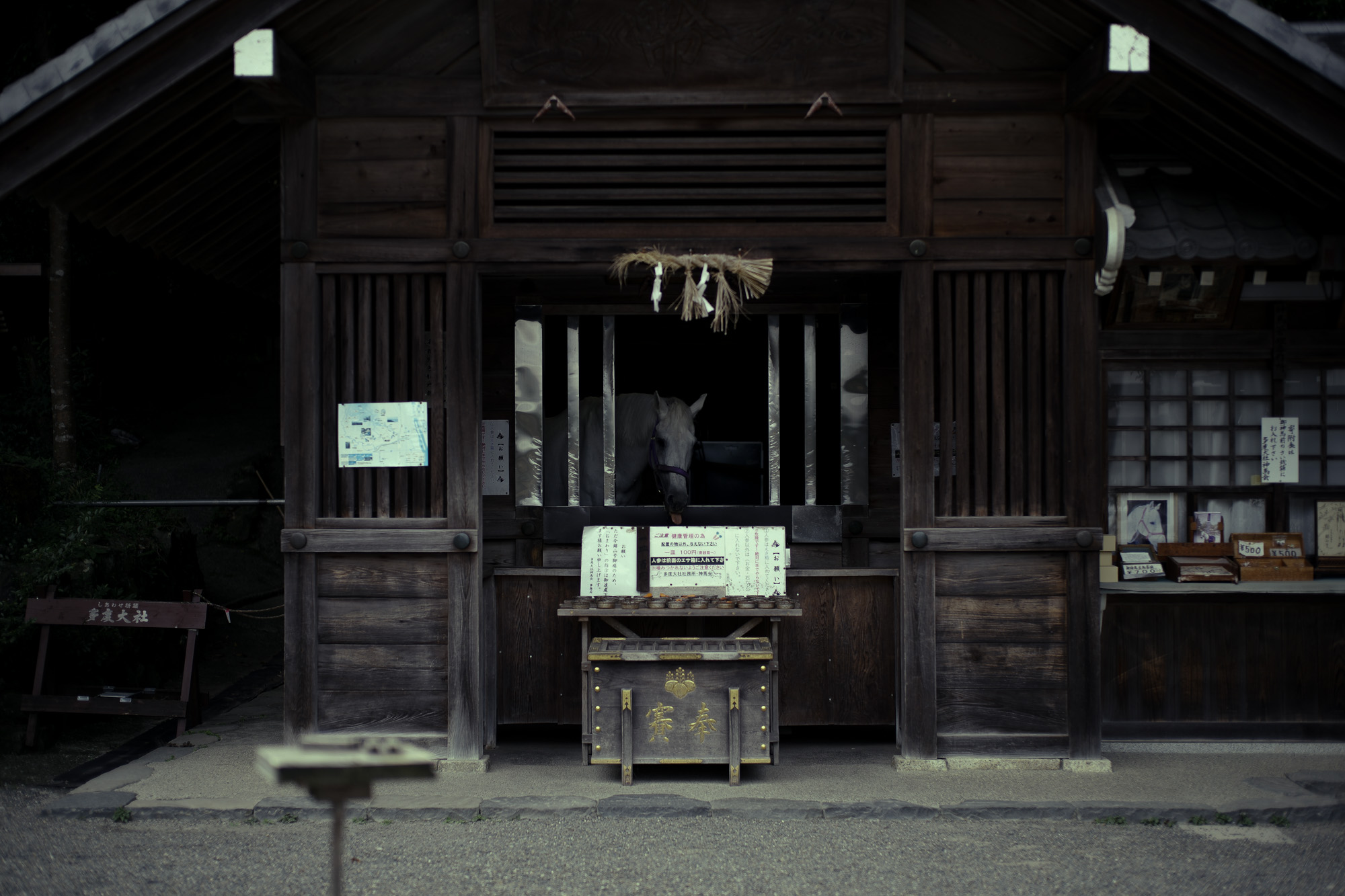 2022年10月12日 水曜日 多度大社 三重県桑名市多度町多度 上げ馬 LEICA ライカ LEICA M10-P ASC100 EDITION ASC Cine Classic モード Model shooting.  2022年10月10日 一升びん　https://www.isshobin.com/　「一升びん」店名の由来昭和37年の創業当時、松阪には飲食店も今ほどは無く、会食といえば家でご馳走を作って宴会というのが多かったそうです。円卓（ちゃぶ台）を大勢で囲んで、お酒の一升瓶を中心に置いて、わいわいと皆様に楽しんで食事をしていただける様な店にしたい！！そういう思いを込めて「一升びん」と名付けました。松阪牛「A5」といえば、言わずと知れた和牛の最高峰。一般的に、すき焼きやしゃぶしゃぶの最上級肉として供されるこのクラスは、焼肉用とされることはほぼありません。一升びんでは、その『松阪牛「A5」』を焼肉として提供！箸で掴んで近づけただけでも違いの分かる素晴らしい香りと、一口噛めば口中にほとばしる肉汁とともに、融けるような舌触りは、ちょっと他では味わえません！牛肉は（社）日本食肉格付協会によって格付が行われています。2つの等級があり、1つは歩留（ブド）まり等級、もう1つは肉質等級です。歩留まり等級はA･B･Cの3段階に分かれてAが最も良く、肉質等級は5・4・3・2・1の5段階に分かれ、5が最も良い等級となります。一升びん本店では格付けA5の松阪牛をご提供させて頂きます。牛肉は、脂の霜降り（サシ）がよく入っている部位が、ほんのり甘く、柔らかくて人気です。松阪牛がおいしいと評判なのは、肉やサシが独特の飼育法でまんべんなく体にまわっているから。食欲増進のためにビールを飲ませたり、血行をよくするためにマッサージをするなど、丹精こめて育てられ、とろけるほどの柔らかい上質の松阪肉ができるのです。一升びんの創業は、1962年（昭和37年）今の平生町店から始まりました。最高のお肉を更に美味しく召し上がっていただく秘密が秘伝の味噌ダレ！創業以来、脈々と伝わってきた門外不出の逸品です。その味わいは、こくのある自家製ダレでありながら、決して自己主張しすぎることはなく、あくまでも肉の味わいを最大限に引き立てる脇役に徹します。ぜひ、ご賞味下さい！松阪牛焼肉・ホルモン一升びん本店松阪牛すき焼・しゃぶしゃぶ一升びん本店"はなれ"松阪牛焼肉・ホルモン一升びん宮町店松坂牛焼肉・ホルモン一升びん平生町店松阪牛焼肉・ホルモン鍋一升びん塚本店松阪牛焼肉・ホルモン一升びん川井町店松阪牛焼肉・ホルモン一升びん久居インターガーデン店松阪牛焼肉一升びん名古屋ラシック店松阪牛焼肉・ホルモン一升びん鈴鹿店松阪牛焼肉一升びん伊勢松寿亭松阪牛焼肉・ホルモン一升びん四日市泊店松阪牛焼肉・すき焼・しゃぶしゃぶ・串焼き一升びん伊勢内宮店イオンモールNagoya Noritake Garden 1F回転焼肉　一升びん　名古屋則武新町店松阪牛一升びん名古屋名駅店 Chrome Hearts CHROME HEARTS クロムハーツ クロムハーツ名古屋 Chrome Hearts Nagoya ラシック 愛知 名古屋 https://www.chromehearts.com/ OFFEE CAKE "BONBON" ボンボン 洋菓子ボンボン BONBON https://cake-bonbon.com/ 名古屋の老舗洋菓子店「ボンボン」 喫茶ボンボン 1949年（昭和24年）創業。名古屋市東区の老舗洋菓子・純喫茶ボンボン。開店当時から「いいものをお値打ちで」という思いを込めて、素材にこだわったケーキをひとつひとつ丁寧に作り続けてまいります。当店でしか味わうことができない逸品の数々。昭和レトロ感漂う店内で是非ご堪能ください。  〒461-0001 愛知県名古屋市東区泉2-1-22 CHROME HEARTS "TAPE DISPENSER" クロムハーツ テープ　ディスペンサー 愛知 名古屋 Alto e Diritto altoediritto アルトエデリット セロハンテープ マネークリップ クロムハーツボールペン リチャードスターク CHROME HEARTS MONEY CLIP CH CROSS 925silver CHROME HEARTS “PEN 4COLOR FERNIE 925silver Wolfgang's Steakhouse Signature Aoyama WOLFGANS'S STEAKHOUSE ウルフギャング ステーキハウス Tボーンステーキ  東京都 港区 北青山 2-5-8　青山OM-SQUARE1F 03-5843-0822 100席 (ダイニング58席、個室A：10席、個室B：8席、バー＆ウイスキーラウンジ24席) BARONROUGE バロンルージュ 〒460-0008 愛知県名古屋市中区栄5丁目19番12 @nagoya_baronrouge 050-5872-9950 移転 renewal open 。大人がひっそりと訪れる酒と料理を嗜むお店 25年続くお店が少しだけ移転しリニューアルオープン。新築のビル2階に佇む大人のためのレストラン＆バー。大人の階段を上り重厚な扉を開けると1日の疲れをリセット。大人の日常にそっと手を差し伸べる程よい非日常空間。プロが作る美味い酒 と しっかり食べられる料理。酒だけでも 料理だけでも 会話だけでも お気軽に。初めてご来店の方も いつもの馴染みのお店にしてください。八乃助 ISAMUKATAYAMABACKLASH イサムカタヤマバックラッシュ 片山勇 バックラッシュ ATSUTA JINGU ///【LEICA M10-P ASC 100 Edition + SUMMILUX-M F1.4/50mm ASPH】2022年5月11日 火曜 熱田神宮 Wolfgang's Steakhouse Signature Aoyama WOLFGANS'S STEAKHOUSE ウルフギャング ステーキハウス Tボーンステーキ  東京都 港区 北青山 2-5-8　青山OM-SQUARE1F 03-5843-0822 100席 (ダイニング58席、個室A：10席、個室B：8席、バー＆ウイスキーラウンジ24席) THE RITZ-CARLTON TOKYO "CLUB LEVEL" // 2022.5.06-5.08 ザ・リッツ・カールトン クラブ®レベル ザ・リッツ・カールトンの最高峰のおもてなしを、最上級の空間と設備でご体験いただける「ザ・リッツ・カールトン クラブレベル」。そのおもてなしの中心となるクラブラウンジは、レジデンスをテーマにしたラウンジの概念を超えた空間です。 レセプション、ガーデンテラス、ダイニングルーム、ライブラリーラウンジの4つの エリアに分かれた「クラブラウンジ」では、時間帯によって多彩な趣きでお客様をお迎えいたしております。お客様のクラブレベルのステイをより快適なものにするクラブコンシェルジュは、お客様一人ひとりをお名前でお呼びし、それぞれのお好みに合わせたパーソナルなサービスをお届けいたします。お誕生日や記念日、プロポーズなど特別な日のご滞在には、ご要望に合わせて心に残るひとときを演出するプランをご提案します。 ザ・ロビーラウンジ ラウンジ ホテルの45階、お客様をお迎えするメインロビーに位置する「ザ・ロビーラウンジ」は、お待ち合わせや語らいの時間を特別なものにします。毎週金～日曜日の15時～16時20分の間、「ハープ＆アフタヌーンティー」を提供しております。確かな技術を有するハープ奏者が奏でる美しい音色を聴きながらペストリーシェフによるアフタヌーンティーをお召し上がり頂けます。夕暮れへと移ろいゆく美しい東京の景色と共に、ゆったりとした午後のひとときをお楽しみ下さい45階の開放的な空間で楽しむ伝統的なアフタヌーンティー ザ・リッツ・カールトン東京の45階、お客様をお迎えするメインロビーに位置する「ザ・ロビーラウンジ」は、お待ち合わせや語らいの時間を特別なものにします。 心地よいピアノの生演奏が流れるラグジュアリーな空間で、モダンなアフタヌーンティーセットや厳選された世界各地の茶葉によるティーセレクションと共に、優雅なひと時をお楽しみ下さい。東京の中心に位置する六本木というロケーションに相応しい、西洋と東洋のモダンな融合を表現したインテリアには、オリエンタルな紫、赤、モノトーンを基調とした配色や、和をモチーフとしたファブリックなどを用い、全体として和洋の調和を感じさせる空間となっており、時間の移ろいに合わせた生演奏が彩りを添えます。ISAIA Napoli TOKYO MIDTOWN イザイア ナポリ 東京ミッドタウン スーツ、ジャケット、シャツ、パンツ、シューズ、ネクタイ、チーフ、カバン 愛知 名古屋 Alto e Diritto altoediritto アルトエデリット 20224月19日 ミシュラン ヴァガボンド 2021年12月14日 LA VAGABONDE ラ・ヴァガボンド フレンチ フランス料理 鶴舞 ラヴァカボンド chef ryousuke iwamoto 岩本龍介 予約のとれないフレンチ 名店 美食家 放浪者 旅人 愛知県名古屋市中区千代田2丁目14-24 キャノンピア鶴舞 1F 愛知 名古屋 Alto e Diritto altoediritto アルトエデリット 超絶フレンチ ドレスコード ディナー 中華風家庭料理 ふーみん (表参道/中華料理)　〒107-0062 東京都港区南青山５丁目７−１７ 03-3498-4466　表参道・青山エリアの南青山の中華料理店、中華風家庭料理 ふーみんのオフィシャルページです　CHACOあまみや　千駄ヶ谷の有名なステーキ屋「CHACOあめみや」 炭焼きステーキ 〒151-0051 東京都渋谷区千駄ケ谷１丁目７−１２ 03-3402-6066 http://chacoamemiya.com/sp/ １９７９年（昭和５４年）に開店してから当時のままの姿の店内は重みを感じる。　（お客様からは「昭和の香りがする・・」と言われます）真っ白だった壁も年月を感じさせる趣がある。店内に入るとまず目に入るのが、大きな炭焼きの竈。営業当時からの肉の旨みを沢山吸い込んでいるかも・・・。１９７９年（昭和５４年）に開店してから当時のままの姿の店内は重みを感じる。　（お客様からは「昭和の香りがする・・」と言われます）真っ白だった壁も年月を感じさせる趣がある。店内に入るとまず目に入るのが、大きな炭焼きの竈。営業当時からの肉の旨みを沢山吸い込んでいるかも・・・。炭で焼かれたステーキのお皿は鉄板ではなく鋳物です。牛肉は融点が高いため冷めやすい鉄板ではすぐに肉が固くなってしまいます。チャコのお皿は長い時間温かいので柔らかい牛肉をゆっくりご賞味いただけます。ワイン片手に語らいながら心安らぐ美味しい時間をお過ごしください。LA BISBOCCIA　ラ・ビスボッチャ/LA BISBOCCIA (広尾/イタリアン) RISTORANTE LA BISBOCCIA 〒150-0013 東京都渋谷区恵比寿2-36-13 広尾MTRビル1F "イタリア政府公認レストラン"として選ばれた本格的イタリアン。スタッフもイタリア人が中心で、イタリアにいる気分になれそうな空間。 https://labisboccia.tokyo/ 愛知 名古屋 Vineria Cassini ヴィネリア カッシーニ 東別院 イタリアン 愛知県名古屋市中区伊勢山1-9-13 伊勢山ハイツ1F #1F Iseyamahaitsu, 1-9-13 Iseyama Naka-ku, Nagoya-shi, Aichi-ken 460-0026, Japan イタリアを旅するような気分で楽しむ郷土料理と様々なワイン "Vineria(ヴィネリア)とは、イタリア語でVino(ワイン)＋Osteria(食堂)を足した造語です。 イタリアの郷土料理とその土地で造られた様々なワインをイタリアを旅するような気分でお楽しみいただけます。 「イタリア現地の味」を目指した素材を生かすストレートかつ伝統的なイタリア料理をアラカルトもしくはコースでお楽しみください。 約200種類のイタリアワインの中から、ソムリエがベストなワインを選びます。お料理やお好みに合わせたグラスワインやワインコースもご用意しております。"2021年10月15日 煖 MEI メイ イタリアン 国際センター 名古屋市西区那古野1-23-2 四間道糸重3 mei-nagoya.com shikemichi サンタキアラ Santa Chiara コース 18時一斉スタート きのこ キノコ 森内敬子　モーゼ十戒　ナナツモリピノノワール 2016 pinot noir ドメーヌタカヒコ 曽我貴彦 北海道余市郡余市町登町1395  ワイン名古屋市東区徳川町　天然キノコ MEI 那古野 ネコ 猫　にゃんこ 愛知 名古屋 Alto e Diritto altoediritto アルトエデリット カウンター7席 えごま　味噌カツ ミソカツ みそかつ とんかつ 東別院 〒460-0021 愛知県名古屋市中区平和2丁目16-15 052-323-0963  鶴舞線のガード下にあるトンカツの美味しいお店 みそかつ えごま　和食 美奈登 ミナト 老舗焼肉店 神宮前/焼肉 レトロ モクモク 味噌ダレ とんちゃん 熱田 ホルモン ヤキニク とんねるず ペレ きたなシュラン 懐かし 名鉄堀田駅から徒歩20分 瑞穂区 〒467-0879 愛知県名古屋市瑞穂区平郷町2-6-2 LA VAGABONDE ラ・ヴァガボンド フレンチ フランス料理 鶴舞 ラヴァカボンド chef ryousuke iwamoto 岩本龍介 予約のとれないフレンチ 名店 美食家 放浪者 旅人 愛知県名古屋市中区千代田2丁目14-24 キャノンピア鶴舞 1F 愛知 名古屋 Alto e Diritto altoediritto アルトエデリット 超絶フレンチ ドレスコード ディナー STEAK HOUSE Beef Okuma ステーキハウス ビーフオークマ 名古屋店 霜降り黒毛和牛 サーロイン フィレ シャトーブリアン 仙台牛 宮城牛 近江牛 150g 200g ハンバーグ 松坂屋 名古屋店 愛知　名古屋 Alto e Diritto altoediritto  GW休暇 Alto e Diritto アルトエデリット altoediritto 愛知 名古屋 ゴールデンウィーク 休暇 炭火焼肉 煖  だん ダン 愛知 名古屋 焼き肉  名駅店 瑞穂本店 Alto e Diritto altoediritto アルトエデリット 夢 希望 Dream FREEMASONRY フリーメーソン AUDEMARS PIGUET オーデマピゲ SEX PISTOLS セックスピストルズ JOY DIVISION ジョイディヴィジョン DAVID BOWIE デヴィットボーウィ THE VELVET UNDERGROUND ザベルベットアンダーグラウンド THE ROLLING STONES ザローリングストーンズ QUEEN クイーン LED ZEPPELIN レッドツェッペリン Alto e Diritto アルトエデリット 愛知 名古屋 Italy MOORER ムーレー / BELVEST ベルベスト / ISAIA イザイア / LUCA GRASSIA ルカグラシア / Alfredo Rifugio アルフレードリフージオ / LARDINI ラルディーニ / De Petrillo デ・ペトリロ / TAGLIATORE タリアトーレ / Sealup シーラップ / EMMETI エンメティ / CINQUANTA チンクアンタ / SILENCE サイレンス / MOLEC モレック / Finamore フィナモレ / ORIAN オリアン / AVINO Laboratorio Napoletano アヴィーノ / INCOTEX インコテックス / INCOTEX SLACKS インコテックススラックス / PT TORINO ピーティートリノ / BERWICH ベルウィッチ / VIGANO ヴィガーノ / RICHARD J.BROWN リチャードJブラウン / FEDELI フェデーリ / MANRICO CASHMERE マンリコカシミヤ / ZANONE ザノーネ / Cruciani クルチアーニ / GRAN SASSO グランサッソ / Settefili Cashmere セッテフィーリカシミア / Girelli Bruni ジレリブルーニ / ENZO BONAFE エンツォボナフェ / FERRANTE フェランテ / GHOUD ゴード / ACATE アカーテ / Cisei シセイ / STEFANO RICCI ステファノリッチ / ALPO アル France Georges de Patricia ジョルジュドパトリシア / SAINT LAURENTサンローラン / CELINE セリーヌ / AUBERCY オーベルシー / lucien pellat-finet ルシアンペラフィネ / NATIONAL STANDARD ナショナルスタンダー U.S.A. South Paradiso Leather サウスパラディソ / JACQUESMARIEMAGE ジャックマリーマージュ / MARC MARMEL マークマーメル / WHITE'S BOOTS ホワイツブーツ / JUTTA NEUMANN ユッタニューマン England GRENFELL グレンフェル / J&M DAVIDSON ジェイアンドエムディヴィッドソン / JAMES GROSE ジェームスグロース / JOHN SMEDLEY ジョンスメドレー / Johnstons ジョンストンズ Other FIXER フィクサー / cuervo bopoha クエルボ ヴァローナ / BACKLASH The Line バックラッシュ ザライン / RIVORA リヴォラ / C.QP / Order Suit オーダースーツ 愛知 名古屋 Alto e Diritto altoediritto アルトエデリッライカM10 アポズミクロン 2021 October.27 21年目スタート 21年目からは楽しくゆっくりすごしてゆけたらなと思ってます ジョーストラマー 「10.26(tue)」,「10.27(wed)」 お休みとなります Thames LONDON / HERBIE YAMAGUCHI 1983 テムズ川 ロンドン ハービー山口 1983年 イギリス England イングランド 写真家 写真 Not Banksy ノットバンクシー BANKSY バンクシー 我々の敵はあなたの敵じゃない   共に生きよう LEICA // APO-SUMMICRON-M f2/35mm ASPH. ライカ アポ・ズミクロンM f2/35mm ASPH. 愛知 名古屋 Alto e Diritto altoediritto アルトエデリット 世界最高峰のレンズと称賛され続けているライカMレンズにおいて、アポ・ズミクロンM f2/35mm ASPH.もそのMレンズの名にふさわしい優れた性能を誇ります。さらに、アポ・ズミクロンMシリーズのレンズとしてはもちろんのこと、これまでにない新しいタイプのMレンズとして目をひく存在でもあります。その特長は、Mレンズの中で最短で唯一ともいえる最短撮影距離と、きわめてシャープな描写力、美しいボケ味、そして開放F値F2という明るさにあります。ドイツならではの高度な製造技術が生み出したこのレンズを活用すれば、M型カメラはもとより、「ライカSL2」や「ライカSL2-S」でも、優れた描写力を活用してあらゆるシーンでの撮影が楽しめます。 光学系の設計に全撮影距離で高画質が得られるフローティングシステムを採用しているため、近距離撮影でも高い描写力を発揮しながら、Mレンズでは唯一となるわずか30cmという最短撮影距離を実現しています。フォーカスリングの回転角は300°ときわめて大きく、最短撮影距離が短くなっているにも関わらず緻密なピント合わせが可能です。開放値はF2.0という明るさで、クリエイティブな作品づくりも多彩に楽しめます。その時々の貴重な瞬間を、ライカらしい高品位な写真として記録することができます。イギリスの写真家ヒュー・ジョン氏は、ポートレート撮影でもアポ・ズミクロンM f2/35mm ASPH.が威力を発揮することを実感しました。「被写界深度がこれほど浅くなるとは驚きました。まつげの部分が驚くほどシャープに描写され、そこから徐々にボケていく。これは元のサイズのまま一部をトリミングしたものですが、85mm、いや、105mmのレンズで撮影したかのような仕上がりです！」「アポ・ズミクロンM f2/35mm ASPH.は、美しいボケ味でポートレート写真に新たな可能性をもたらすレンズですね。それに接写もこなせるので、まさにオールラウンドな1本だと言えます。色の再現性も絶妙で、シャープな解像感も素晴らしい。これさえあれば他のレンズはいらないと言ってもいいかもしれません！」2021年8月18日 Leica Nagoya ライカ松坂屋名古屋店 ライカ名古屋 460-8430 愛知県中区栄3-16-1 松坂屋名古屋店 北館3Ｆ 052-264-2840 入鹿池　いるかいけ 名古屋近郊のボート釣りのメッカ 愛知県犬山市の入鹿、飛騨木曽川国定公園内にある人工の農業用ため池 わかさぎ釣り・ブラックバス釣りなら入鹿池にある見晴茶屋へ https://inuyama.gr.jp/miharashi.html 犬山観光情報  ワカサギやブラックバス釣りのメッカとして知られる入鹿池 ブラックバス釣果 犬山名物 でんがく 五平餅 見晴茶屋 愛知県犬山市堤下60 蓬ぜん 犬山 犬山口 愛知 名古屋名物 ひつまぶし http://houzen.s-d.jp/index.html 犬山城 ミシュランガイド愛知2019 あつた蓬莱軒 22年間修行 店主 うなぎ ウナギ 鰻 愛知県犬山市上坂町4-168 0568-39-5077 犬山市観光協会 ミシュラン 博多串焼き 八乃助  焼き鳥 焼鳥 愛知 名古屋 とみやBLOG 富屋酒店 とみやBLOG ライカ LEICA LEICA M10-p ASC100 EDITION ライカM10-P ズミルックス 2021年7月27日 煖 MEI メイ イタリアン 国際センター 名古屋市西区那古野1-23-2 四間道糸重3 mei-nagoya.com shikemichi サンタキアラ Santa Chiara コース 18時一斉スタート きのこ キノコ 森内敬子　モーゼ十戒　ナナツモリピノノワール 2016 pinot noir ドメーヌタカヒコ 曽我貴彦 北海道余市郡余市町登町1395  ワイン名古屋市東区徳川町　天然キノコ MEI 那古野 ネコ 猫　にゃんこ 愛知 名古屋 Alto e Diritto altoediritto アルトエデリット カウンター7席 えごま　味噌カツ ミソカツ みそかつ とんかつ 東別院 〒460-0021 愛知県名古屋市中区平和2丁目16-15 052-323-0963  鶴舞線のガード下にあるトンカツの美味しいお店 みそかつ えごま　和食 美奈登 ミナト 老舗焼肉店 神宮前/焼肉 レトロ モクモク 味噌ダレ とんちゃん 熱田 ホルモン ヤキニク とんねるず ペレ きたなシュラン 懐かし 名鉄堀田駅から徒歩20分 瑞穂区 〒467-0879 愛知県名古屋市瑞穂区平郷町2-6-2 LA VAGABONDE ラ・ヴァガボンド フレンチ フランス料理 鶴舞 ラヴァカボンド chef ryousuke iwamoto 岩本龍介 予約のとれないフレンチ 名店 美食家 放浪者 旅人 愛知県名古屋市中区千代田2丁目14-24 キャノンピア鶴舞 1F 愛知 名古屋 Alto e Diritto altoediritto アルトエデリット 超絶フレンチ ドレスコード ディナー STEAK HOUSE Beef Okuma ステーキハウス ビーフオークマ 名古屋店 霜降り黒毛和牛 サーロイン フィレ シャトーブリアン 仙台牛 宮城牛 近江牛 150g 200g ハンバーグ 松坂屋 名古屋店 愛知　名古屋 Alto e Diritto altoediritto  GW休暇 Alto e Diritto アルトエデリット altoediritto 愛知 名古屋 ゴールデンウィーク 休暇 炭火焼肉 煖  だん ダン 愛知 名古屋 焼き肉  名駅店 瑞穂本店 Alto e Diritto altoediritto アルトエデリット 夢 希望 Dream FREEMASONRY フリーメーソン AUDEMARS PIGUET オーデマピゲ SEX PISTOLS セックスピストルズ JOY DIVISION ジョイディヴィジョン DAVID BOWIE デヴィットボーウィ THE VELVET UNDERGROUND ザベルベットアンダーグラウンド THE ROLLING STONES ザローリングストーンズ QUEEN クイーン LED ZEPPELIN レッドツェッペリン Alto e Diritto アルトエデリット 愛知 名古屋 Italy MOORER ムーレー / BELVEST ベルベスト / ISAIA イザイア / LUCA GRASSIA ルカグラシア / Alfredo Rifugio アルフレードリフージオ / LARDINI ラルディーニ / De Petrillo デ・ペトリロ / TAGLIATORE タリアトーレ / Sealup シーラップ / EMMETI エンメティ / CINQUANTA チンクアンタ / SILENCE サイレンス / MOLEC モレック / Finamore フィナモレ / ORIAN オリアン / AVINO Laboratorio Napoletano アヴィーノ / INCOTEX インコテックス / INCOTEX SLACKS インコテックススラックス / PT TORINO ピーティートリノ / BERWICH ベルウィッチ / VIGANO ヴィガーノ / RICHARD J.BROWN リチャードJブラウン / FEDELI フェデーリ / MANRICO CASHMERE マンリコカシミヤ / ZANONE ザノーネ / Cruciani クルチアーニ / GRAN SASSO グランサッソ / Settefili Cashmere セッテフィーリカシミア / Girelli Bruni ジレリブルーニ / ENZO BONAFE エンツォボナフェ / FERRANTE フェランテ / GHOUD ゴード / ACATE アカーテ / Cisei シセイ / STEFANO RICCI ステファノリッチ / ALPO アル France Georges de Patricia ジョルジュドパトリシア / SAINT LAURENTサンローラン / CELINE セリーヌ / AUBERCY オーベルシー / lucien pellat-finet ルシアンペラフィネ / NATIONAL STANDARD ナショナルスタンダー U.S.A. South Paradiso Leather サウスパラディソ / JACQUESMARIEMAGE ジャックマリーマージュ / MARC MARMEL マークマーメル / WHITE'S BOOTS ホワイツブーツ / JUTTA NEUMANN ユッタニューマン England GRENFELL グレンフェル / J&M DAVIDSON ジェイアンドエムディヴィッドソン / JAMES GROSE ジェームスグロース / JOHN SMEDLEY ジョンスメドレー / Johnstons ジョンストンズ Other FIXER フィクサー / cuervo bopoha クエルボ ヴァローナ / BACKLASH The Line バックラッシュ ザライン / RIVORA リヴォラ / C.QP / Order Suit オーダースーツ 愛知 名古屋 Alto e Diritto altoediritto アルトエデリット G63 AMG DESERT SAND BENTLEY Continental GT V12 ベントレー コンチネンタルGT Hallmark グレー シルバー SAINT LAURENT サンローラン フリーメーソン 5711 1R ローズゴールド ノーチラスローズ FIXER イルミナティアイズリング 18Kゴールド PATEK PHILIPPE パテックフィリップ 3階建て ビル ヴィンテージビル アンティークビル 渋ビル NEW NOT BANKSY REALISATION // Covidian Death Cult Chimp "NNBRCDCCCC014" シルクスクリーン ペンキ プライウッド ED 1/1 2020年 NOT BANKSY STOT21stCplanB Scorpion Thunderbolt of the 21 Century Plan B L-13 スティーブロウ アダムウッド ユニット Harry Adams 2007年 NOT BANKSY 2018年 NOT NOT BANKSY 2019年 THE REAL NOT BANKSY FRONT 2020年 NEW NOT BANKSY REALISATION 2020年 THE NEW NOT BANKSY REALISATION 愛知 名古屋 Alto e Diritto altoediritto アルトエデリット バンクシー ノットバンクシー ノットノットバンクシー ニューノットバンクシー ロンドン LONDO FIXER イルミナティ アイズネックレス ROLEX ロレックス FREEMASONRY フリーメーソン AUDEMARS PIGUET オーデマピゲ SEX PISTOLS セックスピストルズ JOY DIVISION ジョイディヴィジョン DAVID BOWIE デヴィットボーウィ THE VELVET UNDERGROUND ザベルベットアンダーグラウンド THE ROLLING STONES ザローリングストーンズ QUEEN クイーン LED ZEPPELIN レッドツェッペリン Alto e Diritto アルトエデリット 愛知 名古屋 Italy MOORER ムーレー / BELVEST ベルベスト / ISAIA イザイア / LUCA GRASSIA ルカグラシア / Alfredo Rifugio アルフレードリフージオ / LARDINI ラルディーニ / De Petrillo デ・ペトリロ / TAGLIATORE タリアトーレ / Sealup シーラップ / EMMETI エンメティ / CINQUANTA チンクアンタ / SILENCE サイレンス / MOLEC モレック / Finamore フィナモレ / ORIAN オリアン / AVINO Laboratorio Napoletano アヴィーノ / INCOTEX インコテックス / INCOTEX SLACKS インコテックススラックス / PT TORINO ピーティートリノ / BERWICH ベルウィッチ / VIGANO ヴィガーノ / RICHARD J.BROWN リチャードJブラウン / FEDELI フェデーリ / MANRICO CASHMERE マンリコカシミヤ / ZANONE ザノーネ / Cruciani クルチアーニ / GRAN SASSO グランサッソ / Settefili Cashmere セッテフィーリカシミア / Girelli Bruni ジレリブルーニ / ENZO BONAFE エンツォボナフェ / FERRANTE フェランテ / GHOUD ゴード / ACATE アカーテ / Cisei シセイ / STEFANO RICCI ステファノリッチ / ALPO アル France Georges de Patricia ジョルジュドパトリシア / SAINT LAURENTサンローラン / CELINE セリーヌ / AUBERCY オーベルシー / lucien pellat-finet ルシアンペラフィネ / NATIONAL STANDARD ナショナルスタンダー U.S.A. South Paradiso Leather サウスパラディソ / JACQUESMARIEMAGE ジャックマリーマージュ / MARC MARMEL マークマーメル / WHITE'S BOOTS ホワイツブーツ / JUTTA NEUMANN ユッタニューマン England GRENFELL グレンフェル / J&M DAVIDSON ジェイアンドエムディヴィッドソン / JAMES GROSE ジェームスグロース / JOHN SMEDLEY ジョンスメドレー / Johnstons ジョンストンズ Other FIXER フィクサー / cuervo bopoha クエルボ ヴァローナ / BACKLASH The Line バックラッシュ ザライン / RIVORA リヴォラ / C.QP / Order Suit オーダースーツ