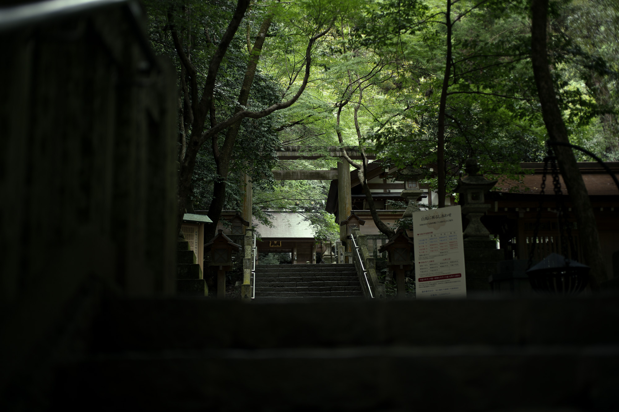 2022年10月12日 水曜日 多度大社 三重県桑名市多度町多度 上げ馬 LEICA ライカ LEICA M10-P ASC100 EDITION ASC Cine Classic モード Model shooting.  2022年10月10日 一升びん　https://www.isshobin.com/　「一升びん」店名の由来昭和37年の創業当時、松阪には飲食店も今ほどは無く、会食といえば家でご馳走を作って宴会というのが多かったそうです。円卓（ちゃぶ台）を大勢で囲んで、お酒の一升瓶を中心に置いて、わいわいと皆様に楽しんで食事をしていただける様な店にしたい！！そういう思いを込めて「一升びん」と名付けました。松阪牛「A5」といえば、言わずと知れた和牛の最高峰。一般的に、すき焼きやしゃぶしゃぶの最上級肉として供されるこのクラスは、焼肉用とされることはほぼありません。一升びんでは、その『松阪牛「A5」』を焼肉として提供！箸で掴んで近づけただけでも違いの分かる素晴らしい香りと、一口噛めば口中にほとばしる肉汁とともに、融けるような舌触りは、ちょっと他では味わえません！牛肉は（社）日本食肉格付協会によって格付が行われています。2つの等級があり、1つは歩留（ブド）まり等級、もう1つは肉質等級です。歩留まり等級はA･B･Cの3段階に分かれてAが最も良く、肉質等級は5・4・3・2・1の5段階に分かれ、5が最も良い等級となります。一升びん本店では格付けA5の松阪牛をご提供させて頂きます。牛肉は、脂の霜降り（サシ）がよく入っている部位が、ほんのり甘く、柔らかくて人気です。松阪牛がおいしいと評判なのは、肉やサシが独特の飼育法でまんべんなく体にまわっているから。食欲増進のためにビールを飲ませたり、血行をよくするためにマッサージをするなど、丹精こめて育てられ、とろけるほどの柔らかい上質の松阪肉ができるのです。一升びんの創業は、1962年（昭和37年）今の平生町店から始まりました。最高のお肉を更に美味しく召し上がっていただく秘密が秘伝の味噌ダレ！創業以来、脈々と伝わってきた門外不出の逸品です。その味わいは、こくのある自家製ダレでありながら、決して自己主張しすぎることはなく、あくまでも肉の味わいを最大限に引き立てる脇役に徹します。ぜひ、ご賞味下さい！松阪牛焼肉・ホルモン一升びん本店松阪牛すき焼・しゃぶしゃぶ一升びん本店"はなれ"松阪牛焼肉・ホルモン一升びん宮町店松坂牛焼肉・ホルモン一升びん平生町店松阪牛焼肉・ホルモン鍋一升びん塚本店松阪牛焼肉・ホルモン一升びん川井町店松阪牛焼肉・ホルモン一升びん久居インターガーデン店松阪牛焼肉一升びん名古屋ラシック店松阪牛焼肉・ホルモン一升びん鈴鹿店松阪牛焼肉一升びん伊勢松寿亭松阪牛焼肉・ホルモン一升びん四日市泊店松阪牛焼肉・すき焼・しゃぶしゃぶ・串焼き一升びん伊勢内宮店イオンモールNagoya Noritake Garden 1F回転焼肉　一升びん　名古屋則武新町店松阪牛一升びん名古屋名駅店 Chrome Hearts CHROME HEARTS クロムハーツ クロムハーツ名古屋 Chrome Hearts Nagoya ラシック 愛知 名古屋 https://www.chromehearts.com/ OFFEE CAKE "BONBON" ボンボン 洋菓子ボンボン BONBON https://cake-bonbon.com/ 名古屋の老舗洋菓子店「ボンボン」 喫茶ボンボン 1949年（昭和24年）創業。名古屋市東区の老舗洋菓子・純喫茶ボンボン。開店当時から「いいものをお値打ちで」という思いを込めて、素材にこだわったケーキをひとつひとつ丁寧に作り続けてまいります。当店でしか味わうことができない逸品の数々。昭和レトロ感漂う店内で是非ご堪能ください。  〒461-0001 愛知県名古屋市東区泉2-1-22 CHROME HEARTS "TAPE DISPENSER" クロムハーツ テープ　ディスペンサー 愛知 名古屋 Alto e Diritto altoediritto アルトエデリット セロハンテープ マネークリップ クロムハーツボールペン リチャードスターク CHROME HEARTS MONEY CLIP CH CROSS 925silver CHROME HEARTS “PEN 4COLOR FERNIE 925silver Wolfgang's Steakhouse Signature Aoyama WOLFGANS'S STEAKHOUSE ウルフギャング ステーキハウス Tボーンステーキ  東京都 港区 北青山 2-5-8　青山OM-SQUARE1F 03-5843-0822 100席 (ダイニング58席、個室A：10席、個室B：8席、バー＆ウイスキーラウンジ24席) BARONROUGE バロンルージュ 〒460-0008 愛知県名古屋市中区栄5丁目19番12 @nagoya_baronrouge 050-5872-9950 移転 renewal open 。大人がひっそりと訪れる酒と料理を嗜むお店 25年続くお店が少しだけ移転しリニューアルオープン。新築のビル2階に佇む大人のためのレストラン＆バー。大人の階段を上り重厚な扉を開けると1日の疲れをリセット。大人の日常にそっと手を差し伸べる程よい非日常空間。プロが作る美味い酒 と しっかり食べられる料理。酒だけでも 料理だけでも 会話だけでも お気軽に。初めてご来店の方も いつもの馴染みのお店にしてください。八乃助 ISAMUKATAYAMABACKLASH イサムカタヤマバックラッシュ 片山勇 バックラッシュ ATSUTA JINGU ///【LEICA M10-P ASC 100 Edition + SUMMILUX-M F1.4/50mm ASPH】2022年5月11日 火曜 熱田神宮 Wolfgang's Steakhouse Signature Aoyama WOLFGANS'S STEAKHOUSE ウルフギャング ステーキハウス Tボーンステーキ  東京都 港区 北青山 2-5-8　青山OM-SQUARE1F 03-5843-0822 100席 (ダイニング58席、個室A：10席、個室B：8席、バー＆ウイスキーラウンジ24席) THE RITZ-CARLTON TOKYO "CLUB LEVEL" // 2022.5.06-5.08 ザ・リッツ・カールトン クラブ®レベル ザ・リッツ・カールトンの最高峰のおもてなしを、最上級の空間と設備でご体験いただける「ザ・リッツ・カールトン クラブレベル」。そのおもてなしの中心となるクラブラウンジは、レジデンスをテーマにしたラウンジの概念を超えた空間です。 レセプション、ガーデンテラス、ダイニングルーム、ライブラリーラウンジの4つの エリアに分かれた「クラブラウンジ」では、時間帯によって多彩な趣きでお客様をお迎えいたしております。お客様のクラブレベルのステイをより快適なものにするクラブコンシェルジュは、お客様一人ひとりをお名前でお呼びし、それぞれのお好みに合わせたパーソナルなサービスをお届けいたします。お誕生日や記念日、プロポーズなど特別な日のご滞在には、ご要望に合わせて心に残るひとときを演出するプランをご提案します。 ザ・ロビーラウンジ ラウンジ ホテルの45階、お客様をお迎えするメインロビーに位置する「ザ・ロビーラウンジ」は、お待ち合わせや語らいの時間を特別なものにします。毎週金～日曜日の15時～16時20分の間、「ハープ＆アフタヌーンティー」を提供しております。確かな技術を有するハープ奏者が奏でる美しい音色を聴きながらペストリーシェフによるアフタヌーンティーをお召し上がり頂けます。夕暮れへと移ろいゆく美しい東京の景色と共に、ゆったりとした午後のひとときをお楽しみ下さい45階の開放的な空間で楽しむ伝統的なアフタヌーンティー ザ・リッツ・カールトン東京の45階、お客様をお迎えするメインロビーに位置する「ザ・ロビーラウンジ」は、お待ち合わせや語らいの時間を特別なものにします。 心地よいピアノの生演奏が流れるラグジュアリーな空間で、モダンなアフタヌーンティーセットや厳選された世界各地の茶葉によるティーセレクションと共に、優雅なひと時をお楽しみ下さい。東京の中心に位置する六本木というロケーションに相応しい、西洋と東洋のモダンな融合を表現したインテリアには、オリエンタルな紫、赤、モノトーンを基調とした配色や、和をモチーフとしたファブリックなどを用い、全体として和洋の調和を感じさせる空間となっており、時間の移ろいに合わせた生演奏が彩りを添えます。ISAIA Napoli TOKYO MIDTOWN イザイア ナポリ 東京ミッドタウン スーツ、ジャケット、シャツ、パンツ、シューズ、ネクタイ、チーフ、カバン 愛知 名古屋 Alto e Diritto altoediritto アルトエデリット 20224月19日 ミシュラン ヴァガボンド 2021年12月14日 LA VAGABONDE ラ・ヴァガボンド フレンチ フランス料理 鶴舞 ラヴァカボンド chef ryousuke iwamoto 岩本龍介 予約のとれないフレンチ 名店 美食家 放浪者 旅人 愛知県名古屋市中区千代田2丁目14-24 キャノンピア鶴舞 1F 愛知 名古屋 Alto e Diritto altoediritto アルトエデリット 超絶フレンチ ドレスコード ディナー 中華風家庭料理 ふーみん (表参道/中華料理)　〒107-0062 東京都港区南青山５丁目７−１７ 03-3498-4466　表参道・青山エリアの南青山の中華料理店、中華風家庭料理 ふーみんのオフィシャルページです　CHACOあまみや　千駄ヶ谷の有名なステーキ屋「CHACOあめみや」 炭焼きステーキ 〒151-0051 東京都渋谷区千駄ケ谷１丁目７−１２ 03-3402-6066 http://chacoamemiya.com/sp/ １９７９年（昭和５４年）に開店してから当時のままの姿の店内は重みを感じる。　（お客様からは「昭和の香りがする・・」と言われます）真っ白だった壁も年月を感じさせる趣がある。店内に入るとまず目に入るのが、大きな炭焼きの竈。営業当時からの肉の旨みを沢山吸い込んでいるかも・・・。１９７９年（昭和５４年）に開店してから当時のままの姿の店内は重みを感じる。　（お客様からは「昭和の香りがする・・」と言われます）真っ白だった壁も年月を感じさせる趣がある。店内に入るとまず目に入るのが、大きな炭焼きの竈。営業当時からの肉の旨みを沢山吸い込んでいるかも・・・。炭で焼かれたステーキのお皿は鉄板ではなく鋳物です。牛肉は融点が高いため冷めやすい鉄板ではすぐに肉が固くなってしまいます。チャコのお皿は長い時間温かいので柔らかい牛肉をゆっくりご賞味いただけます。ワイン片手に語らいながら心安らぐ美味しい時間をお過ごしください。LA BISBOCCIA　ラ・ビスボッチャ/LA BISBOCCIA (広尾/イタリアン) RISTORANTE LA BISBOCCIA 〒150-0013 東京都渋谷区恵比寿2-36-13 広尾MTRビル1F "イタリア政府公認レストラン"として選ばれた本格的イタリアン。スタッフもイタリア人が中心で、イタリアにいる気分になれそうな空間。 https://labisboccia.tokyo/ 愛知 名古屋 Vineria Cassini ヴィネリア カッシーニ 東別院 イタリアン 愛知県名古屋市中区伊勢山1-9-13 伊勢山ハイツ1F #1F Iseyamahaitsu, 1-9-13 Iseyama Naka-ku, Nagoya-shi, Aichi-ken 460-0026, Japan イタリアを旅するような気分で楽しむ郷土料理と様々なワイン "Vineria(ヴィネリア)とは、イタリア語でVino(ワイン)＋Osteria(食堂)を足した造語です。 イタリアの郷土料理とその土地で造られた様々なワインをイタリアを旅するような気分でお楽しみいただけます。 「イタリア現地の味」を目指した素材を生かすストレートかつ伝統的なイタリア料理をアラカルトもしくはコースでお楽しみください。 約200種類のイタリアワインの中から、ソムリエがベストなワインを選びます。お料理やお好みに合わせたグラスワインやワインコースもご用意しております。"2021年10月15日 煖 MEI メイ イタリアン 国際センター 名古屋市西区那古野1-23-2 四間道糸重3 mei-nagoya.com shikemichi サンタキアラ Santa Chiara コース 18時一斉スタート きのこ キノコ 森内敬子　モーゼ十戒　ナナツモリピノノワール 2016 pinot noir ドメーヌタカヒコ 曽我貴彦 北海道余市郡余市町登町1395  ワイン名古屋市東区徳川町　天然キノコ MEI 那古野 ネコ 猫　にゃんこ 愛知 名古屋 Alto e Diritto altoediritto アルトエデリット カウンター7席 えごま　味噌カツ ミソカツ みそかつ とんかつ 東別院 〒460-0021 愛知県名古屋市中区平和2丁目16-15 052-323-0963  鶴舞線のガード下にあるトンカツの美味しいお店 みそかつ えごま　和食 美奈登 ミナト 老舗焼肉店 神宮前/焼肉 レトロ モクモク 味噌ダレ とんちゃん 熱田 ホルモン ヤキニク とんねるず ペレ きたなシュラン 懐かし 名鉄堀田駅から徒歩20分 瑞穂区 〒467-0879 愛知県名古屋市瑞穂区平郷町2-6-2 LA VAGABONDE ラ・ヴァガボンド フレンチ フランス料理 鶴舞 ラヴァカボンド chef ryousuke iwamoto 岩本龍介 予約のとれないフレンチ 名店 美食家 放浪者 旅人 愛知県名古屋市中区千代田2丁目14-24 キャノンピア鶴舞 1F 愛知 名古屋 Alto e Diritto altoediritto アルトエデリット 超絶フレンチ ドレスコード ディナー STEAK HOUSE Beef Okuma ステーキハウス ビーフオークマ 名古屋店 霜降り黒毛和牛 サーロイン フィレ シャトーブリアン 仙台牛 宮城牛 近江牛 150g 200g ハンバーグ 松坂屋 名古屋店 愛知　名古屋 Alto e Diritto altoediritto  GW休暇 Alto e Diritto アルトエデリット altoediritto 愛知 名古屋 ゴールデンウィーク 休暇 炭火焼肉 煖  だん ダン 愛知 名古屋 焼き肉  名駅店 瑞穂本店 Alto e Diritto altoediritto アルトエデリット 夢 希望 Dream FREEMASONRY フリーメーソン AUDEMARS PIGUET オーデマピゲ SEX PISTOLS セックスピストルズ JOY DIVISION ジョイディヴィジョン DAVID BOWIE デヴィットボーウィ THE VELVET UNDERGROUND ザベルベットアンダーグラウンド THE ROLLING STONES ザローリングストーンズ QUEEN クイーン LED ZEPPELIN レッドツェッペリン Alto e Diritto アルトエデリット 愛知 名古屋 Italy MOORER ムーレー / BELVEST ベルベスト / ISAIA イザイア / LUCA GRASSIA ルカグラシア / Alfredo Rifugio アルフレードリフージオ / LARDINI ラルディーニ / De Petrillo デ・ペトリロ / TAGLIATORE タリアトーレ / Sealup シーラップ / EMMETI エンメティ / CINQUANTA チンクアンタ / SILENCE サイレンス / MOLEC モレック / Finamore フィナモレ / ORIAN オリアン / AVINO Laboratorio Napoletano アヴィーノ / INCOTEX インコテックス / INCOTEX SLACKS インコテックススラックス / PT TORINO ピーティートリノ / BERWICH ベルウィッチ / VIGANO ヴィガーノ / RICHARD J.BROWN リチャードJブラウン / FEDELI フェデーリ / MANRICO CASHMERE マンリコカシミヤ / ZANONE ザノーネ / Cruciani クルチアーニ / GRAN SASSO グランサッソ / Settefili Cashmere セッテフィーリカシミア / Girelli Bruni ジレリブルーニ / ENZO BONAFE エンツォボナフェ / FERRANTE フェランテ / GHOUD ゴード / ACATE アカーテ / Cisei シセイ / STEFANO RICCI ステファノリッチ / ALPO アル France Georges de Patricia ジョルジュドパトリシア / SAINT LAURENTサンローラン / CELINE セリーヌ / AUBERCY オーベルシー / lucien pellat-finet ルシアンペラフィネ / NATIONAL STANDARD ナショナルスタンダー U.S.A. South Paradiso Leather サウスパラディソ / JACQUESMARIEMAGE ジャックマリーマージュ / MARC MARMEL マークマーメル / WHITE'S BOOTS ホワイツブーツ / JUTTA NEUMANN ユッタニューマン England GRENFELL グレンフェル / J&M DAVIDSON ジェイアンドエムディヴィッドソン / JAMES GROSE ジェームスグロース / JOHN SMEDLEY ジョンスメドレー / Johnstons ジョンストンズ Other FIXER フィクサー / cuervo bopoha クエルボ ヴァローナ / BACKLASH The Line バックラッシュ ザライン / RIVORA リヴォラ / C.QP / Order Suit オーダースーツ 愛知 名古屋 Alto e Diritto altoediritto アルトエデリッライカM10 アポズミクロン 2021 October.27 21年目スタート 21年目からは楽しくゆっくりすごしてゆけたらなと思ってます ジョーストラマー 「10.26(tue)」,「10.27(wed)」 お休みとなります Thames LONDON / HERBIE YAMAGUCHI 1983 テムズ川 ロンドン ハービー山口 1983年 イギリス England イングランド 写真家 写真 Not Banksy ノットバンクシー BANKSY バンクシー 我々の敵はあなたの敵じゃない   共に生きよう LEICA // APO-SUMMICRON-M f2/35mm ASPH. ライカ アポ・ズミクロンM f2/35mm ASPH. 愛知 名古屋 Alto e Diritto altoediritto アルトエデリット 世界最高峰のレンズと称賛され続けているライカMレンズにおいて、アポ・ズミクロンM f2/35mm ASPH.もそのMレンズの名にふさわしい優れた性能を誇ります。さらに、アポ・ズミクロンMシリーズのレンズとしてはもちろんのこと、これまでにない新しいタイプのMレンズとして目をひく存在でもあります。その特長は、Mレンズの中で最短で唯一ともいえる最短撮影距離と、きわめてシャープな描写力、美しいボケ味、そして開放F値F2という明るさにあります。ドイツならではの高度な製造技術が生み出したこのレンズを活用すれば、M型カメラはもとより、「ライカSL2」や「ライカSL2-S」でも、優れた描写力を活用してあらゆるシーンでの撮影が楽しめます。 光学系の設計に全撮影距離で高画質が得られるフローティングシステムを採用しているため、近距離撮影でも高い描写力を発揮しながら、Mレンズでは唯一となるわずか30cmという最短撮影距離を実現しています。フォーカスリングの回転角は300°ときわめて大きく、最短撮影距離が短くなっているにも関わらず緻密なピント合わせが可能です。開放値はF2.0という明るさで、クリエイティブな作品づくりも多彩に楽しめます。その時々の貴重な瞬間を、ライカらしい高品位な写真として記録することができます。イギリスの写真家ヒュー・ジョン氏は、ポートレート撮影でもアポ・ズミクロンM f2/35mm ASPH.が威力を発揮することを実感しました。「被写界深度がこれほど浅くなるとは驚きました。まつげの部分が驚くほどシャープに描写され、そこから徐々にボケていく。これは元のサイズのまま一部をトリミングしたものですが、85mm、いや、105mmのレンズで撮影したかのような仕上がりです！」「アポ・ズミクロンM f2/35mm ASPH.は、美しいボケ味でポートレート写真に新たな可能性をもたらすレンズですね。それに接写もこなせるので、まさにオールラウンドな1本だと言えます。色の再現性も絶妙で、シャープな解像感も素晴らしい。これさえあれば他のレンズはいらないと言ってもいいかもしれません！」2021年8月18日 Leica Nagoya ライカ松坂屋名古屋店 ライカ名古屋 460-8430 愛知県中区栄3-16-1 松坂屋名古屋店 北館3Ｆ 052-264-2840 入鹿池　いるかいけ 名古屋近郊のボート釣りのメッカ 愛知県犬山市の入鹿、飛騨木曽川国定公園内にある人工の農業用ため池 わかさぎ釣り・ブラックバス釣りなら入鹿池にある見晴茶屋へ https://inuyama.gr.jp/miharashi.html 犬山観光情報  ワカサギやブラックバス釣りのメッカとして知られる入鹿池 ブラックバス釣果 犬山名物 でんがく 五平餅 見晴茶屋 愛知県犬山市堤下60 蓬ぜん 犬山 犬山口 愛知 名古屋名物 ひつまぶし http://houzen.s-d.jp/index.html 犬山城 ミシュランガイド愛知2019 あつた蓬莱軒 22年間修行 店主 うなぎ ウナギ 鰻 愛知県犬山市上坂町4-168 0568-39-5077 犬山市観光協会 ミシュラン 博多串焼き 八乃助  焼き鳥 焼鳥 愛知 名古屋 とみやBLOG 富屋酒店 とみやBLOG ライカ LEICA LEICA M10-p ASC100 EDITION ライカM10-P ズミルックス 2021年7月27日 煖 MEI メイ イタリアン 国際センター 名古屋市西区那古野1-23-2 四間道糸重3 mei-nagoya.com shikemichi サンタキアラ Santa Chiara コース 18時一斉スタート きのこ キノコ 森内敬子　モーゼ十戒　ナナツモリピノノワール 2016 pinot noir ドメーヌタカヒコ 曽我貴彦 北海道余市郡余市町登町1395  ワイン名古屋市東区徳川町　天然キノコ MEI 那古野 ネコ 猫　にゃんこ 愛知 名古屋 Alto e Diritto altoediritto アルトエデリット カウンター7席 えごま　味噌カツ ミソカツ みそかつ とんかつ 東別院 〒460-0021 愛知県名古屋市中区平和2丁目16-15 052-323-0963  鶴舞線のガード下にあるトンカツの美味しいお店 みそかつ えごま　和食 美奈登 ミナト 老舗焼肉店 神宮前/焼肉 レトロ モクモク 味噌ダレ とんちゃん 熱田 ホルモン ヤキニク とんねるず ペレ きたなシュラン 懐かし 名鉄堀田駅から徒歩20分 瑞穂区 〒467-0879 愛知県名古屋市瑞穂区平郷町2-6-2 LA VAGABONDE ラ・ヴァガボンド フレンチ フランス料理 鶴舞 ラヴァカボンド chef ryousuke iwamoto 岩本龍介 予約のとれないフレンチ 名店 美食家 放浪者 旅人 愛知県名古屋市中区千代田2丁目14-24 キャノンピア鶴舞 1F 愛知 名古屋 Alto e Diritto altoediritto アルトエデリット 超絶フレンチ ドレスコード ディナー STEAK HOUSE Beef Okuma ステーキハウス ビーフオークマ 名古屋店 霜降り黒毛和牛 サーロイン フィレ シャトーブリアン 仙台牛 宮城牛 近江牛 150g 200g ハンバーグ 松坂屋 名古屋店 愛知　名古屋 Alto e Diritto altoediritto  GW休暇 Alto e Diritto アルトエデリット altoediritto 愛知 名古屋 ゴールデンウィーク 休暇 炭火焼肉 煖  だん ダン 愛知 名古屋 焼き肉  名駅店 瑞穂本店 Alto e Diritto altoediritto アルトエデリット 夢 希望 Dream FREEMASONRY フリーメーソン AUDEMARS PIGUET オーデマピゲ SEX PISTOLS セックスピストルズ JOY DIVISION ジョイディヴィジョン DAVID BOWIE デヴィットボーウィ THE VELVET UNDERGROUND ザベルベットアンダーグラウンド THE ROLLING STONES ザローリングストーンズ QUEEN クイーン LED ZEPPELIN レッドツェッペリン Alto e Diritto アルトエデリット 愛知 名古屋 Italy MOORER ムーレー / BELVEST ベルベスト / ISAIA イザイア / LUCA GRASSIA ルカグラシア / Alfredo Rifugio アルフレードリフージオ / LARDINI ラルディーニ / De Petrillo デ・ペトリロ / TAGLIATORE タリアトーレ / Sealup シーラップ / EMMETI エンメティ / CINQUANTA チンクアンタ / SILENCE サイレンス / MOLEC モレック / Finamore フィナモレ / ORIAN オリアン / AVINO Laboratorio Napoletano アヴィーノ / INCOTEX インコテックス / INCOTEX SLACKS インコテックススラックス / PT TORINO ピーティートリノ / BERWICH ベルウィッチ / VIGANO ヴィガーノ / RICHARD J.BROWN リチャードJブラウン / FEDELI フェデーリ / MANRICO CASHMERE マンリコカシミヤ / ZANONE ザノーネ / Cruciani クルチアーニ / GRAN SASSO グランサッソ / Settefili Cashmere セッテフィーリカシミア / Girelli Bruni ジレリブルーニ / ENZO BONAFE エンツォボナフェ / FERRANTE フェランテ / GHOUD ゴード / ACATE アカーテ / Cisei シセイ / STEFANO RICCI ステファノリッチ / ALPO アル France Georges de Patricia ジョルジュドパトリシア / SAINT LAURENTサンローラン / CELINE セリーヌ / AUBERCY オーベルシー / lucien pellat-finet ルシアンペラフィネ / NATIONAL STANDARD ナショナルスタンダー U.S.A. South Paradiso Leather サウスパラディソ / JACQUESMARIEMAGE ジャックマリーマージュ / MARC MARMEL マークマーメル / WHITE'S BOOTS ホワイツブーツ / JUTTA NEUMANN ユッタニューマン England GRENFELL グレンフェル / J&M DAVIDSON ジェイアンドエムディヴィッドソン / JAMES GROSE ジェームスグロース / JOHN SMEDLEY ジョンスメドレー / Johnstons ジョンストンズ Other FIXER フィクサー / cuervo bopoha クエルボ ヴァローナ / BACKLASH The Line バックラッシュ ザライン / RIVORA リヴォラ / C.QP / Order Suit オーダースーツ 愛知 名古屋 Alto e Diritto altoediritto アルトエデリット G63 AMG DESERT SAND BENTLEY Continental GT V12 ベントレー コンチネンタルGT Hallmark グレー シルバー SAINT LAURENT サンローラン フリーメーソン 5711 1R ローズゴールド ノーチラスローズ FIXER イルミナティアイズリング 18Kゴールド PATEK PHILIPPE パテックフィリップ 3階建て ビル ヴィンテージビル アンティークビル 渋ビル NEW NOT BANKSY REALISATION // Covidian Death Cult Chimp "NNBRCDCCCC014" シルクスクリーン ペンキ プライウッド ED 1/1 2020年 NOT BANKSY STOT21stCplanB Scorpion Thunderbolt of the 21 Century Plan B L-13 スティーブロウ アダムウッド ユニット Harry Adams 2007年 NOT BANKSY 2018年 NOT NOT BANKSY 2019年 THE REAL NOT BANKSY FRONT 2020年 NEW NOT BANKSY REALISATION 2020年 THE NEW NOT BANKSY REALISATION 愛知 名古屋 Alto e Diritto altoediritto アルトエデリット バンクシー ノットバンクシー ノットノットバンクシー ニューノットバンクシー ロンドン LONDO FIXER イルミナティ アイズネックレス ROLEX ロレックス FREEMASONRY フリーメーソン AUDEMARS PIGUET オーデマピゲ SEX PISTOLS セックスピストルズ JOY DIVISION ジョイディヴィジョン DAVID BOWIE デヴィットボーウィ THE VELVET UNDERGROUND ザベルベットアンダーグラウンド THE ROLLING STONES ザローリングストーンズ QUEEN クイーン LED ZEPPELIN レッドツェッペリン Alto e Diritto アルトエデリット 愛知 名古屋 Italy MOORER ムーレー / BELVEST ベルベスト / ISAIA イザイア / LUCA GRASSIA ルカグラシア / Alfredo Rifugio アルフレードリフージオ / LARDINI ラルディーニ / De Petrillo デ・ペトリロ / TAGLIATORE タリアトーレ / Sealup シーラップ / EMMETI エンメティ / CINQUANTA チンクアンタ / SILENCE サイレンス / MOLEC モレック / Finamore フィナモレ / ORIAN オリアン / AVINO Laboratorio Napoletano アヴィーノ / INCOTEX インコテックス / INCOTEX SLACKS インコテックススラックス / PT TORINO ピーティートリノ / BERWICH ベルウィッチ / VIGANO ヴィガーノ / RICHARD J.BROWN リチャードJブラウン / FEDELI フェデーリ / MANRICO CASHMERE マンリコカシミヤ / ZANONE ザノーネ / Cruciani クルチアーニ / GRAN SASSO グランサッソ / Settefili Cashmere セッテフィーリカシミア / Girelli Bruni ジレリブルーニ / ENZO BONAFE エンツォボナフェ / FERRANTE フェランテ / GHOUD ゴード / ACATE アカーテ / Cisei シセイ / STEFANO RICCI ステファノリッチ / ALPO アル France Georges de Patricia ジョルジュドパトリシア / SAINT LAURENTサンローラン / CELINE セリーヌ / AUBERCY オーベルシー / lucien pellat-finet ルシアンペラフィネ / NATIONAL STANDARD ナショナルスタンダー U.S.A. South Paradiso Leather サウスパラディソ / JACQUESMARIEMAGE ジャックマリーマージュ / MARC MARMEL マークマーメル / WHITE'S BOOTS ホワイツブーツ / JUTTA NEUMANN ユッタニューマン England GRENFELL グレンフェル / J&M DAVIDSON ジェイアンドエムディヴィッドソン / JAMES GROSE ジェームスグロース / JOHN SMEDLEY ジョンスメドレー / Johnstons ジョンストンズ Other FIXER フィクサー / cuervo bopoha クエルボ ヴァローナ / BACKLASH The Line バックラッシュ ザライン / RIVORA リヴォラ / C.QP / Order Suit オーダースーツ