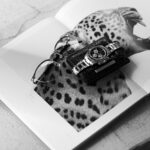 RALPH LAUREN "RL-678" × Georges de Patricia "Cloud Crocodile" 18K GOLD × ROLEX "COSMOGRAPH DAYTONA" 116595RBOW ラルフローレン サングラス 眼鏡 アイウエア ジョルジュドパトリシア クラウドクロコダイル ロレックス デイトナ 愛知 名古屋 Alto e Diritto altoediritto アルトエデリット ヴィンテージサングラス