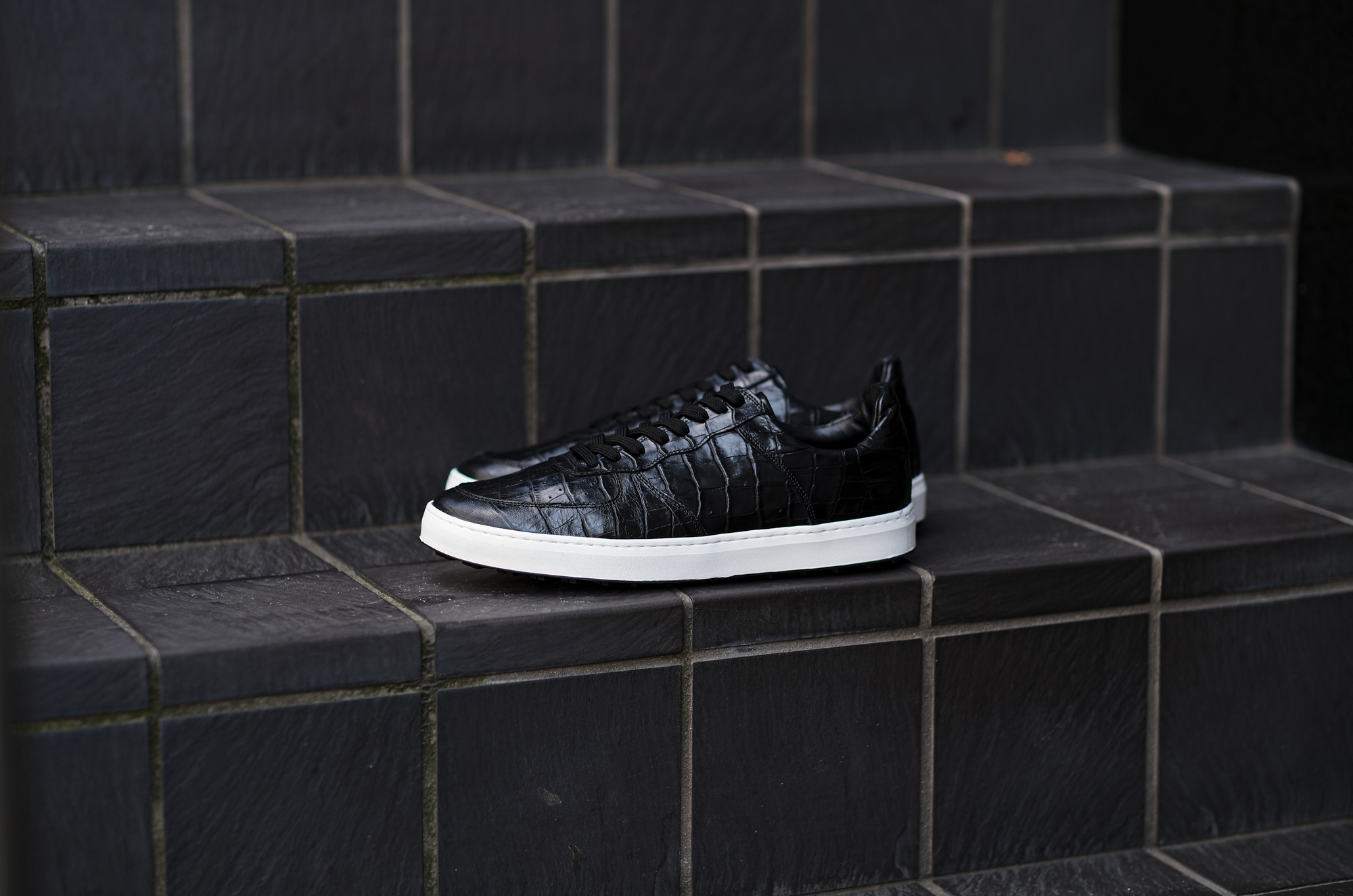 WH WHA-1900 EMBOSSED CROCODILE LEATHER SNEAKERS BLACK 2024SS【Size 8】 ダブルエイチ エンボスクロコダイルレザー スニーカー ブラック  2024年春夏 愛知 名古屋 Alto e Diritto altoediritto アルトエデリット