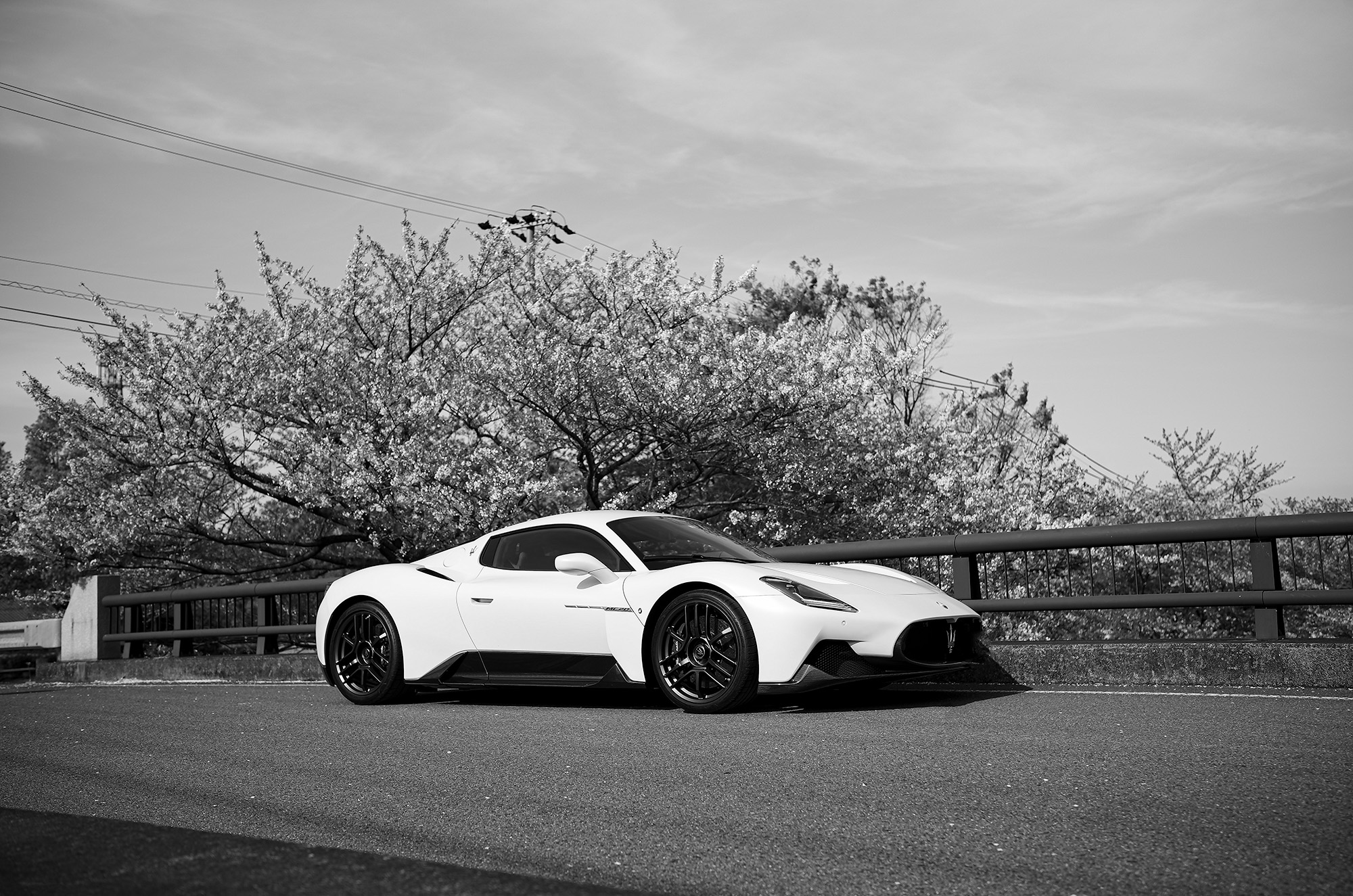 桜 サクラ cherry blossoms 岐阜 羽根谷だんだん公園　養老 多度 LEICA ライカ APO SUMMICRON 35ミリ アポズミクロン MASERATI MC20 マセラティ スーパーカー マットホワイト