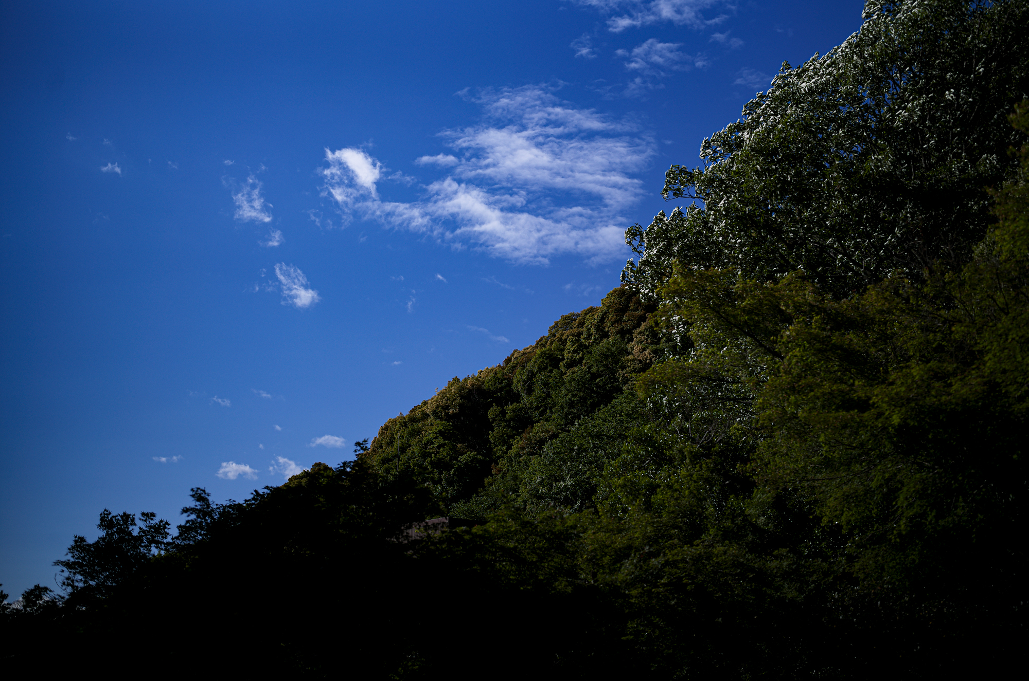 伊奈波神社 〒500-8043 岐阜県岐阜市伊奈波通り1の1　Tel.058‐262‐5151　FAX.058‐262‐5153　inaba_jinja 伊奈波神社（いなばじんじゃ）は、岐阜県岐阜市伊奈波通りにある神社。式内社論社、美濃国三宮で、旧社格は国幣小社。2015年（平成27年）4月24日、「信長公のおもてなし」が息づく戦国城下町・岐阜 」の構成文化財として日本遺産に認定される[1]。祭神垂仁天皇の第一皇子で、この地の開拓神である五十瓊敷入彦命（いにしきいりひこのみこと）を主祭神とし、妃の淳熨斗媛命（ぬのしひめのみこと）、母の日葉酢媛命（ひばすひめのみこと）、外祖父の彦多都彦命（ひこたつひこのみこと、稲葉国造の祖）、臣下の物部十千根命（もののべのとちねのみこと）を配祀する。これらの神を伊奈波大神と総称する。社伝によれば、五十瓊敷入彦命は朝廷の命により奥州を平定したが、五十瓊敷入彦命の成功を妬んだ陸奥守豊益の讒言により、朝敵とされて現在の伊奈波神社の地で討たれたという。歴史　社伝によれば、景行天皇14年、武内宿禰が稲葉山北西の椿原（現在の岐阜公園内の丸山）に五十瓊敷入彦命を祀ったのに始まるとされる。壬申の乱の際に天武天皇が当社に戦勝を祈願したという。天文8年（1539年）、斎藤道三が稲葉山に稲葉山城を築城するにあたり、現在地に遷座した。この際、その地にあった物部十千根命を祀る物部神社を合祀し、稲葉山城の鎮守とした。以降も、岐阜の総産土神として篤い崇敬を受けた。明治6年に県社に列格し、昭和14年に国幣小社に昇格した。戦後の昭和27年7月に岐阜県神社庁より県神社庁長参向指定神社（金幣社）の指定を受ける、『延喜式神名帳』では、美濃国厚見郡の神社として「伊奈波神社」の社名は記されていないが小社として「物部神社」の社名があり、これが当社に合祀された物部神社であるとされる。あるいは、当社自体が式内・物部神社であるとする説もある。『美濃国神名帳』には「正一位 伊奈波大神」「従五位下 物部明神」と記載されている。