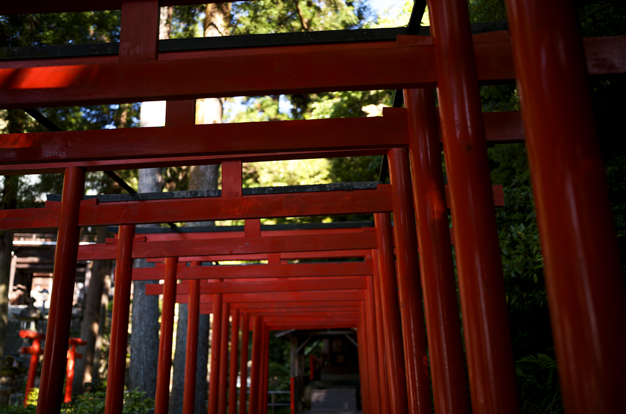 伊奈波神社 〒500-8043 岐阜県岐阜市伊奈波通り1の1　Tel.058‐262‐5151　FAX.058‐262‐5153　inaba_jinja 伊奈波神社（いなばじんじゃ）は、岐阜県岐阜市伊奈波通りにある神社。式内社論社、美濃国三宮で、旧社格は国幣小社。2015年（平成27年）4月24日、「信長公のおもてなし」が息づく戦国城下町・岐阜 」の構成文化財として日本遺産に認定される[1]。祭神垂仁天皇の第一皇子で、この地の開拓神である五十瓊敷入彦命（いにしきいりひこのみこと）を主祭神とし、妃の淳熨斗媛命（ぬのしひめのみこと）、母の日葉酢媛命（ひばすひめのみこと）、外祖父の彦多都彦命（ひこたつひこのみこと、稲葉国造の祖）、臣下の物部十千根命（もののべのとちねのみこと）を配祀する。これらの神を伊奈波大神と総称する。社伝によれば、五十瓊敷入彦命は朝廷の命により奥州を平定したが、五十瓊敷入彦命の成功を妬んだ陸奥守豊益の讒言により、朝敵とされて現在の伊奈波神社の地で討たれたという。歴史　社伝によれば、景行天皇14年、武内宿禰が稲葉山北西の椿原（現在の岐阜公園内の丸山）に五十瓊敷入彦命を祀ったのに始まるとされる。壬申の乱の際に天武天皇が当社に戦勝を祈願したという。天文8年（1539年）、斎藤道三が稲葉山に稲葉山城を築城するにあたり、現在地に遷座した。この際、その地にあった物部十千根命を祀る物部神社を合祀し、稲葉山城の鎮守とした。以降も、岐阜の総産土神として篤い崇敬を受けた。明治6年に県社に列格し、昭和14年に国幣小社に昇格した。戦後の昭和27年7月に岐阜県神社庁より県神社庁長参向指定神社（金幣社）の指定を受ける、『延喜式神名帳』では、美濃国厚見郡の神社として「伊奈波神社」の社名は記されていないが小社として「物部神社」の社名があり、これが当社に合祀された物部神社であるとされる。あるいは、当社自体が式内・物部神社であるとする説もある。『美濃国神名帳』には「正一位 伊奈波大神」「従五位下 物部明神」と記載されている。