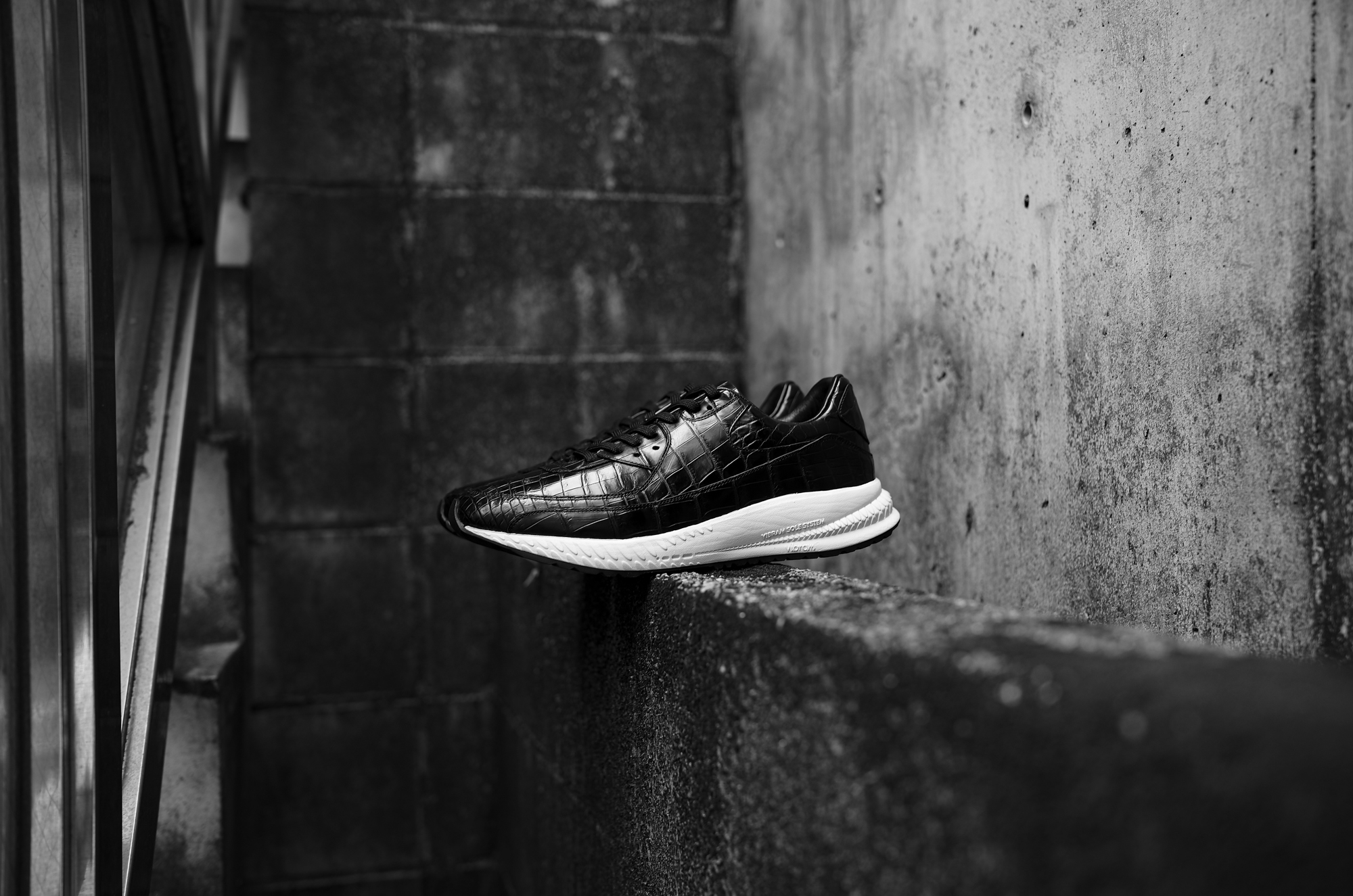 WH (ダブルエイチ) WHA-0001 FASTER Last (ファスター ラスト) CROCODILE LEATHER SNEAKERS クロコダイル レザー スニーカー BLACK×WHITE (ブラック×ホワイト) MADE IN JAPAN (日本製) 2025 【ご予約開始】愛知 名古屋 Alto e Diritto altoediritto アルトエデリット