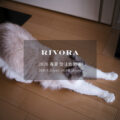 RIVORA / リヴォラ 【2026 春夏 受注会開催 2025.8.23(sat)~2025.8.24(sun)】のイメージ