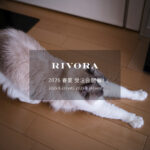 RIVORA / リヴォラ 【2026 春夏 受注会開催 2025.8.23(sat)～2025.8.24(sun)】カシミヤ シルクニット 愛知 名古屋 Alto e Diritto altoediritto アルトエデリット リネン、ヴィンテージリネン、エクストラファインコットン、スピンコットン、パイル