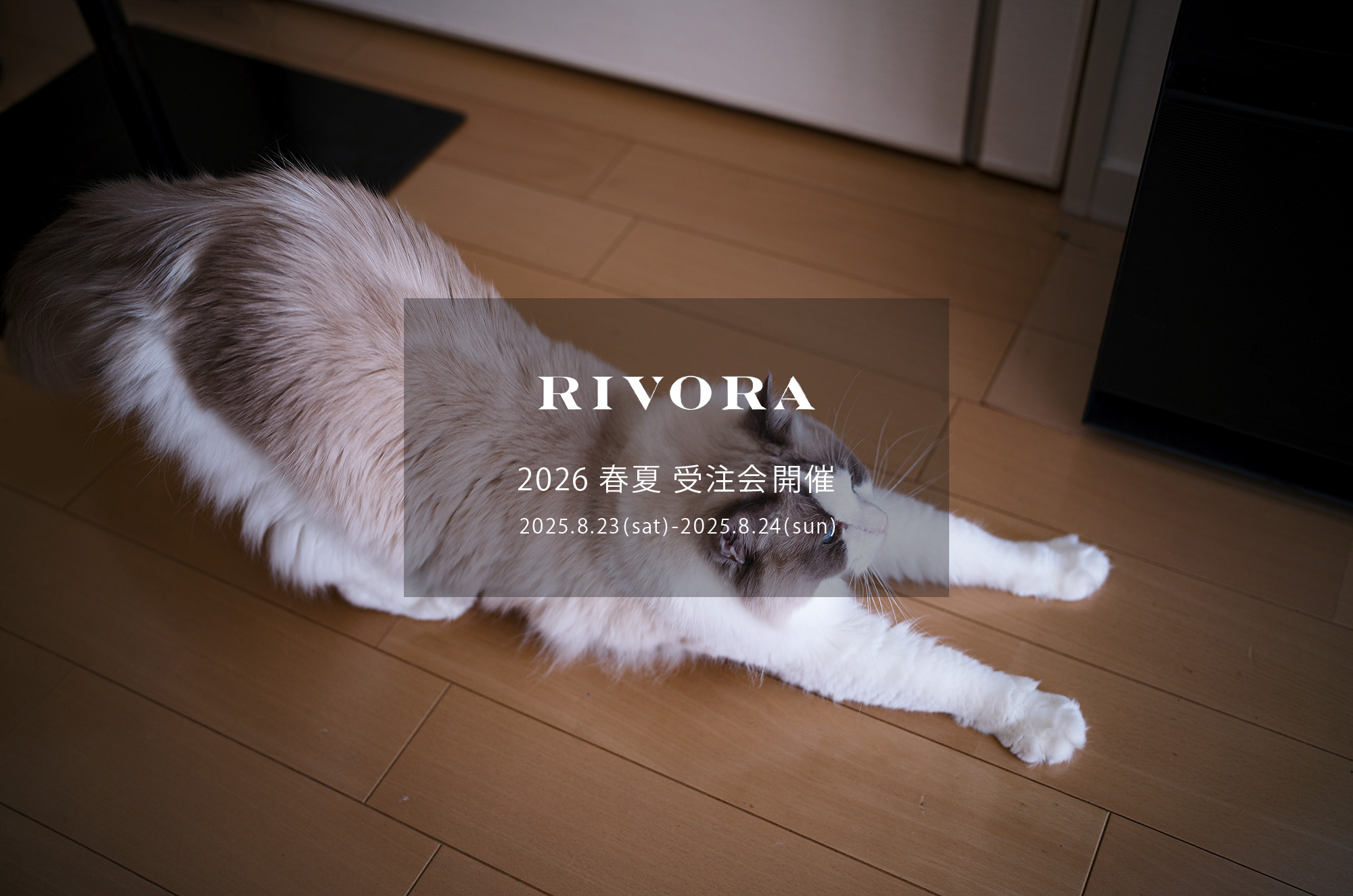 RIVORA / リヴォラ 【2026 春夏 受注会開催 2025.8.23(sat)～2025.8.24(sun)】カシミヤ シルクニット 愛知 名古屋 Alto e Diritto altoediritto アルトエデリット リネン、ヴィンテージリネン、エクストラファインコットン、スピンコットン、パイル