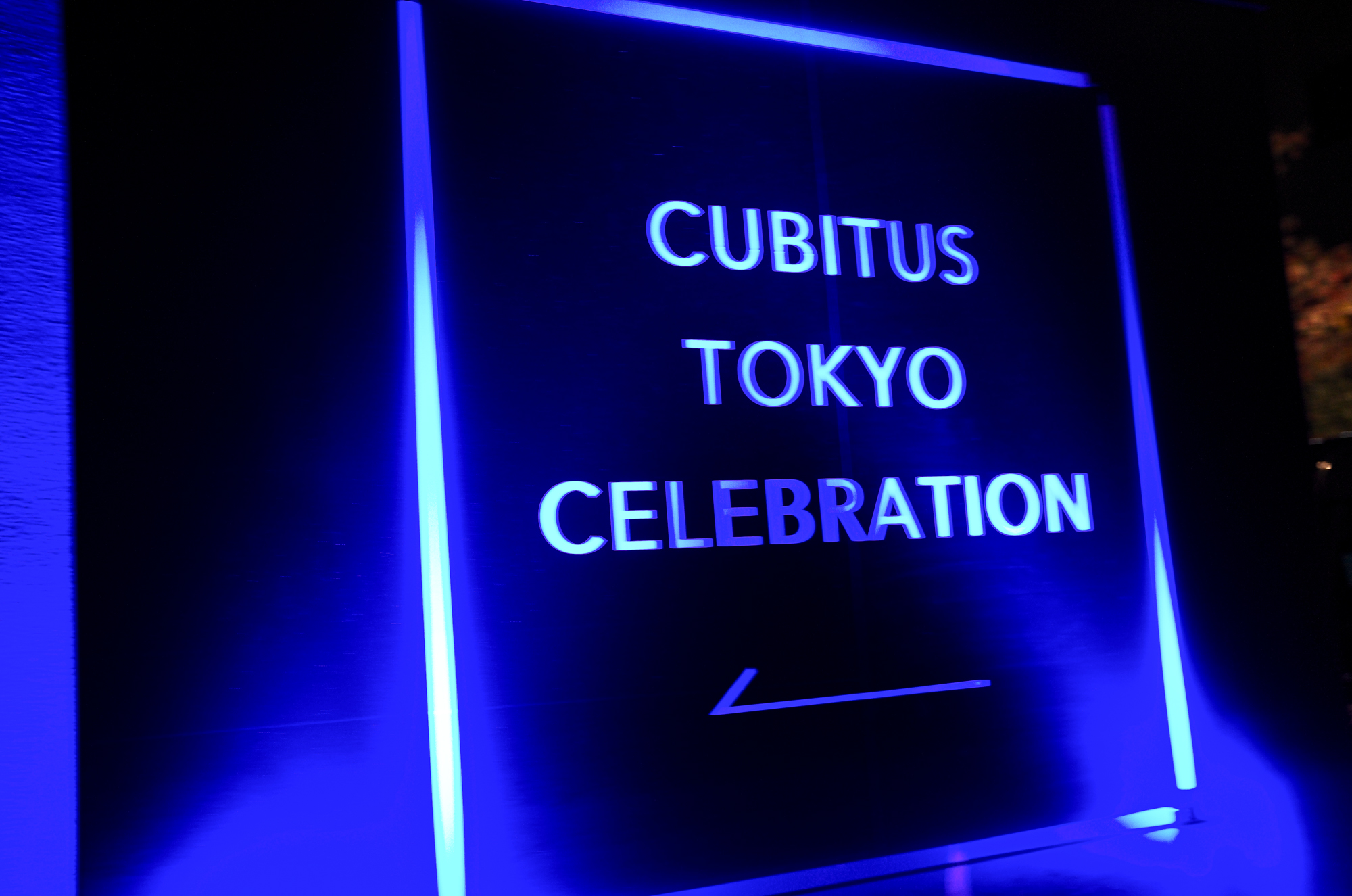CUBITUS TOKYO CELEBRATION キュビタス 東京セレブレーション パテック フィリップ キュビタス コレクション Cubitus 発表!創造性に酔いしれた特別な夜 愛知 名古屋 Alto e Diritto altoediritto アルトエデリット 魔裟斗 クロコダイル HAWK CROCODILE ホーククロコダイル