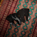 ENZO BONAFE ART.3369 Chukka boots CROCODILE COCCO NERO , SUPER BUCK NEROのイメージ