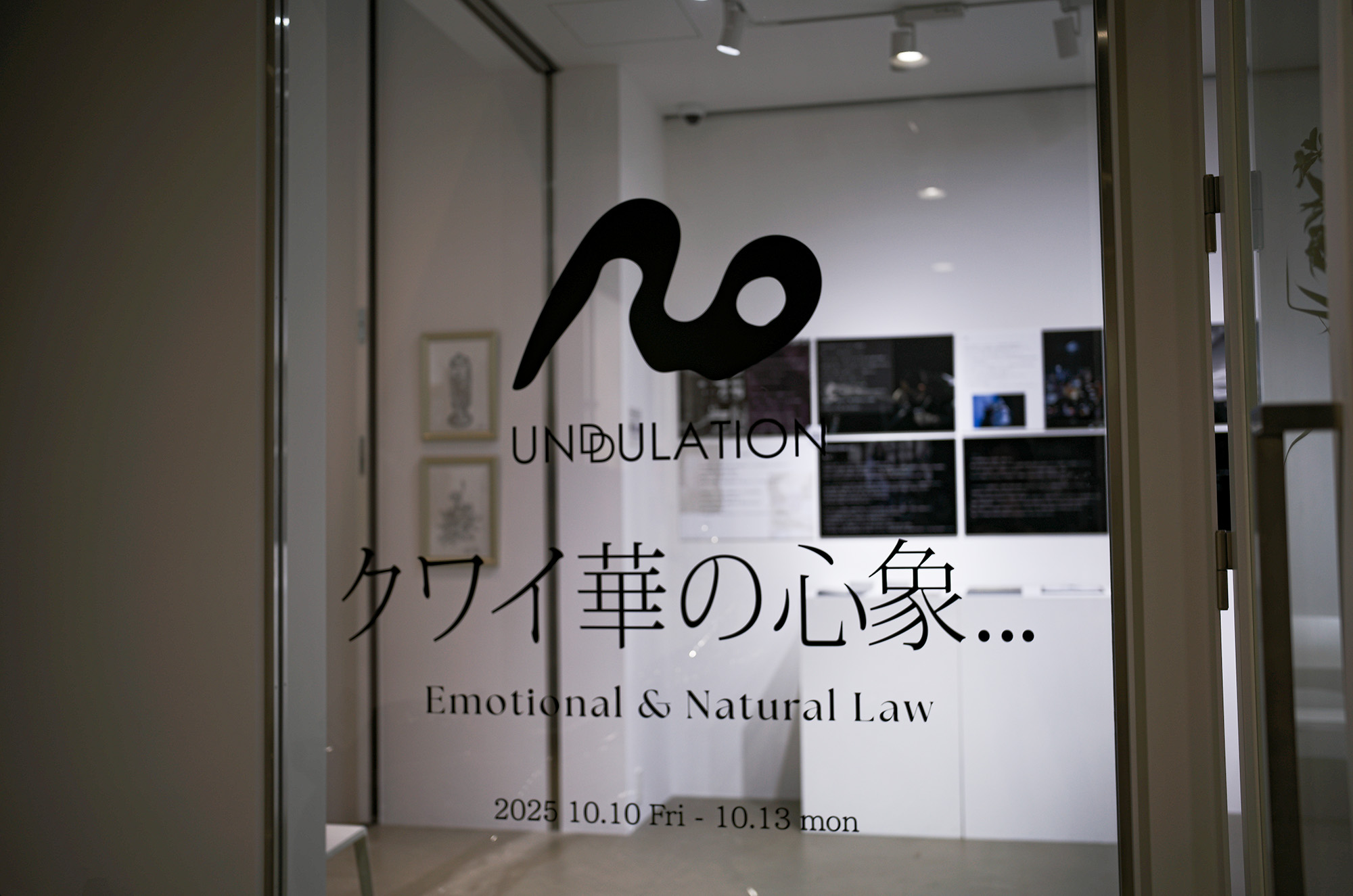 UNDULATION emotional&Natural law クワイ華の心象... VIPプレビュー ARTGALLERY 現代アート 現代美術 アートギャラリー アンドリューション 愛知 名古屋 Alto e Diritto altoediritto アルトエデリット