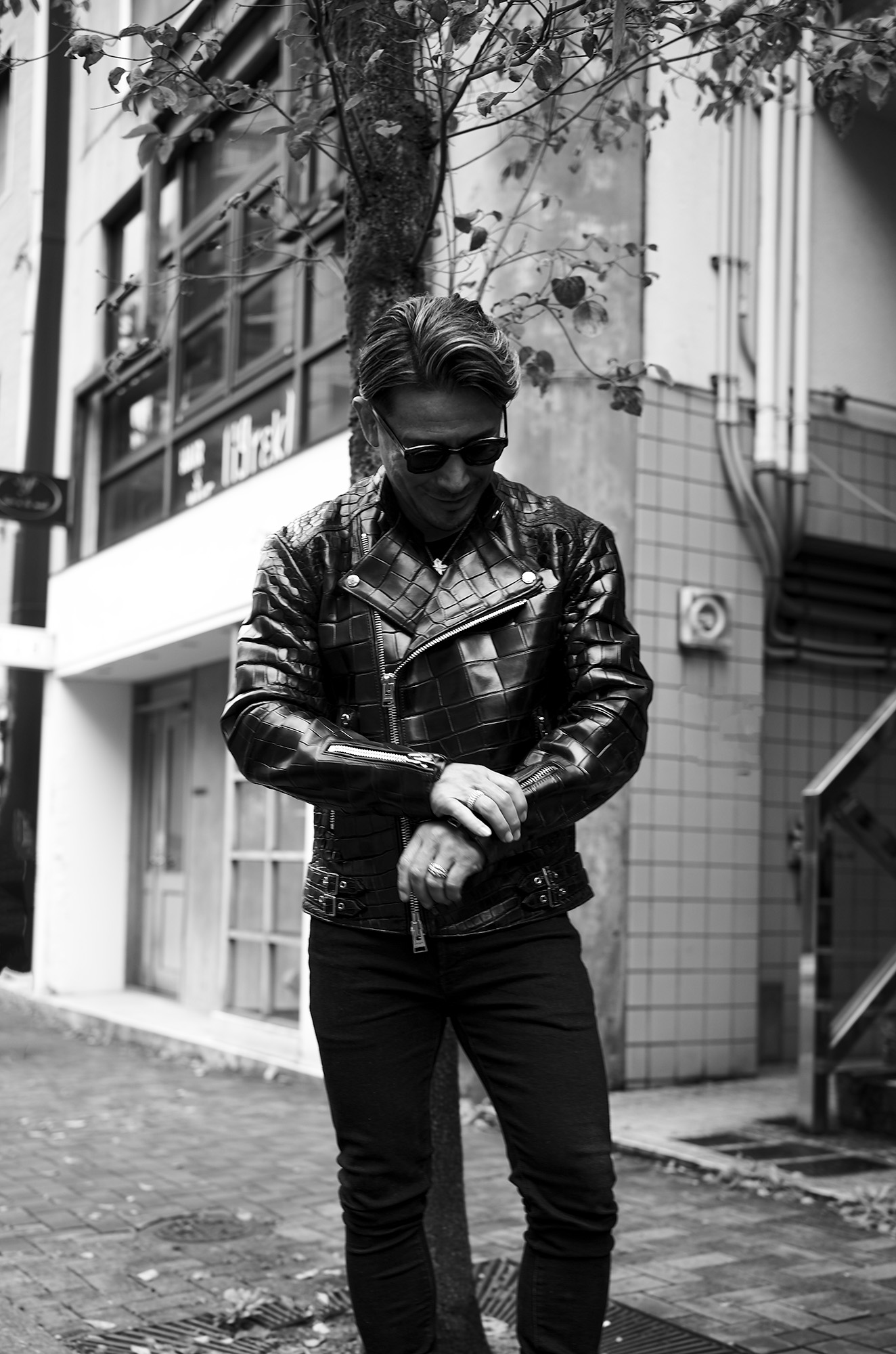 unfading-hawkcrocodile-