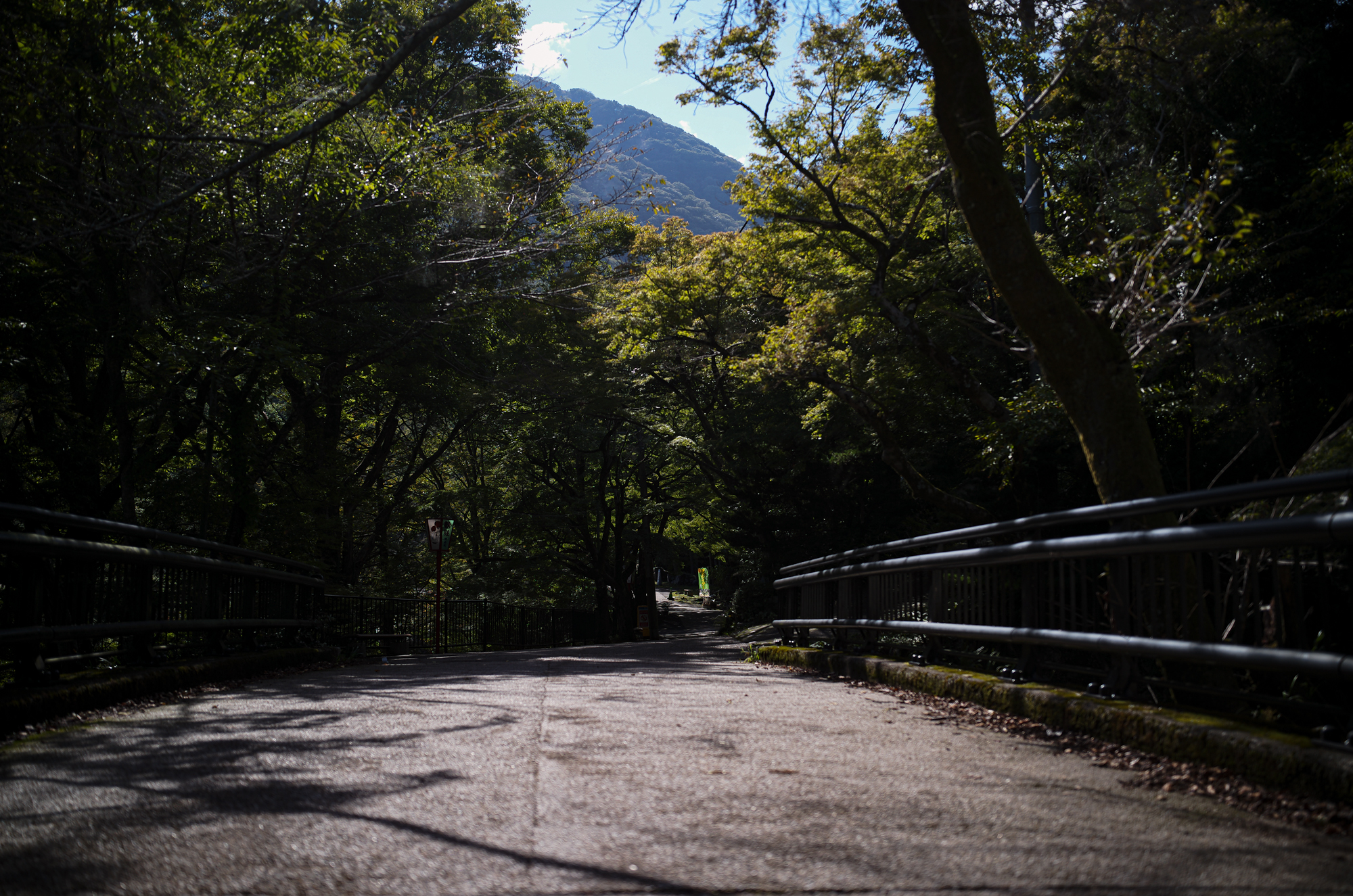 LEICA ライカ APO SUMMICRON35mm アポズミクロン35ミリ 養老の滝 〒503-1267 岐阜県養老郡養老町高林１２９８−２　養老の滝は、岐阜県養老郡養老町にある木曽川水系に属する落差32m、幅4mの滝である。岐阜県により設置された養老公園内にあり、揖斐関ヶ原養老国定公園に属する。日本百名瀑。古来より文人・墨客を魅了した悠久の美養⽼の滝⼊⼝駐⾞場から1.2km 徒歩30分、養老駅から徒歩50分。古来、文人墨客にも親しまれてきた名瀑で、日本の滝百選に選定されています。高さ30m、幅が約4mあり、岩角を打って流れ落ちる水は清冽で、その雄麗な姿は必見です。見事な景観を是非お楽しみください。毎年7月1日には観光客の無事を祈る養老の滝開きが行われ、夏の風物詩として定着しています。孝子物語【こうしものがたり】滝の水が酒に変わったという「養老孝子物語」はこの地域に語り継がれる伝説です。七つの橋四季折々の姿を見せる園内において、滝から流れる小川にかかる7つの橋はそれぞれ特徴的です。散策の休憩や写真撮影のロケーションなどにも重宝されます。渡月橋 不動橋 松風橋 みゆき橋 万代橋 紅葉橋 妙見橋 菊水泉 養老山地から湧き出るミネラルを含む水は、世の中をくくり結び、病に効く「菊水泉」と名付けられ、日本の名水百選に指定されています。養老神社境内にあり、元正天皇が浴した美泉と言われています。天皇がこの泉で手や顔を洗うと肌がきれいになり、痛い所を洗うと痛みが取れたと言われた。泉の水は菊の香りがすると評判になったため、菊水泉と呼ばれるようになりました。不老ヶ池 菊水泉の水が流れる小川に沿って行くと、元正天皇行幸遺跡の手前にあります。不老ヶ池の名の通り養老名水を象徴する清らかな水をたたえているので、ハリヨというトゲのある小魚が繁殖しています。秋の紅葉が絶景の地域です。養老寺「孝子源丞内」が開いた寺とされ、不老長寿を祈願する参拝者が訪れます。西美濃三十三霊場の二十五番札所。宝物殿の「十一面千手観音立像」は寄木造の像高98cm、鎌倉初期の優雅な面貌の作で、国指定文化財です。「滝守不動明王立像」は、木造の立像で高さ97cm。岐阜県の指定文化財です。養老せせらぎ街道妙見堂から東へと続く道で、秋になると紅葉が美しいスポットです。養老の滝へと向かうメインロードから一本中に入っているため人通りも少なく、ゆったりと紅葉を眺めながら、赤や黄色に染まった小道を散策することができます。養老孝子坂養老の滝へと続く滝谷左岸の園路です。飲食店やお土産屋さんが並んでいる休憩スポットです。養老土産のひょうたんや養老サイダー、焼きたてのお団子など味わっていただけます。親孝行のふるさと会館養老孝子坂沿いにある養老町と西美濃地方の観光情報を発信する観光案内所。館内では、孝子物語の動画が見られるほか、養老町の特産品等を展示しています。また、養老町の観光スポットをタッチパネルで調べることもできます。無料でWi-Fiがご利用できます。養老神社社伝によれば雨乞い、祈願の天神社として信仰を集め、菊水天神・養老天神などと呼ばれていました。1504年に菅原道真を合祀して以降は、菊水天満宮・養老天満宮等とも呼ばれましたが、明治6年に養老神社と改称しました。明治時代に元正天皇・聖武天皇・天照皇大神を合祀し、不老長寿・学徳成就に霊験がある神社です。