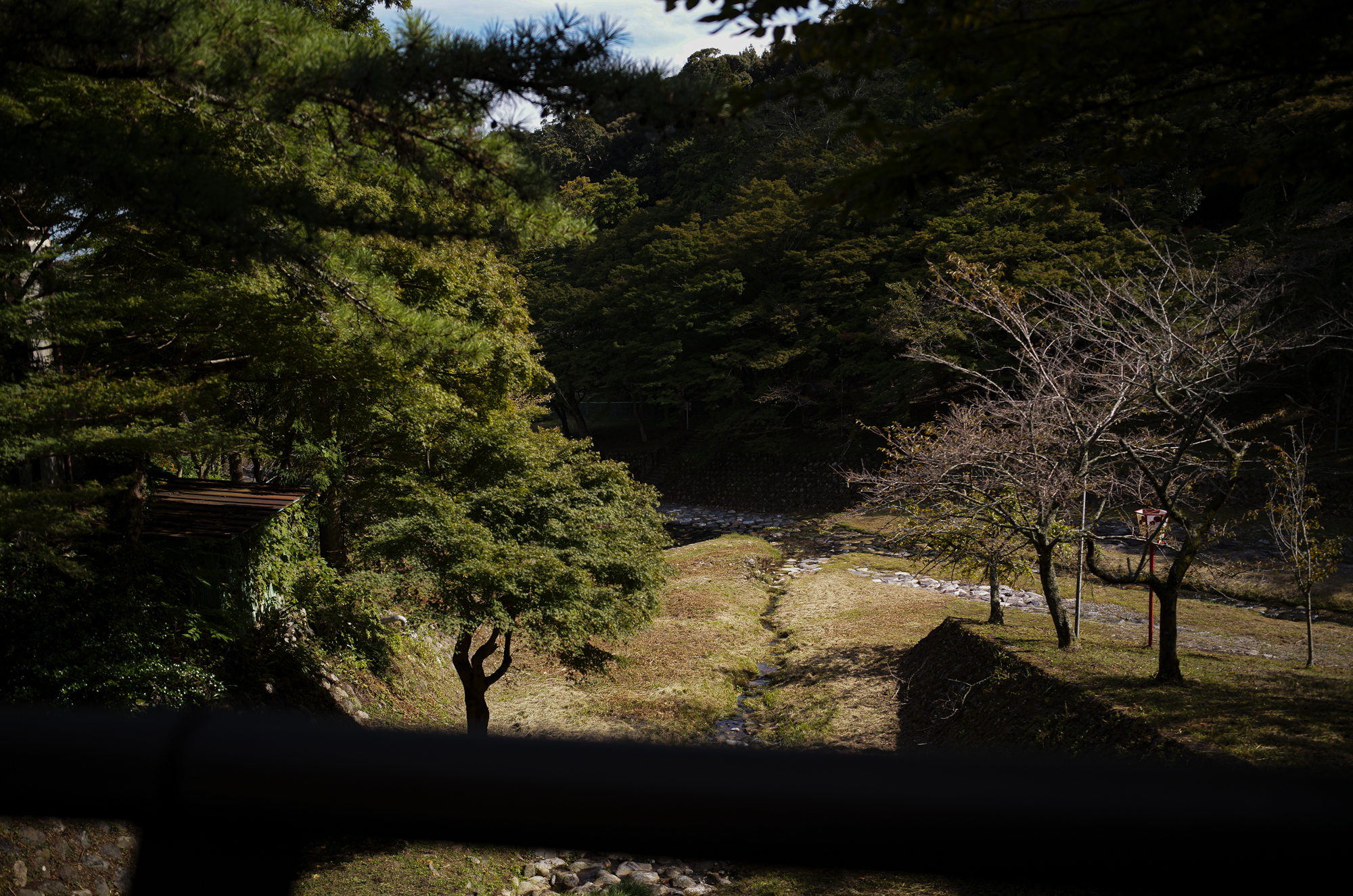 LEICA ライカ APO SUMMICRON35mm アポズミクロン35ミリ 養老の滝 〒503-1267 岐阜県養老郡養老町高林１２９８−２　養老の滝は、岐阜県養老郡養老町にある木曽川水系に属する落差32m、幅4mの滝である。岐阜県により設置された養老公園内にあり、揖斐関ヶ原養老国定公園に属する。日本百名瀑。古来より文人・墨客を魅了した悠久の美養⽼の滝⼊⼝駐⾞場から1.2km 徒歩30分、養老駅から徒歩50分。古来、文人墨客にも親しまれてきた名瀑で、日本の滝百選に選定されています。高さ30m、幅が約4mあり、岩角を打って流れ落ちる水は清冽で、その雄麗な姿は必見です。見事な景観を是非お楽しみください。毎年7月1日には観光客の無事を祈る養老の滝開きが行われ、夏の風物詩として定着しています。孝子物語【こうしものがたり】滝の水が酒に変わったという「養老孝子物語」はこの地域に語り継がれる伝説です。七つの橋四季折々の姿を見せる園内において、滝から流れる小川にかかる7つの橋はそれぞれ特徴的です。散策の休憩や写真撮影のロケーションなどにも重宝されます。渡月橋 不動橋 松風橋 みゆき橋 万代橋 紅葉橋 妙見橋 菊水泉 養老山地から湧き出るミネラルを含む水は、世の中をくくり結び、病に効く「菊水泉」と名付けられ、日本の名水百選に指定されています。養老神社境内にあり、元正天皇が浴した美泉と言われています。天皇がこの泉で手や顔を洗うと肌がきれいになり、痛い所を洗うと痛みが取れたと言われた。泉の水は菊の香りがすると評判になったため、菊水泉と呼ばれるようになりました。不老ヶ池 菊水泉の水が流れる小川に沿って行くと、元正天皇行幸遺跡の手前にあります。不老ヶ池の名の通り養老名水を象徴する清らかな水をたたえているので、ハリヨというトゲのある小魚が繁殖しています。秋の紅葉が絶景の地域です。養老寺「孝子源丞内」が開いた寺とされ、不老長寿を祈願する参拝者が訪れます。西美濃三十三霊場の二十五番札所。宝物殿の「十一面千手観音立像」は寄木造の像高98cm、鎌倉初期の優雅な面貌の作で、国指定文化財です。「滝守不動明王立像」は、木造の立像で高さ97cm。岐阜県の指定文化財です。養老せせらぎ街道妙見堂から東へと続く道で、秋になると紅葉が美しいスポットです。養老の滝へと向かうメインロードから一本中に入っているため人通りも少なく、ゆったりと紅葉を眺めながら、赤や黄色に染まった小道を散策することができます。養老孝子坂養老の滝へと続く滝谷左岸の園路です。飲食店やお土産屋さんが並んでいる休憩スポットです。養老土産のひょうたんや養老サイダー、焼きたてのお団子など味わっていただけます。親孝行のふるさと会館養老孝子坂沿いにある養老町と西美濃地方の観光情報を発信する観光案内所。館内では、孝子物語の動画が見られるほか、養老町の特産品等を展示しています。また、養老町の観光スポットをタッチパネルで調べることもできます。無料でWi-Fiがご利用できます。養老神社社伝によれば雨乞い、祈願の天神社として信仰を集め、菊水天神・養老天神などと呼ばれていました。1504年に菅原道真を合祀して以降は、菊水天満宮・養老天満宮等とも呼ばれましたが、明治6年に養老神社と改称しました。明治時代に元正天皇・聖武天皇・天照皇大神を合祀し、不老長寿・学徳成就に霊験がある神社です。