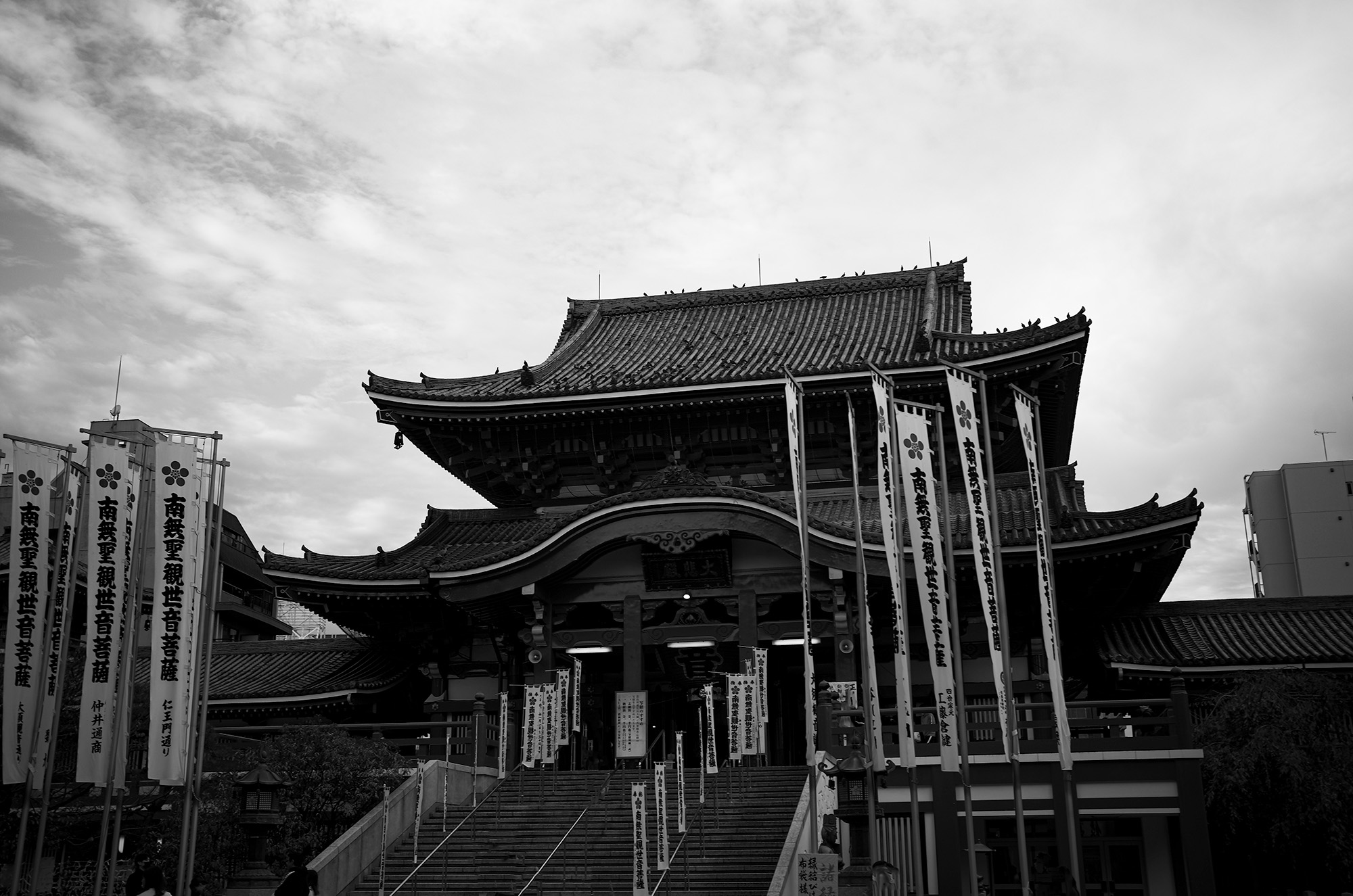 大須観音 oosu 大須 おおす Alto e Diritto altoediritto アルトエデリット 愛知 名古屋 神社