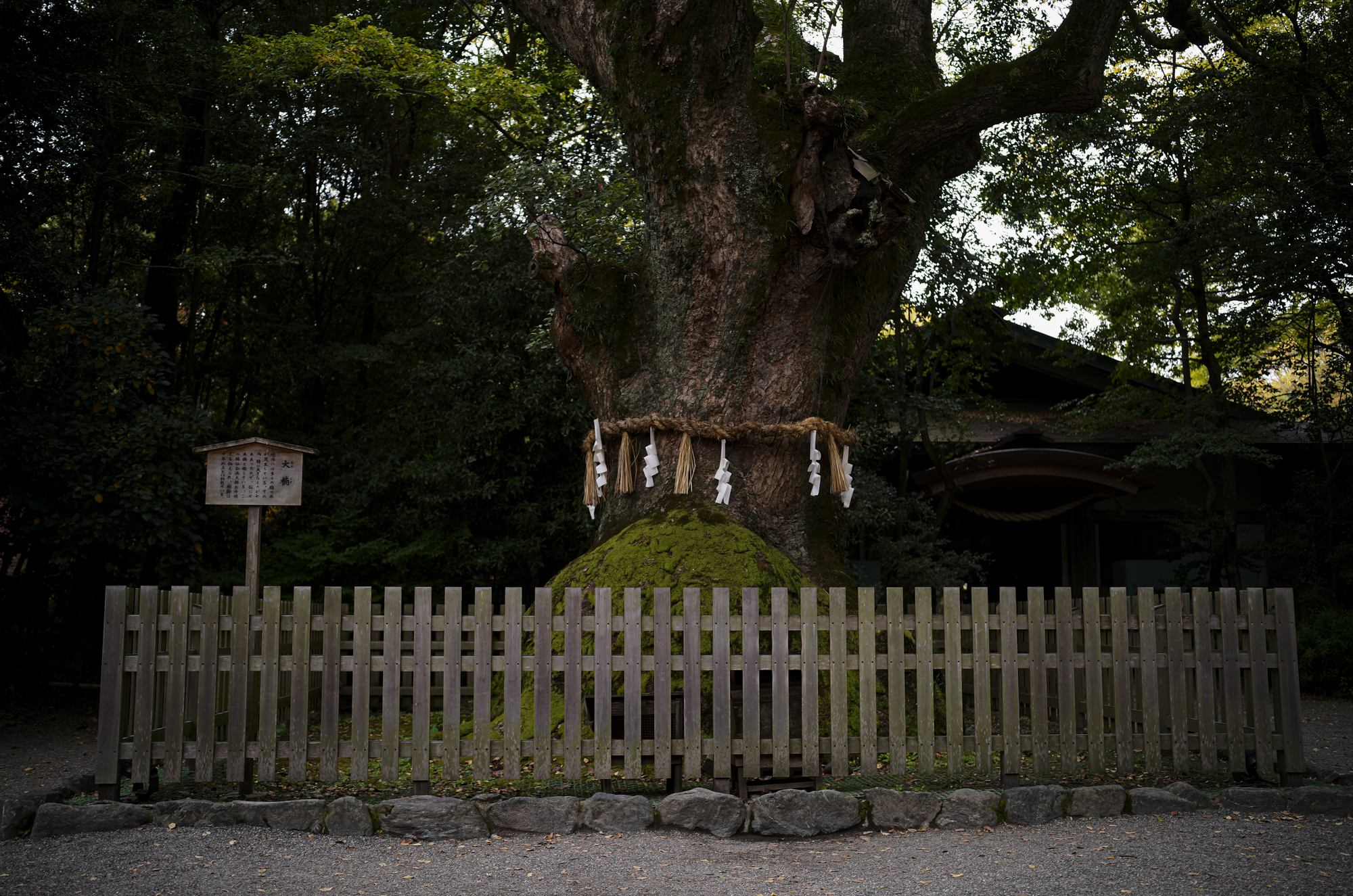 熱田神宮  https://www.atsutajingu.or.jp/en/intro/ 宮きしめん 愛知 名古屋 熱田神宮 456-8585 愛知県名古屋市熱田区神宮１丁目１−１