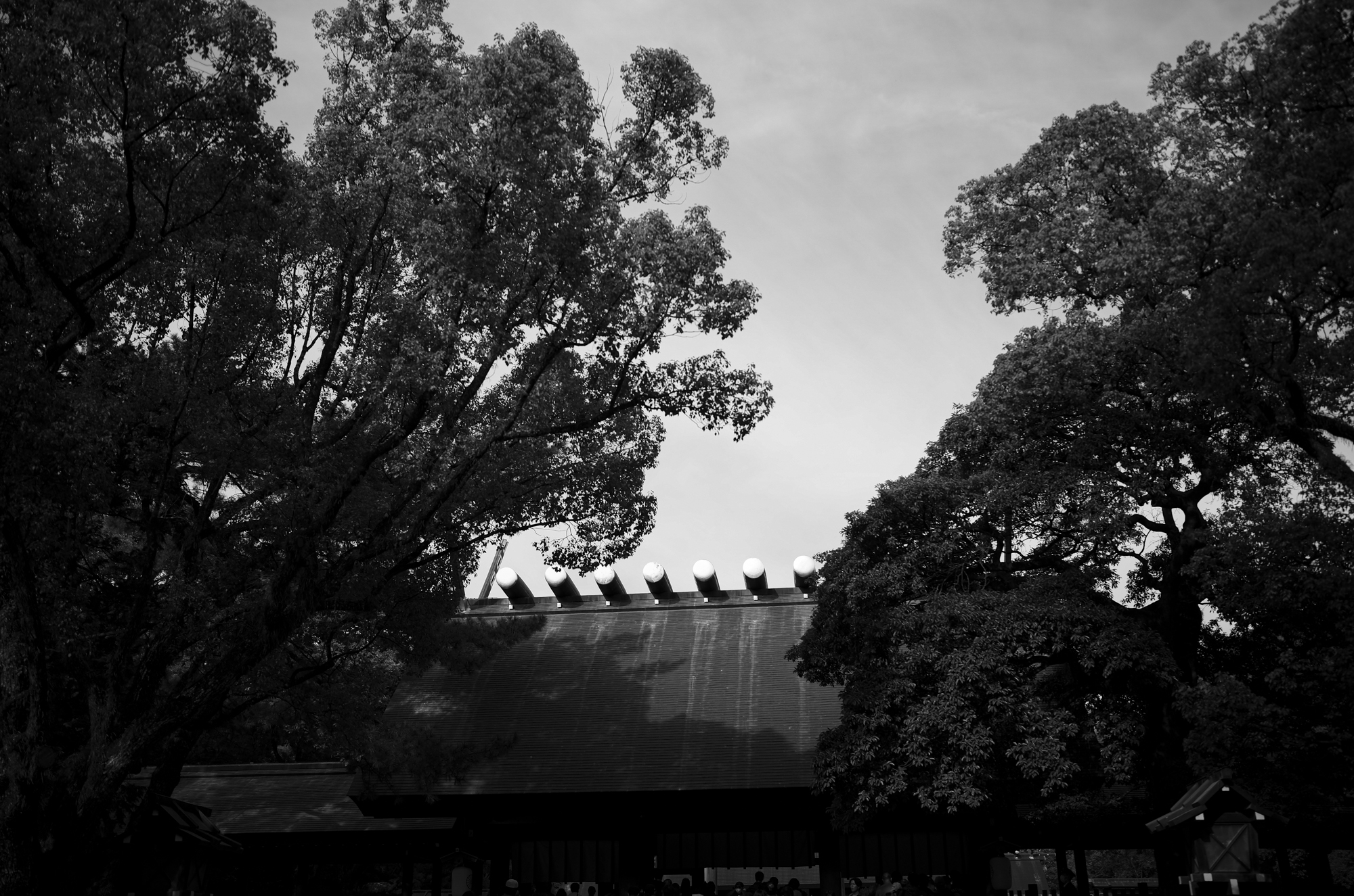 ATSUTA JINGU 熱田神宮  https://www.atsutajingu.or.jp/en/intro/ 宮きしめん 愛知 名古屋 熱田神宮 456-8585 愛知県名古屋市熱田区神宮１丁目１−１ LEICA ライカ 写真 Alto e Diritto altoediritto アルトエデリット ライダース レザージャケット