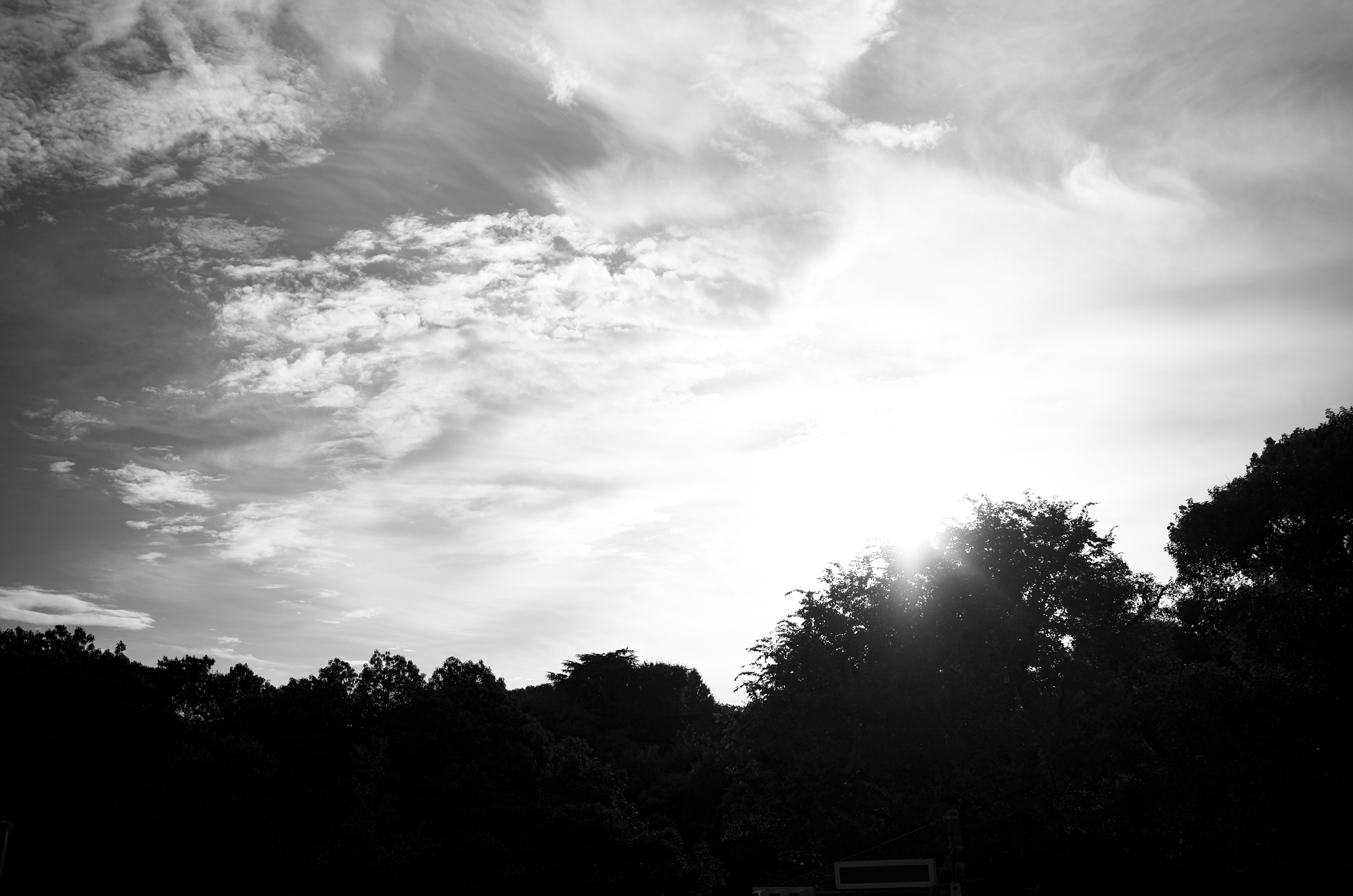 ATSUTA JINGU 熱田神宮  https://www.atsutajingu.or.jp/en/intro/ 宮きしめん 愛知 名古屋 熱田神宮 456-8585 愛知県名古屋市熱田区神宮１丁目１−１ LEICA ライカ 写真 Alto e Diritto altoediritto アルトエデリット ライダース レザージャケット