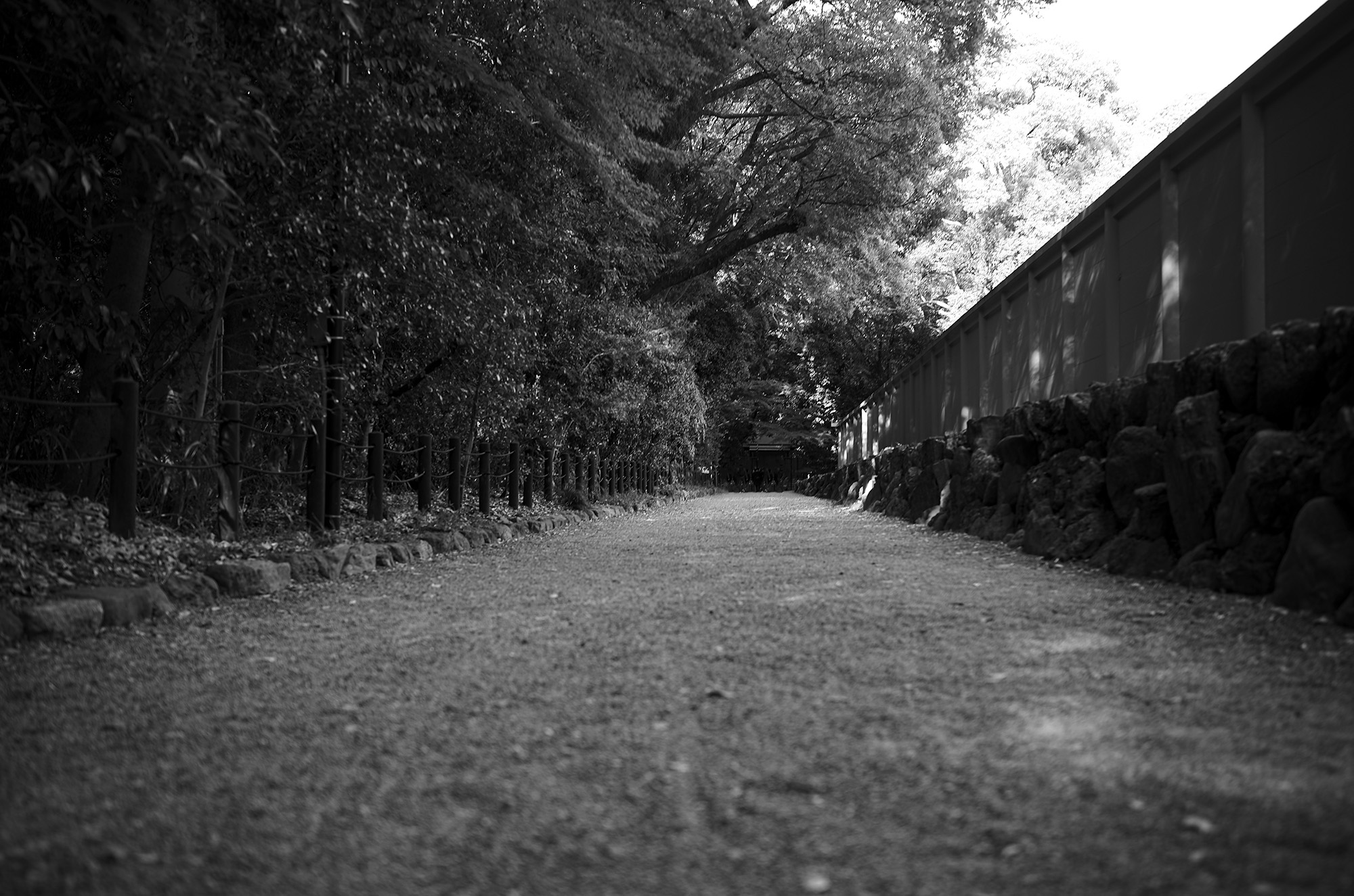 ATSUTA JINGU 熱田神宮  https://www.atsutajingu.or.jp/en/intro/ 宮きしめん 愛知 名古屋 熱田神宮 456-8585 愛知県名古屋市熱田区神宮１丁目１−１ LEICA ライカ 写真 Alto e Diritto altoediritto アルトエデリット ライダース レザージャケット