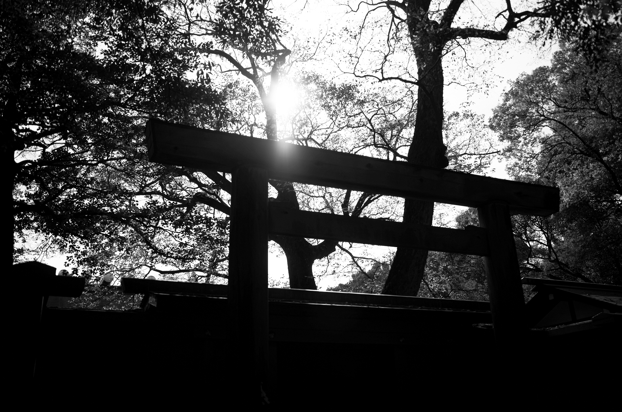 ATSUTA JINGU 熱田神宮  https://www.atsutajingu.or.jp/en/intro/ 宮きしめん 愛知 名古屋 熱田神宮 456-8585 愛知県名古屋市熱田区神宮１丁目１−１ LEICA ライカ 写真 Alto e Diritto altoediritto アルトエデリット ライダース レザージャケット