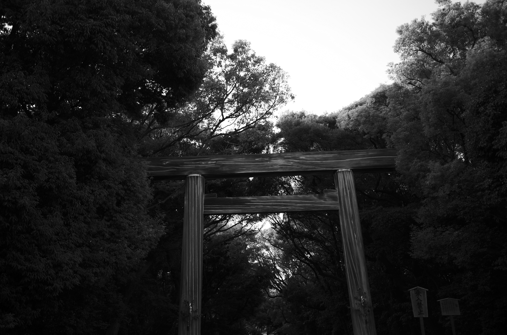 ATSUTA JINGU 熱田神宮  https://www.atsutajingu.or.jp/en/intro/ 宮きしめん 愛知 名古屋 熱田神宮 456-8585 愛知県名古屋市熱田区神宮１丁目１−１ LEICA ライカ 写真 Alto e Diritto altoediritto アルトエデリット ライダース レザージャケット